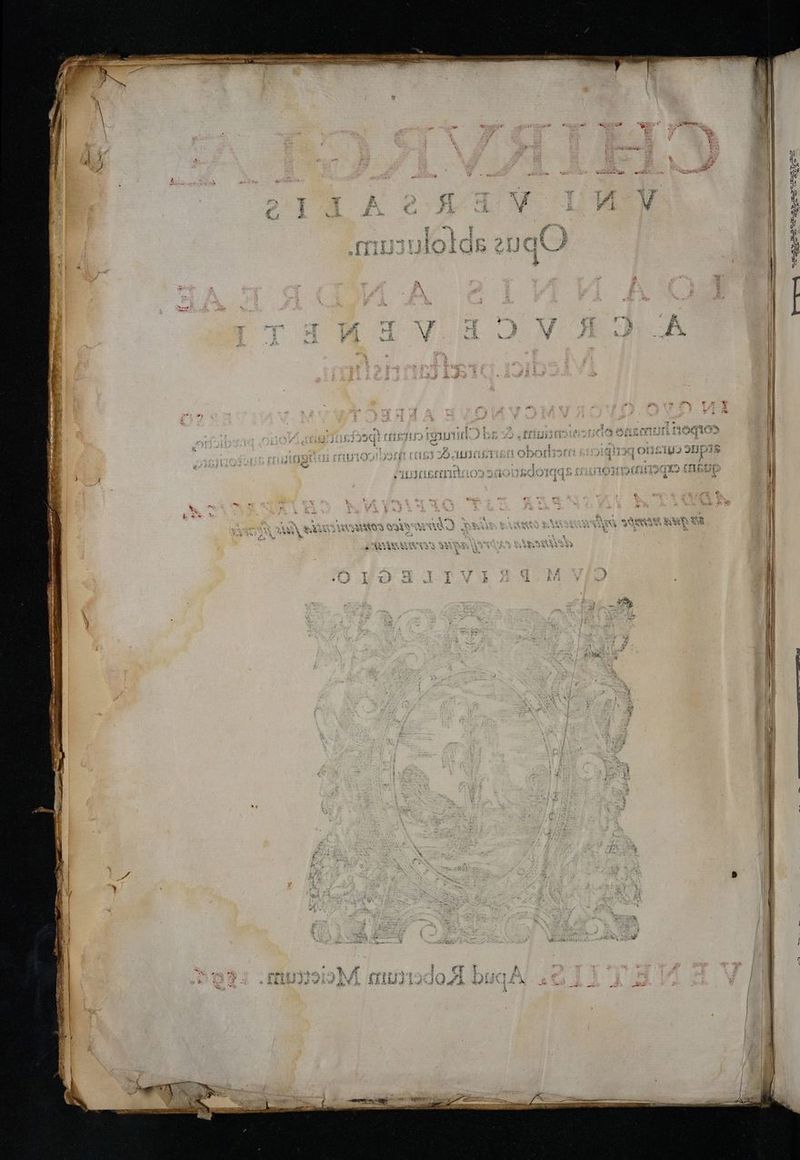 Ne 8 LESE SUL $^ ia ALI ioca, gere ^ AX P Ae NS RAN ANNI aA ON d 329.