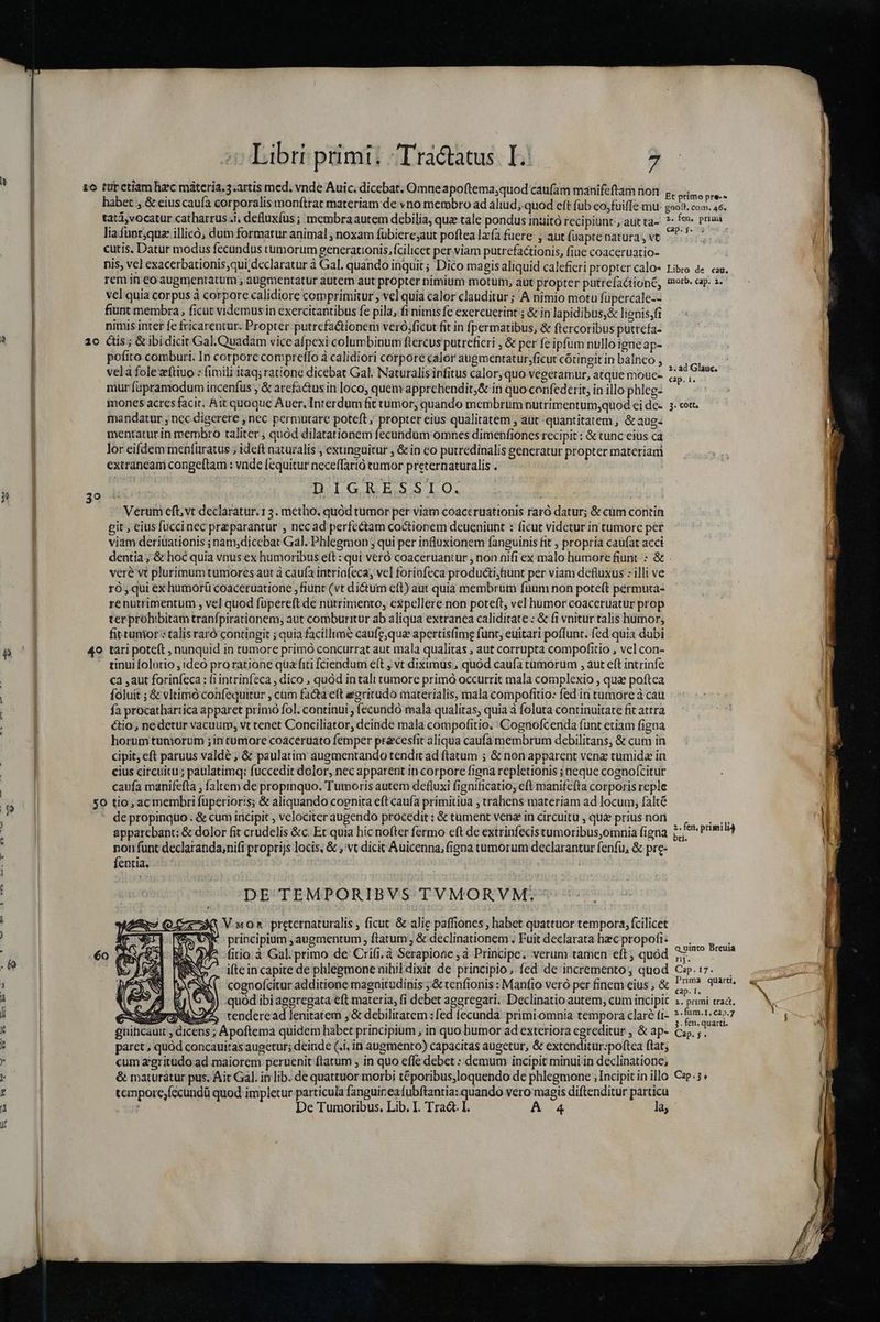 — u— 9 6 Libri primi; Tra&amp;atus I... 7, habet , &amp; ciuscaufa corporalis monfttat materiam: de vno membro ad aliud;-quod eft füb eo,fuiffe mu: «o8. com. a6. tati, vocatur catharrus.i, deflux(us; membraautem debilia, quz tale pondus inuitó recipiunt, autta- ^: f primi liafünr;qua illi, dum formatur animal , noxam fübiere;aut poftea lzía fuere , aut füaptenaturay vt ^... | cutis. Datur modus fecundus tumorum generationis. fcilicet per viam putrefactionis, fiue coaceruatio- nis, vel exacerbationis;qui declaratur à Gal. quando inquit ; Dico magis aliquid calefieri propter calo- Libro 4e cam. rem in eo augmentatum , augmentatur autem aut propter nimium motui, aut propter puttefactioné, morb. cap. 2. vel quia corpus à corpore calidiore comprimitur; vel quia calor clauditur ; A nimio motu füpercale-- fiunt membra , ficut videmusin exercitantibus fe pila, f1 nimis fc exercuetint ; &amp; in lapidibus,&amp; lienis;fi nimis intet fe fricarentur. Propter putrefa&amp;tionem veró,ficut fit in fpermatibus, &amp; ftercoribus puttefa- pofito comburi. In corpore compreffo à calidiori corpore calor augmentatur;ficut cótingit in balnco , vela folezítiuo : fimili itaq; ratione dicebat Gal. Naturalisinfitus calor, quo-vegetamur, atque mouc- m fe mur fapramodum incenfus , &amp; arcfactus in Joco, quenvapprehendit,&amp; in quoconfederit, in illo phleg- UN inones acres facit. Ait quaque Auer. Interdum fit tumor, quando membrum nutrimentum;quod ei des. 3. cott. mandatur , ncc digerere ,nec permutare poteft, propter eius qualitatem , aut quantitatem , &amp; aug- mentatur in membro taliter ; quód dilatationem fecundum omnes dimenfioncs recipit : &amp; tunc eius ca lor eifdem menfüratus ; ideft naturalis , extinguitur , &amp; in eo putredinalis generatur propter materiam extrancam congeftam : vnde [equitur neceffarió tumor preternaturalis . DIGRPESSLO. Verum eft, vt declaratur. 1 3. metho; quód tumor per viam coaceruationis raró datur; &amp; cum contin git, eiusfuccinec przparantur , necad perfectam coctionem deueniunt : ficut videtur in tumore per viam deriuationis ; nam,dicebat Gal. Phlegmon ; qui per influxionem fanguinis fit , propria caufat acci dentia; &amp; hoc quia vnus ex humoribus eft : qui veró coaceruantür , non nifi ex malo humore fiunt: &amp; - veré vt plurimum tumores aut à caufa intriafeca, vel foriofeca producti, fiunt per viam defluxus : illi ve ró qui exhumorü coaceruatione , fiunt (vt dictum c(t) aut quia membrum fuum non poteft pérmuta- re nutrimentum , vel quod füpereft de nutrimento, espellere non poteft; vel humor coaceruatur prop terprohibitam tranfpirationem; aut comburitur ab aliqua extranea caliditate : &amp; fi vnitur talis humor, fittunior:; talis raró contingit ; quia facillime caufe;qua apertisfimg funt, euitari poffunt. fed quia dubi . tinui folutio , ideo pro ratione qua fiti fciendum eft , vt diximus, quod caufa tümorum , aut eft intrinfe ca aut forinfeca : f; intrinfeca , dico , quód intali tumore primó occurrit mala complexio , qua poftea foluit ; &amp; v«ltimó confequitur , cm facta e(t egritüdo materialis, mala compofitio: fed in tumore à cau fa procathartica apparet primo fol. contiaui , fecundó mala qualitas, quia à foluta continuitate fit attra tio, nedetur vacuum, vt tenet Conciliator, deinde mala compofitio. 'Cognofcenda funt etiam figna horum tumorum ;in comore coaceruato femper pra:cesfit aliqua caufa membrum debilitans, &amp; cum in cipit; eft paruus valdé ; &amp; paulatim augmentando tendit ad ftatum ; &amp; non apparent vena tumida in cius circuitu ; paulatimq; fuccedit dolor, nec apparent iti corpore figna repletionis ; neque cognoícitur caufa manifefla ; faltem de propinquo. Tutmoris autem defluxi fignificatio; eft manifefta corporis reple $0 tio, ac mernbri fuperioris; &amp; aliquando coenita eft cauía primitiua ; trahens materiam ad locum; falté - depropinquo. &amp; cum incipit , velociter augendo procedit : &amp; tument vena in circuitu , quz prius non TM quA ; : ; d N CN n : : 4 2.fen, primili4 apparebant: &amp; dolor fit crudelis &amp;c. Et quia hic nofter fermo eft de extrinfecistumoribus,omnia figna ;;' nonfunt declaranda;nifi proprijs locis, &amp; ,'vt dicit Auicenna, figna tumorum declarantur fenfu, &amp; pre- fentia; | | | | DE TEMPORIBVS TVMORYM.- V.wom preternaturalis , ficut &amp; alie paffiones , habet quattuor tempora, fcilicet NW principium augmentum , ftatum, &amp; declinationem . Fuit declarata hzc propofi? — bn 5^ (itio.à Gal.primo de Crifi.à Serapioac , à Principe. verum tamen eft; quód 57^ ifte in capite de phlegmone nihil dixit de principio, fed de incremento, quod C.i7..— e cuba. cognofcitur additione magnitudinis ;&amp; tenfionis : Manfio ver per finemeius; &amp; L9» quart. i D . nsa n ti 4 mW . . . H . *jTS cap. I. É y fh (J| 9 3) quod ibiaggregata eft materia, fi debet ageregari. Declinatio autem; cum incipit ;. primi traá. S PONAT, tenderead lenitatem ,&amp; debilitatem :fed fecunda. primi omnia tempora claré fi- PM £- ghihicaui , dicens ; Apoftema quidem habet principium , in quo bumor ad exterioraegreditur, &amp; ap- Cu».;. — paret, quód concauiras augetur; deinde (.i. in augmento) capacitas augetur, &amp; extenditur:poftea ftat; cum &amp;gritüdo ad maiorem peruenit ftatum , in quo effe debet : demum incipit minui in declinatione; &amp; maturátur pus. Ait Gal. in lib. de quattuor morbi téporibus,loquendo de phlegmone ; Incipit in illo C«p.3* tempore;fécundü quod impletur particula fanguirea fubftantia: quando vero magis diftenditur particu AREE, e