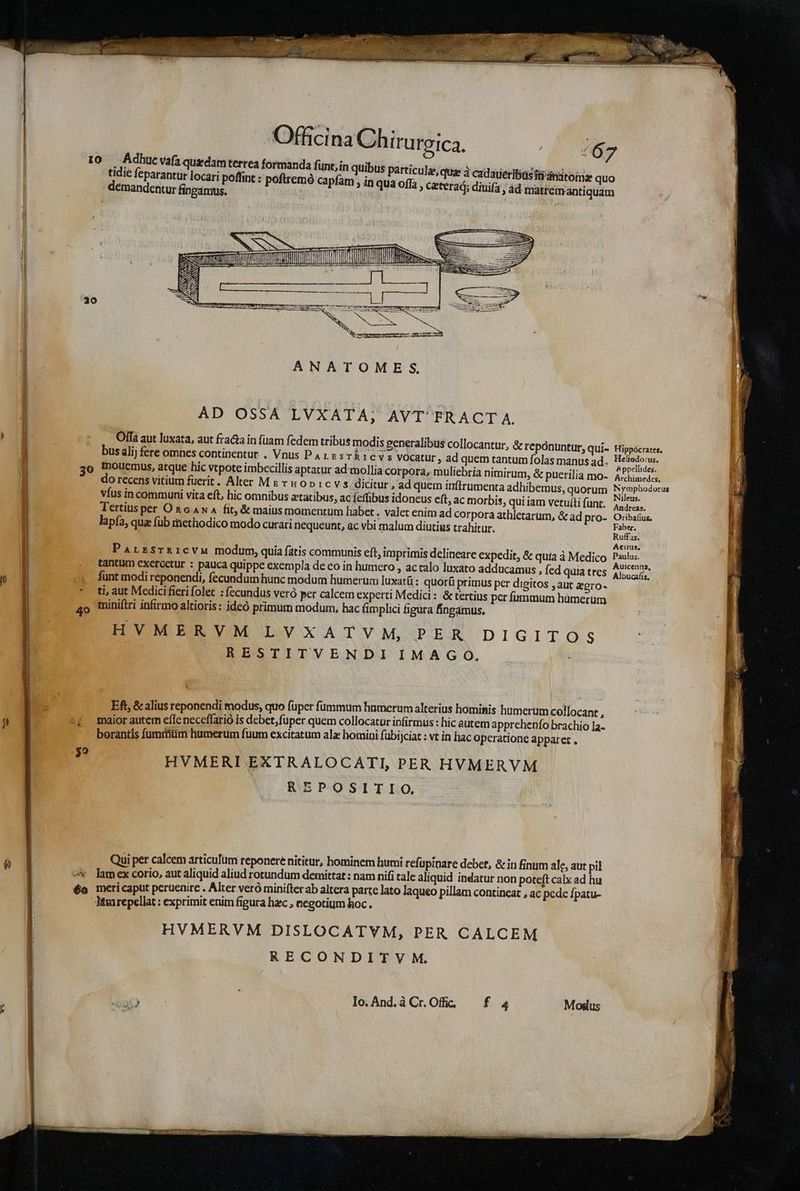 tidie (eparantur locari poffint : poftremó capfam , in qua offa SORS SERPENT 20 AD OSSA LVXATA, AVT'FRACT A. Offa aut luxata, aut fracta in fuam fedem tribus modis generalibus collocantur, &amp; reponuntur, qui- bus alij fere omnes continentur . Vnus Parssrkievs vocatur , ad quem tantum folas manus ad. o tmnoucemus, atque hic vtpote imbecillis aptatur ad'mollia corpora, muliebria nimirum, &amp; puerilia mo- do recens vitium fuerit. Alter Ms vuopicvs . dicitur , ad quem inftrumenta adhibemus, quorum víus in communi vita eft, hic omnibus atatibus, ac (effibus idoneus eft, ac morbis, qui iam vetuíti (anc. Tertius per On c ANA fit, &amp; maius momentum habet. valet enim ad corpora athletarum, &amp; ad pro- lapía, qua füb methodico modo curati nequeunt, ac vbi malum diutius trahitur. ParrsrRicvAa modum, quia ftis communis eft, imprimis delineare expedit, &amp; quia à Medico tantum exercetur : pauca quippe exempla de eo in humero , ac talo luxato adducamus , fed Quia tres * ti aut Medici fierifolet : fecundus veró per calcem experti Medici: &amp; tertius per fummum humerum 40 miniftri infirmo altioris: ideó primum modum, hac fim plici figüra fingamus. HVMERVM DOVOXCA DV OM, PCERER DIGITO | RESTITVENDI IMAGO. 1 ES Eft, &amp; alius reponendi modus, quo fuper fummum humerum alterius hominis humerum collocant , borantis fumrrüm humerum fuum excitatum ala homioi fübijciat : vt in hac operatione apparet . HVMERI EXTRALOCATI, PER HVMERVM REZEPOSITIO. Qui per calcem articufüm reponere nititur, hominem humi refupinare debet, &amp; in finum ale, aut pil -v lamex corio, aut aliquid aliud rotundum demittat : nam nifi tale aliquid indatur non poteft calx ad hu 6o mericaput peruenire . Alter veró miniftet ab altera parte lato laqueo pillam contineat , ac pede fpatu- Tàmrepellat : exprimit enim figura hec , negotium hoc. HVMERVM DISLOCATVM, PER CALCEM RECONDITV M. ORE Io.And.àCr.Ofi, f 4 Moglus Hippócrates. Heliodo:us, Appellides. Archimedes. Nympbodorus Nileus. Andreas. Oribafus, Faber, Ruffas. Aeiius, Paulus. Auicenna, Albucafis,