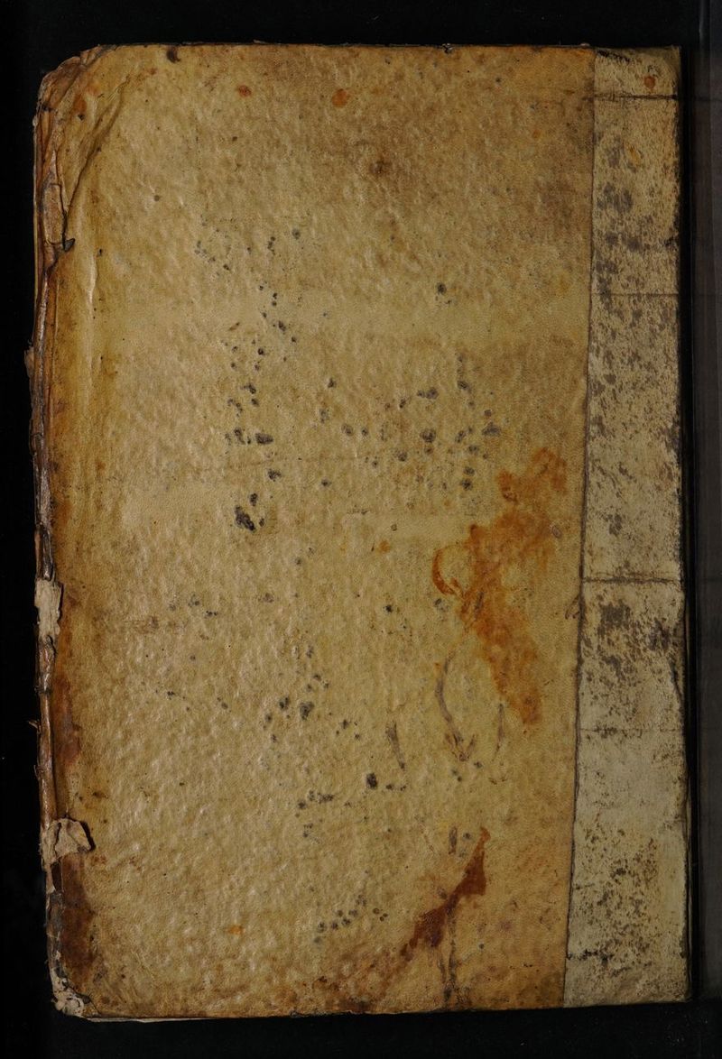 No text description is available for this image