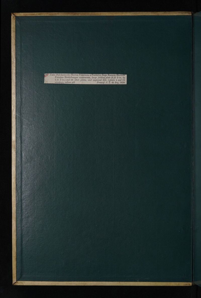 No text description is available for this image