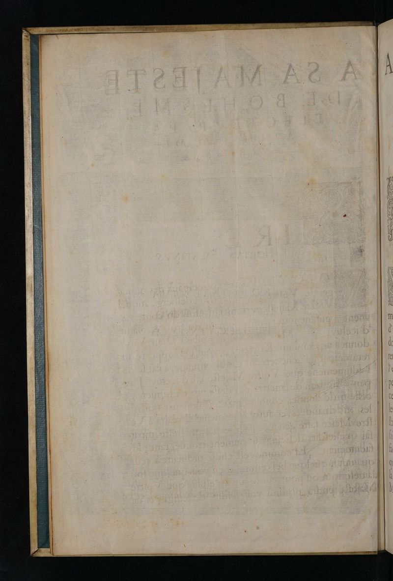 No text description is available for this image