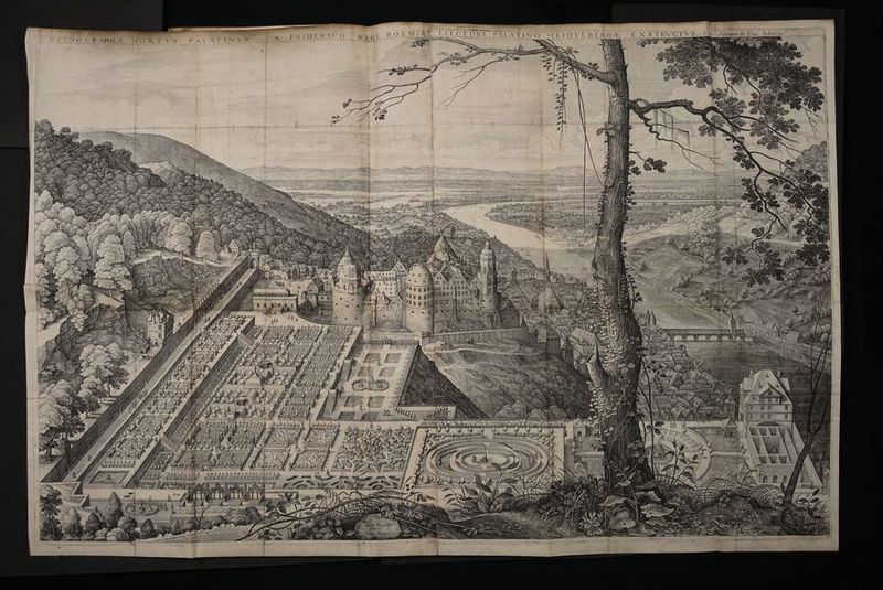 IE CENOGRAPHIA. HORTVS ; % INLUNS 5 Su a I Rn NRÜÄN Una ; S 2 = A = \ NN h Zee