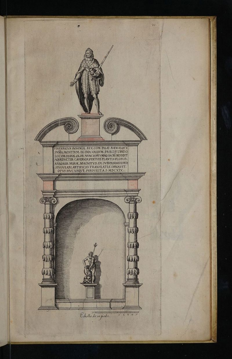 EFRIDERICVS. BOFEMIA.. REX.C RÜRIIIIS N NIS IS N