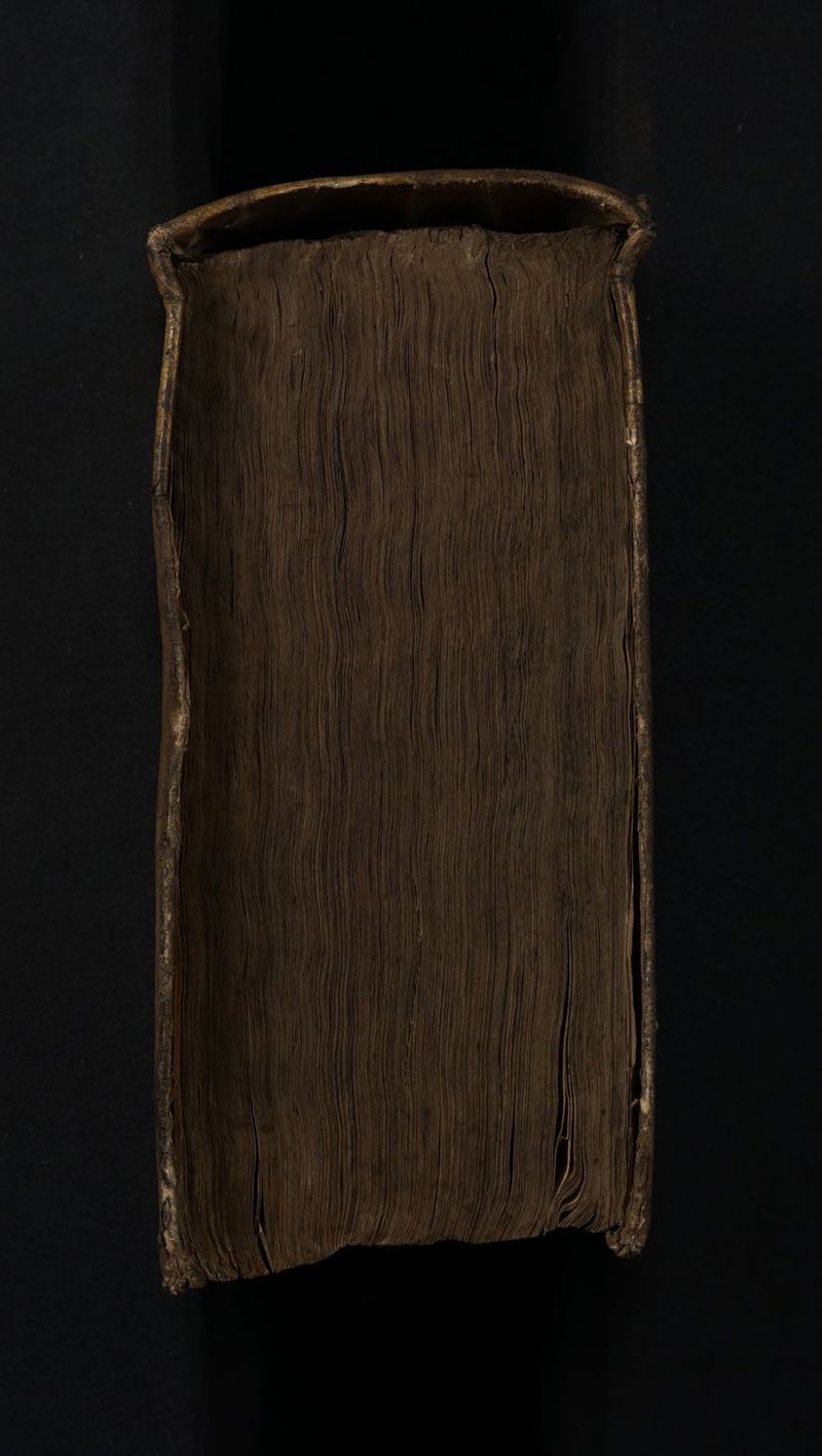 No text description is available for this image