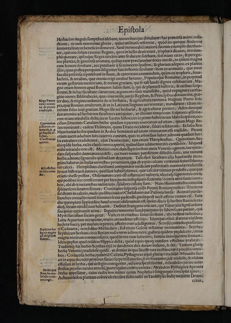 Ld 4 Epiftola Herbarios magnis fumptibusalebant; muneribusque dónabant:hac pratereà animi indir &amp;ione jut inde non minus eren , quàm utilitatis referrent, quód ita quoque ftuderent Ni r3 ia, V immortalitatem beneficio demereri . Sané memorabili maiora fuorum exemplo duceban- tur,quinon folùm exuuias Regum, quos in bello deuicerant , trophais dicatas, 1n trium- phís portare ; ipfosque Reges uin&amp;tos ante fe ducere folebant; fed etiam raras , &amp; peregri-  pasplantas; &amp; generofa aromata, quibus tar préclareeque dotes inerát; in ijfdem magno cum honore ferebant , nec putabant ij fe minorem laudem; &amp; ploriamadeptos ex plantis illis; quas pofteaperquàm diligenter fuis in hortis ferebant : item exaromatis , qua&amp; inter fuaaliapretiofa reponebant in fuum, &amp; ceterorum commodum; quàm ex trophztis , fimu- lachris, &amp;arcubus, qux omnia erigi curabát Senatus , Populusque Romanas; in perpetua yerum geftarum menioriam, &amp; eorumi gratiam, quii fe tali laude dignos exhibuerant . Ma- gnó etiam honore apud Romanos habiti funt; ij, qui de plántarü hiftoria; &amp; uiribus fcrip- ferunt; &amp; in hac facultate claruerunt; argumento fatis manifefto , quód expugnata cartha- gine omnes Bibliothecas, quas inuenerüt; uarijs Regibus; &amp; Principibus donauerint, præ- Diago Penne d duo, &amp; trigintauolumina de re herbatia; &amp; agricultura tantüma Magone Poeno fcri- na de planis ptoquæ Romam attulerunt, &amp; ut in Latinam linguam uerterentür ; mandarunt: tatam nt- confenpht. mirum folus inijt gratiam Mago illerei hérbariz , &amp; agriculture peritus. Adeo denique fuitattonita ad herbarum facultates antiquitas , ut illorum temporum fcriptores affirma- rent etiam mirabilia dictujita ut Xantus hiftoricus in primo hiftóriarum libro fcripferit;oc- Quarundam cifum Draconis Catulum herba quadam à parente reuocatum ad uitam, quam Mag: Ba- piis limnominant; eadem Thilonémi, quem Draco occiderát faluti reftitutum. 'EcIuba Rex pé ftupédi £ Mauritaniz herba quadam in Arabia hominem ad uitam reuocatum effe tradidit. Picum La Si Rm etiam auem adactum fuis cauernis cuneutri) quas in arboribus habet;admotá quadam her- apertos . Da eXtrahere tradiderunt y cùm Democritus; tüm-etiani Theophraftus . Quinctiam.Ae- . thiopide berba, tactu claufa omniaaperiti, quibufdam admurmuratis cantilenis. Id quod mihi miraculo non eft» Memini enim dum füperioribüs anriis Venetijs agerem, me quen^ dain fufpendió damnatum uidiffe; cui fores omnes patefiererit difiectis feris, una tantuni herba admota fignaculis quibufdam decantata. Talis ferè facultatis alia haud mihi inco- enita habetur;in Italiz montibus prouüeniens,quia ab equis calcata continuó ferrei foluuns Alijefe&amp;us turcalcei. Herophilum clarifsimü antiquitatis inedicuimpolfteritatis memoriz tradidifle ex folo conta ferunt hiftoriarü autores; qüafdam haberi plantas, qui calcatæ tántüm prodeffe; quaque HS etiam obeffe poffint . Obferuatüm certe eft inflammari uulnera; ulcerad; fuperuentu corti; qui pedibus iter confecerunt per loca periüciofis plantis fcatentiá: contrà üeró fanári mor bos, übiab itinerantibus uultieratis ildbres calcate funt. “Nam Hemionitidiscontactu foletieticos fanatos fcimüs ;^Comitiales füfpenfa collo Peonie Romaneradice: I&amp;ericos fübítrato in calceis, nüdis pedibüsmaiori Chelidonio aut Paftoria bürfa: Aconitü parda- lianches contactis taritü foeminei fexus pudendis,paulo'poft nece afferre certum eft. Tam diu quémpiam lippitudine haud tentari obferuatum eft; quàm diuis fylueftris Rumicis ra- dic; fecum nitidifsimé habuerit. Definet ftranguria crüciari , qui Tamaticislignü ardens fua. ipfius extinxerit ütina Inguiristümorem haudquaquam ijs füberéfcere putant , qui Myttifürculum fecum gerat Varices in cruribus fanari fcribunt ; ubi hederz radicibus; Luna Aquarium occupante, etutis circundetur affectio. Idemque effici fiternz eiufdem heder&amp;bacce, per miürtim repentis affecto eruriadalligentur.' Scordij conta&amp;u preferua- Scythiceher ri Cadauera ; non folüini Mithridatis fed étiam Galeni teftantur monumenta. Scythe; be bisedim Scythicam herbam circa Betiám nafcentem adinuenere; puftatu quidem picdulcem  cümus ham ^ magnanimirum'corimendatio, quód iore cam habentes; famem fitiniQne non fentiant, ^ 7. Jdempreftat apud éofdem Hippice dicta; quód equis quoq; cundem effe&amp;tum praebeat: Traduntá; his herbis Scythas etiá in duodenos dies durareinfame, &amp; fiti. Tantum glorie hetbe Vetotiicetradidefé quida , ut domus in qua fata fit tuta exiftimeturà piaculis omni- bus J;Coriacefta herbajquinetia Callitia, Pythagoras aquá glaciari tradidit ?Minaidis fuc ' cóinaqua decocto protinus fanari ferpentiümorfus,fi eo fö üeántürjidt erididit, &amp; eüdem 777 effufum in herba qui aeftigió contigetint ; uel eorefperfi fuerint, infaniabiles perire mons Herbi dua ftrifica prorfus naturá ueneni; prater uàm cofitra uenena /Abeodem Pytha gora Aproxis Reosfuama- herba appellátür ; cuius radix non minus quàm Naphtha elonginquo coricipiat ignes. lefa&amp;a confi- id lái A deleri] et fci sv Tacdiftvlisl di ims Lens re LN teri cogit Achemenidon plantam colore clectrifine folio natei in-Tardiftylis Indie meminit Demo- NC MÀ pra Lo | Critus ,