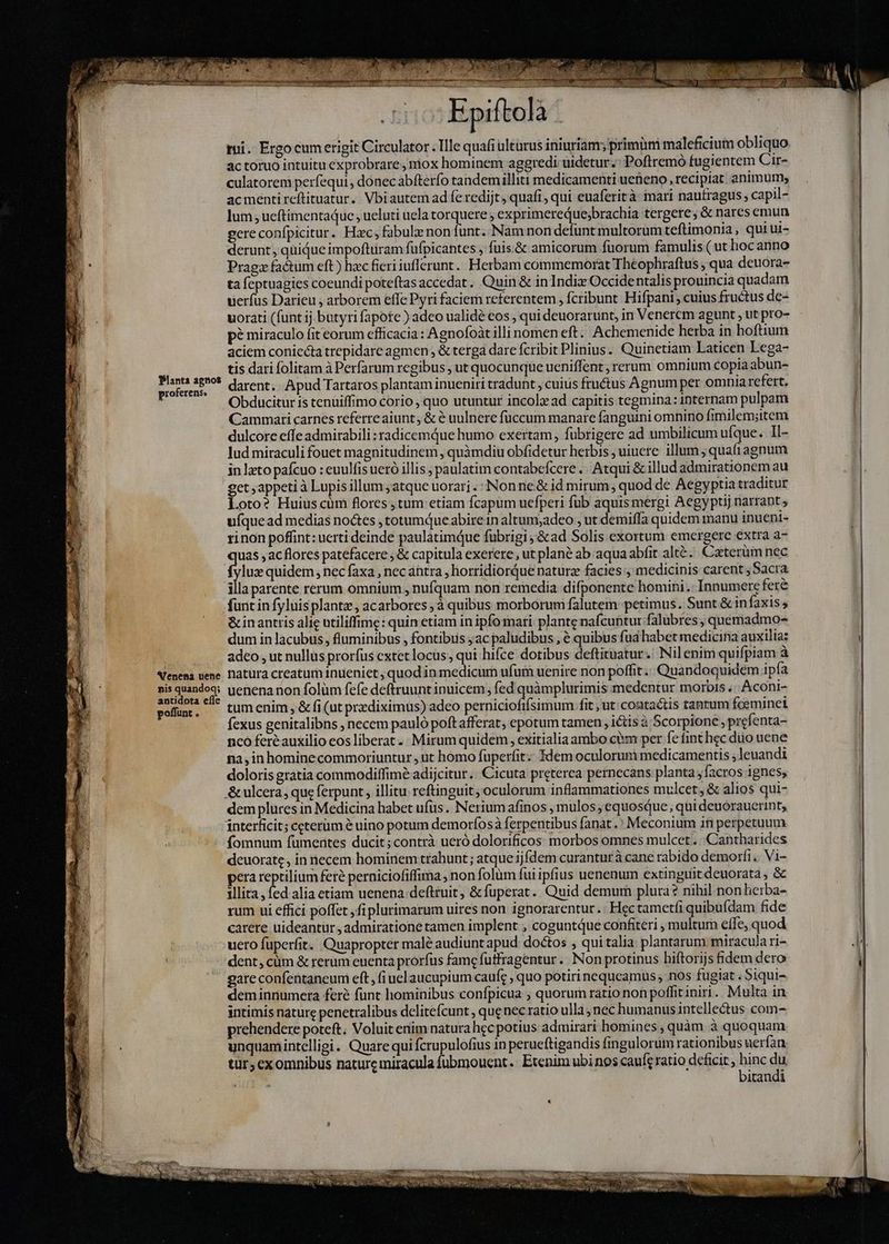 Planta agnos proferens» Venena uuene nis quandoq; antidota efle poflunt . cio Epiftolà < rui. Ergo cumerigit Circulator . Ille quafi ultarus iniuriam; primüm maleficium obliquo actoruo intuitu exprobrare, niox hominem aggredi uidetur. Poftremó fugientem Cir- culatorem perfequi , donec abfterfo tandemilliti medicamenti ueneno recipiat animum; acmentireftituatur. Vbiautem ad fe redijt, quafi, qui euaferità mari naufragus, capil- lum; ueftimentaduc , ueluti uela torquere, exprimerequesbrachia tergere; &amp; nares emun gereconfpicitur. Hc; fabulæ non funt. Nam non defunt multorum teftimonia , qui ui- derunt, quique impofturam fufpicantes , fuis.&amp; amicorum. fuorum famulis (ut hocanno Pragz faétum eft) hzc ficri iufferunt.. Herbam commemorat Theophraftus ; qua deuora- ta feptuagies coeundi poteftasaccedat. Quin &amp; inTIndiz Occidentalis prouincia quadam uerfus Darieu , arborem effe Pyri faciem referentem , fcribunt Hifpani , cuius fructus de- uorati (funt ij butyri fapote ) adeo ualidé cos, qui deuorarunt, in Venerem agunt , ut pro- pé miraculo fit eorum efficacia: Agnofoàt illi nomen eft. Achemenide herba in hoftium aciem coniecta trepidare agmen , &amp; terga dare fcribit Plinius. Quinetiam Laticen Lega- tis dari folitam à Perfarum regibus , ut quocunque ueniffent ; rerum omnium copia abun- darent. Apud Tartaros plantam inueniri tradunt , cuius fructus Agnum per omnia refert. Obducitur is tenuiffimo corio , quo utuntur incolz ad capitis tegmina: internam pulpam Cammati carnes referre aiunt, &amp; è uulnere fuccum manare fanguini omnino fimilem;item dulcore effe admirabili : radicemdue humo exertam , fübrigere ad umbilicum ufque. Il- lud miraculi fouet magnitudinem , quàmdiu obfidetur herbis ; uiuere. illum ; quafiagnum in lato pafcuo : euulfis ueró illis, paulatim contabefcere . Atqui &amp; illud admirationem au Loto? Huius cùm flores ,tum etiam fcapum uefperi fub aquis mergi Aegyptij narrant, ufquead medias noctes , totumque abirein altum;adeo , ut demiffa quidem manu inueni- rinon poffint: uerti deinde paulatimque fubrigi ; &amp;ad Solis exortum emergere extra a- Rh ,acflores patefacere , &amp; capitula exerere , ut plané ab aqua abfit alté.. Caeterüim nec luz quidem nec faxa , nec ahtra , horridiorque naturz facies , medicinis carent ; Sacra illa parente rerum omnium , nufquam non remedia difponente homini .-Innumere fere funt in fyluis plantz, acarbores à quibus morborum falutem petimus. Sunt &amp;infaxis, &amp; inantris alic utiliffime: quin etiam in ipfo mati plante nafcuntur falubres ; quemadmo- dum in lacubus, fluminibus , fontibus ;ac paludibus , è quibus fud habet medicina auxilia: adeo , ut nullus prorfus extet locus, qui hifce dotibus deftituatur.. Nil enim quifpiam à natura creatum inueniet , quod in medicum ufum uenire non poffit: Quandoquidem ipfa uenenanon folüm fefe deftruunt inuicem; fed quàmplurimis medentur morbis .« Aconi- tum enim , &amp; fi (ut prediximus) adeo panini fit, ut: contactis tantum fceminei fexus genitalibns , necem paulo poft afferat, epotum tamen, ictis à Scorpione , prefenta- ncó feréauxilio eos liberat- Mirum quidem, exitialia ambo cùm per fe fint hec düo uene na, in homine commoriuntur , ut homo fuperfit.: tdem oculorum medicamentis; leuandi doloris gratia commodiffimé adijcitur.: Cicuta preterea pernecans planta ,facros ignes, dem plures in Medicina habet ufus. Neriumafinos , mulos ;equosque, qui deuorauerint, fomnum fümentes ducit ;contrà ueró dolorificos: morbos omnes mulcet. |. Cantharides deuorate , in necem hominem trahunt ; atque ijdem curantur à cane rabido demorfi » Vi- pera reptilium feré perniciofiffima , non folum fui ipfius uenenum extinguit deuorata, &amp; illita, fed alia etiam uenena:deftruit, &amp;fuperat. Quid demum plura? nihil nonherba- rum ui effici poffet, fi plurimarum uires non ignorarentur .: Hec tametfi quibufdam fide carere uideantur, admiratione tamen implent , coguntque confiteri multum effe, quod uero füperfit. Quapropter malé audiunt apud doctos , qui talia: plantarum miracula ri- dent, cùm &amp; rerum euenta prorfus fame fuffragentur. Non protinus hiftorijs fidem dero gare confentaneum eft , fi uelaucupium caufc , quo potiri nequeamus , nos fugiat . Siqui- deminnumera feré funt hominibus confpicua , quorum ratio non poffit iniri. Multa in intimis nature penetralibus delitefcunt , que nec ratio ulla nec humanus intellectus com- prehendere poteft; Voluit enim natura hec potius admirari homines , quàm à quoquam unquamintelligi.. Quare qui fcrupulofius in perueftigandis fingulorum rationibus uerfan tür, exomnibus nature miracula fubmouent.: Etenim ubinos cauft ratio deficit, hinc du bitandi