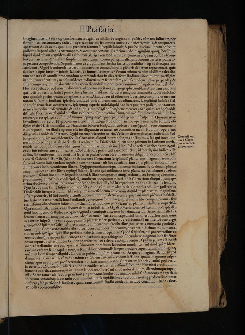 MÀ EM imagines ipfas,intam exiguam formam redegit , ut nihil inde frugis capi pofsit , cüm necfoliorum,nee florum,nec fructuum,nec radicum aperta fit facies , fed omnia confufa , intricata;mutila,&amp; confpurcata poftores,impuné alienos corrumpere, &amp; occupare conatus. Caterüm ut de imaginibus quoq; feorfim a- liquid aliud dicam ;'equidem aliàs abhorrui ab ijs excudendis ; ratus neminem unquam poffe ex Iconi- bus, tam ueram , &amp; exactam fimplicium medicamentorum peritiam affequi,ut eorum uarietas pofsit u- na pi&amp;ura comprehendi. Siquidem non ea eft pullulanti herbz faciesque adulta;neq; adultæ,quæ iam fenefcenti. Quod fi erufmodi herbarum mutationes omnes, fingulis picturis deberent repræfentari, quis dubitet id opus futurum infiniti laboris , ac immenfi fumptus ? Verum enimuero cùm uidiffem tales alio rum conatus ab omnib.propemodum commendari;ac in dies crefcere ftudium uirorum, rerum effigies in publicum edentium , ne folus utdererín diuerfam ire fententiam , re ipfa tandem melius perpenfa, &amp; aliter comperta;ac aliud docente ipfa experiétia,nolui huic optimo &amp; minim? infrugifero decffe Rudio. Huc accedebat ; quod non mediocriter ad hoc me incitaret , Typographi cuiufdam Mantuani uanitas s qui noftris operibus Italicé prius editis, furtim quafdam inferuerat imagines, minimé a nobis adiüi&amp;tas; quz quoduis potius,quàm rem ipfam referrent. Gaudebam id adhuc me fuperftite,contigiffe;ut turpem notam falfo mihi ínultam; ipfe delerem.Ideó,ut &amp; aliorum conatus adiuuarem, &amp; malitiofi huiufce Cal cographi temeritati occurrerem, ipfe quoq; experiri uolui;fiquid bac in re preftare poffem,non tantum ut mea in mediü proferrem;fed &amp; ut de uobis ftudiofis,fi poffem;bene mererer . Sed quàm res hecinobis difficilis fuerit non eft quód pluribus explicem . Omnes enim fciunt;quàm difficillime inueniantur ho- mines;qui res ipfas;ita ut funt,ad utuum depingant,&amp; qui depictas diligenter infculpant Quorum ma- jor adhuc inopia eft . Id quod etiam facilé dijudicabitis ftudiofi,qui in hoc opere non nullas fortaffe ef- figies affabre fatis,nonnullas ueró haud fatis folerter fculptas offendetis . Sané quod in rem communem nauare potut;licet illud exiguum effe intelligam;in eo tamen nó commift,ut meum ftudium , opera;aut diligentia à nobis defideretur. Quid autem profecerim nefcio.Veftrum de omnibus erit iudicium. Sed longealiter,quàm nos,uidetur feciffe Cornarius;alioqui in utraq; lingua doctifsimus, fed qui inter om- nes alios forté fingularis haberi uelit . Is enim in fuo Diofcoride,quem nunc primum in Latinum uertit, emblematibus quibuídam additis,non folum nullas appinxit imagines;fed cos etiam acriter damnat;qui eas in fuisinferuerunt commentarijs.Sed an liuore potius;uel ratione ductus , id fecerit, uos iudices effe uclim, fi quandoque illius boni uiri legeritis przfationem ; &amp; eius animum diligenter explorabitis , Ng tametfi Galeno dictum fit, (id quod &amp; nos ante Cornarium fcripfimus) plantarum imagines parum con ferre ad earum indagandam cognitionem;non tamen ob hoc accufandi funt , qui plantarum, &amp; anima- lium Icones in fuos conferunt libros . Quippe quoniam nufquam inuenerim damnaffe Galenum planta rum imagines: quz in libris appingi folent , fed eos qui exiftimant fe rei plantariæ peritifsimos euadere poffe,non folum imaginum infpec&amp;ione;fed &amp; librorum quoruncunq; le&amp;ione;licet fuerint ij a fummis, grauifsimisq; autoribus conícripti. Quamobrem non parum mirari fubit Cornarium alioqui uirum ap- primè doctum , Galeni uerba non modó non intellexiffe fed in reprobum quoque diftraxiffe fenfum. Quo fit, ut hinc facilé fufpicari quis pofsit, quód cùm animaduerterit Cornarius omnium poftremus Diofcoridis interpres;nullum fibi reliquum iam effe locum, quo noui aliquid de plantarum imaginibus afferre potuerit , id fibi confilij afciuiffejut eosadmodum dettftaretur ; qui plantarum pi&amp;uras in fuis li- bris habent : ratus fortaffe hoc deteftandi genere,non folum laudis plurimum fibi comparaturum ; fed etiam fuum obte&amp;urum infortunium,fuamque(quod eius pace licam) in plantarum hiftoria imperitiã. uz cnim fit alia ratio, cur aliorum damnat induftriam ? Quafi pofteris non fit id licitum,ut &amp; iph ali- quid fuo ingenio,&amp; ftudio excogitent,quod ab antiquis ante non fit animaduerfum.At nó damnaffe Ga lenum plantarum imagines,nec libros de plitarum hiftoria conícriptos,fed homines qui horum,harum vetantum infpe&amp;ionepoffe quenquam rei plantariæ fieri peritum » credidèrunt,id manifefto fuerit argu. méto;quod ipfemet Galenus libro primo de alimentorum facultatibuspofteritatis memoriz prodidit , cùm inquit Comparatos nobis effe hofce libros, ut nobis fint eorum;qua ante didicimus monumenta; non at rudes;&amp; ignari per illos perfectam doctrinam affequantur.Quód fi qui fintqui praeceptoribus ca reant, uelintque ijs,quz luculenté;ac copiosé funt Ícripta;diligenter incumbere,magnum inde fru&amp;um eos accepturos teltatur idem Galenus;prafertim fi ea relegere non grauentur. uibus palam eft longè magis deteftandos effe eos , qui clarifsimorum hominum laboribus inuidentes , nil aliud quàm blate- rare âc carpere fciunt;quàm eos;qui Reipublica commodis femper prodeffe cupientes, nilaliud qm quàm ut boni femper aliquid , &amp; noui1n publicum ufum promant. At quare imagines, &amp; non li ros damnauerit Cornarius , cùm non minus ex Galeni fententia, eorum lectione, quàm imaginum infpc- €ione, quis neutiquam proficere ualeat,non fatis animaduerto .Cur tantum laboris f nihil P An 5 iu uertendo Diofcoride , adiectis quoque emblematibus ; in caffum fufcepit? Hoc neci erat udium, hunc ne capiebat animum;ut inuanum laboraret ? Porró nil aliud uobis dandum, dicendumque fuper- eft. Sperotamen ab ijs, qui grati funt (ingratos,maleuolos »acinuidos nihil fané m [à pm initutum : quandoquidem mihi communis utilitatis cupidifsimo ; hoc opus non aggrediendi uolunta . . . . NS defuerit , fed perficiendi facultas , quam tamen omni ftudio confequi aísidué conamur. Bene ualetes &amp; noftra boni coníulite. piu Cornarij opi nio deTIconi- bus non eden dis confutata;