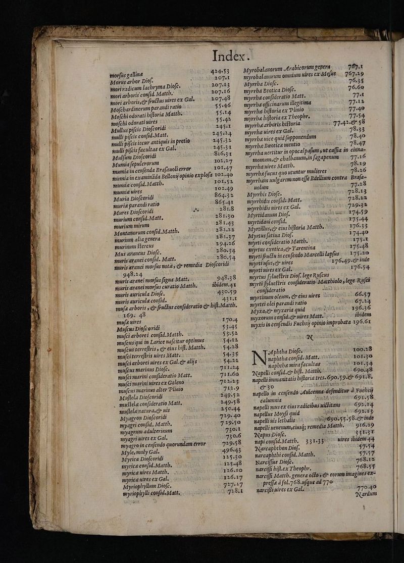 morfüs galline 424453 Morus arbor Diof. 207.t moyi radicum lacbryma Diofc. 207.13 . mori arboris confid. Mattb. 207.16 mori arboris,ci fructus uires €x Gal. 207.498 Mofcbardinorum par. indi ratio 55:46 Mo[cbi odorati hiftoria Maith: 55.14 mofcbi odorati uires $5.42 Mullus pifcis Diofcoridi | 245.1 inulli pifcis confid.Matt. b. 245424 mulli pifcis iecur antiquis in pretio 245.32 mulli pifcis facultas ex Gal. 245.31 Mulfum Diofcoridi 816.51 Mumia fepulcrorum 102.27 mumia in cenfenda Brafauoli error 101.47 mumia'in examinäda Bellonij opinio explofa 102.40 mumie confid.Matth. 101.52 mumig uires 102.49 Muria Diofcoridi 864.32 muria parandi ratio 865.41 Maures Diofcoridi us 281.8 murium confi. Matt. 281.30 murium mirum 281.43 Montanorum confid.Mattb. 282.223 murium aliagenera ` 283.37 murinum $lercus 294.26 Mus araneus Diofc. 280.34 uris azanei confid. Matt. 380.54 miris aranei morfus nota 5 d remedia Diofcoridi 948.24 muris azauei morfus figna. Matt» 948.38 muris aranei morfus curatio Mattb. ibidem.41 muris auricula Diofc. 430.59 muris auricula confid. wa PUE mufe arboris ye frutius confideratio c bift.Mattb. 169. 49 | mufe uires 170.4 Mufcus Diofcovidi $3.45 mufci arborei confid.Mattb. $3.52 amufcius qui in Larice nafcitur optimus $4412 mufcus terreftris s ci eins bif. Mattb. $4.28 mufciterreftris uires Matt. 54:35 mujci arborci uires ex Gal.er alijs $4.21 mufcus marinus Diofc. 711.24 mufi marini confideratio Matt. 711.60 mufti marini uires ex Galeno 712.55 mufcus marinus alter Plinio 712.9 Muftela Diofcoridi 249.52 . mustele confideratio Matt. 249.59 snuflele naturajctr uis 250.44 Myagron Dio[coridi 729.40 myagri confid, Mattb. 729.50 myagrum adulterium 730:1 myagri uires ex Gal, 730.6 myagro in cenfendo quorundam error 729.58 Myle,moly Gal. | 496.43 Myrica Diofcoridi 125.30 myrice confid.Matth. 125548 myrice uires Mattb. 26.10 myrica uires ex Gal. 4126.17 Myriophyllum Diofc. 21717 7* 9.1 soyriophylli confi. Matt. Myrobalanorum JArabicorim genera. myrobalanorum omnium uires exdMefue /— 67.29 Myrrha Diofc. 1 76.35 myrrha Beotica Diofc. 76.60 myrrha confideratio Matt. 774 myrrha officinarum illegitima 77:12 myrrba hiftoria ex Plinio 77:42 myrrha hiftoria ex Theophr. 77:54 myrrhe arboris bistoria: n 77-4253 myrrhe wires ex Gal. WAR: 78.33 myrrhe uice quid fapponendum 78.40 myrrhe Beotica mentio 78:47 myrrha nertitur in opocalpafum sut ca[ia in cirina- momum gr chalbanumĘin Jagapenum 77.16 myrrba uires Mattb. 78.19 myrrbe fucus quo utuntur mulieres 78.36 myrrham uulgaremnon effe Bdellium contra Brafa-+ uolum 77-28 Myrrhis Diofc. q28.13 qmyrrbidis confid: Matt. 728.55 myrrhidis wires ex Gal. 729:3* Myrtidanum Diof. 174.59 myrtidani confid. i 175.44 Myrtillus cr eius bifloria Matth.. 176.33 Myrtus fatiua Dioj. 174.49 myrti confideratio Mattb. 175.t myrtus exotica, e Tarentina 175-48 myrti fru&amp;n in cenfendo M arcelli lapfus. 375.20 myrti ufus,&amp; uires 176.49.d7 inde myrti uires ex Gal. i 176.54 myrtus [yluestris Diof. lege Rufcus myrti fyluestris confideratio Mattbiolo , lege Rufci confideratio Aro i tod myrtinum oleum, cr eius uires. ` 66.57 myrtei olei parandi ratio 67.24 Myxaer myxaria quid ` A 91:00396:36 ibidem myxorum confid.ci- uires Matt... myxis in cenfendis Fucbsij opinio improbata 196.61 N “A phbtha Diofc. r31 50300.,28 INsetebaconia Matt. ovas rors yo napbtba mira facultas eV urs OT 34 Napelli confid. hift. Matthei ` 690.48 napelli immanitatis hiftoria tres. 690.5 9.7 691,8, (730 c f£. e AA E E ie AO E ` napello in cenfendo J4vicenna: defenditur à Fuchsi calumnia aet 691.58 napelli mus ex eius radicibus uiclitans 692.14 napellus Moyfi quid AD ip GIBT: napelli uis letbalis «6909.35.35 9.c7 inde napelli uenenumyeiusq; remedia Mattb. ^ 916.29 Napus.Diofc. Rame: 331:3T napi conid.Mattb. | 331:33* uires ibidem 44 'Narcapbtbon Diof. $434 narcapbtbi confid. Mattb. $7.57 Narciffus Diofc. ih 468.12 narci[[; bifl.ex Theophr. 268.55 narcilfi Mattb. genera otoy € corum imagines ex- prefe à fol.768.ufque ad 770 narcifti uires ex Gal. 779:40 Nardum t