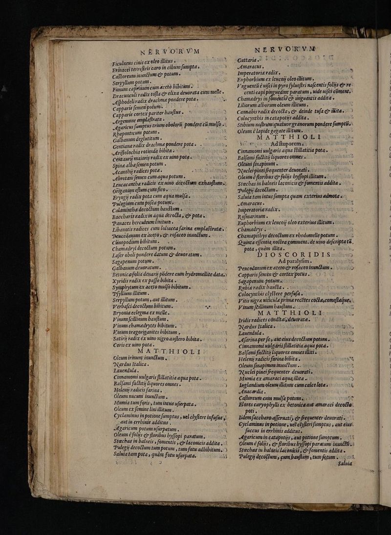 Qu N ËR VORM Ficulneus cinis ex oleo illitus « trinacei terreftris caro in cibum fumpta, i CasStoreum inunGium cr potum . HR erbyllum potum. —— < 00. Sie opus cum &amp;cetà bibitumi - Dracinculi radix tofa cir elixa deuorata cum mele X A[phodelivadix dracbmna pondere pota. A Capparis femen potum. Capparis cortex pariter bauftus « Argemone emplaftrata . 2 i Agaricus fumptus triumoboloră pondere cii mulfo.. Rbaponticum potum « deam. Galbanum degiutitum . Gentian&amp; radix drachma pondere pota « . j Ariftolochia rotimda bibita 33 N Ceitaurij maioris radix ex uino pota «o Spine alba femen potum . d ,Acantbij radices pote. Abrotani femen cum aqua potum . pc Leucacantba radicis ex uino décotium exhaufiunms: origanum eftum cum fico. A Ve ed s Eryngij radix pota cum aqua malfa. i nki qualem cum pofca potum: ; Calamintha decottum bausium . Baccharis tadix in áqua decota €r potas Þanaces hercukeumlinitum. E Libanotis radices cum loliacea farina. empla&amp;irate., : Peucedanum ex acetó eir. rofaceo inuntlum « — Clinopodium bibitum. — . Cbamadryi decoctum potum... S aiia Zafer oboli pondere datum Qr deuoratum . 63 Sagapenum potum . Mete KEG t Galbanumdeuoratum. |, ; Betonicefolia denarij podere cum bydromellite data.» Xyridis radix ex pafJo bibita . í Sympbytum ex aceto mulfo bibitum . Pfyllium illitum . Serpyllum potum ; aut ilitum a5 ss Vérbafci decoGium bibitum . e Bryonia eclegma ex melle . Vinum feilinum bauflum . V inum chamadiytes bibitum. ! Vinum tragoriganites bibitum . itx Satiri radix ex uino nigroauftero bibita, ) Coris ex uino pota . MX T/T;H 1TOLI! Oleum irinum inunctum . / Nardus Italica . j Lauendula . f HR Cinnamomi uulgaris flillatitia aqua pota . Bal[ami fatlitij liquores omnes 1 f x A Heleny radicis farina , | Oleum nucum inuntium , Mumia tum foris, tum ihtsis ufurpata s ia Er ex femine lini illitum . - Y ird Cyclaminus m potione [umptus infusus x ; autin eis Mo p n cou ^ Agaricum potumufurpatum. => i Oleum folus e» floribus byffopi paratum, 5 Stæchas in balneis , fomentis y ei laconicis addita „<i Pulegij decotium tum potum , tum fotu adhibitum.  Saluiatam pota , quàm fotu ufurpatae. = > 2M aJ NERVORV.M Catlaria.A 3 I4 OQ Oa C JAmavacus . Imperatoris radix . Enpborbium ex leucoij oleoillitum . mn centi capi pinguedine paratum , uide uifci coment. Chamadrys in fómentis c unguentis addita » Liliorum alborum oleum illitum . sue Cannabis radix decofta s čr deinde tufa c iNita.. ` Stibium noftrum quatuor granorum pondere fumpti, - Oleum è lapide gagate ilitume 5 ; MATTHIOLI Dra Socr vs Ad ftuporemst Swn ve T Cinnamomi uulgaris aqua Slillatitia pota . Bal(ami fattitij liquores omnes .. Oleum finapinum . i Nuclei pinei frequenter deuovati « >: Oleum à floribus c folijs byffopi illitum a Stecbas in balneis laconicis er fomentis additae `, Pulei decoctum o ; n 35808. Saluia tamintus fumpta quam exterius admota s Amaracus « Ux Imperatore vadix . Rofimarium. — Eupborbium ex leucoij oleo exterius illitum . cbamadrys . Cbamapitbys decoGtum ex vbodomelle potum . Quinta effentia noslra comment. de uino defcriptatá , pota , quam illita. t DIOSCORIÍDISes(: Ad paralyfim. TASSA Teucedanum ex atetogrrofaceo inuntlum e. ciO Capparis fem£n ci cortex potus .: Sdgapenum. potum «.- Rubia radix hausta e .: E Colocyntbis clysteve pevfufa oos ; Vitis nigra uiticule prime recëtes coGlacome[léque, Vinum feilinum hauftum si m MATTH. IQEi: bo Iridis radices cóndit&amp; y déworata. dorm Nardus Italica» 50s Hired, Lauendula . i ERR Afarinaper fes aiteiugdecotfum potume © i iss Cinnamomi uulgáris fillatitid aqua potd .— — Balfami fattity liquores omnes illiti -. . Helenij radicis farina bibita . AAR qaittowen Oleum finapinum inuntIum o. i 5i Ps Nuclei pinei frequenter deuorati. xti Mumia ex amaraci aqua illita « ~ Y l1uglandiur oleum illitrun cinn calce lota n sii Anacardia . bab de o 3 Flores caryopbylli ex betonica aut: amaraci decotda;. poti ortga odd oy VR iSt lidem faccbaro.afferuati'y ei frequenter deuorati - Cyclaminns in potione; ueFclyfleri [umptus , ant eius. fuccus in errbinis additus. Agaricum in catapotijs aut potione [umptum ... Oleum 6 folijs , et floribus by[fopi parasum inun Stecbas in baliüeis laconicis , ct fomentis addita . Saluia P.I C h e NA. .- re a