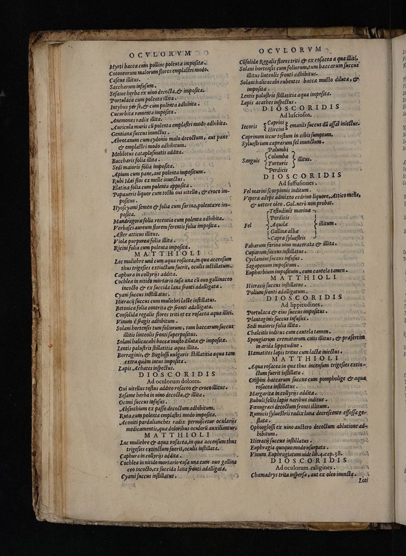 ocVEOJQ VM? Myrti bacca cum polline polente impofite Cotoneorum malorum flores emplasiri modo. Cafens illituss — ; Saccharum infufum . Ph konaa? Sefame berba ex uino decotfa, cy impofita.: Portulaca cum polentaillita ^ > | Intybus per [ec cum polenta adhibita - Cucurbita vanetita impofita » - Anemones radix illita. ^ > wd 3s] -Luricula muris cii polenta emplaftri modo adhibita, Gentiana fuccus inunékus e <. , MY : wA brotanum cum cydonio malo decottum y. aut pane ; er emplasiri modo adhibitum: | Melilotus cataplafmatis addita. Baccharis folia illita Sedi maioris folia impofita. )ii Apium cum pane, ant polenta impo[itum- Rubi 1ddi flos ex melle inmtfus » Va Elatins folia cum polenta appofita » l a Papaneris liquor cum tosto oui uitello , c croco im- pofitus . 1:54. MIS t Hyojcyami femen cr folia cum farina,polentave im-. pofita, o5 i s Mandragorafolia recentia cum polenta adhibita. Verbafci aureum florem ferentis folia impofita o After atticus illitus. A Viole purpurea folia illita « Ricini folia cum polenta impofita . M ATTHIOLI:: Lac muliebre und cum aqua vofacea;in qua accenfum thus trigefies extinétum fuerit; oculis instillatum Capbura in collyrijs addita. i i Cochlee in nitidò mortario tufe una că ouo gallinaceo incotlo cr ex fuccida lana fronti adalligate » Cyani fuccus inftillatus . Hieracij fuccus cum muliebri latte inflillatus. Betonica folia contrita et fronti adalligata. Confolida regalis flores triti et ex rofacea aqna illiti. yinim è fragis adhibitum . Solani bortenfis tum foliorum y tum baccarum fuccus: illitis linteolis fronti faperpofitus. Wine, Solani balicacabi bacee muflo dilute čr impofita. Lentis paluftris füllatitia aqua illita. hs Borraginis, et Bugloffi uulgaris Slillatitia aqua tam: , extra quàm intus impofita . : i Lapis Achates in[petfus. DIOSCORIDIS Ad oculorum dolores. Oui uitellus toflus addito vofaceo cir croco illitus« Sefame berba in uino decocta, cr illita. Ocimi fuccus infufus .. 5» EO Abfintbium ex pa[fo.decocfum adbibitum. ... Ruta cum polenta emplaflri modo impofita. Aconiti pardaliancbes radix. permifcetur ocularijs medicamentis,qua daloribus oculori auxilianture MATTHIOLI trigefies extinctum fuevit, oculis inflillata.:. . ` Cocblea innitido mortario'tufe una cum ouo galling ceo inco&amp;fosex fuccida lana fronti adalligate, — Cyami [uccus infüllatus «... 354 Pas OCVLORVM:«3X Cofolide Regalis flores triti d ex rofacea a qua illiti.. Solani bortenfas cum foliorum tum baccarum fuccus | illitus linteolis fronti adhibitus. A | Solanibalicacabi rubentes bacca musto dilute, d. l | impofita > | Lentis paluftris füllatitia aqua impofita. | Lapis acathes in[pettus - : ! GovDd 0S CO RAI DIS | | Ad lufciofos. , | Caprini = 2 mz ET | i ini £ emanás fuccus di afat inie&amp;iuse | Caprinum iecur toftum in cibis fumptum. Sylueftrium caprarum fel inunétum o Palumbi Fcolumbe (y; Turturis t litus,  Perdicis ai DIOSCORIDIS Ad fuffufiones . | Fel marini [corpionis inditum. — : | Vipera adeps admixto cedrino liquore, Attico helle, | ci netere oleo . Gal. uer non probate — cTefludinis maring =: Iecoris Sanguis |. Perdicis [m EC i Fel Aquile b illitum - V | | Galline albe 3 | Capre fylueflris <3 ^w | Fabarum farina uino macerata er illita, | Ceparum faccus infüllatus «2. 1 | Cyclamini fuccus infufus . Sagapenum impofitum . SES Eupborbium impofituim s cum cautela tamen e ; MATTHIOLI 31 | Hieracij fuccus inftillatus . | Tolium fronti adalligatum . : | o2DUIOSCORIDIS Ad lippitudines. Portulaca er eius faccus impofitus » eplantaginis faccus infufus.. Sedi maioris folia illita . Cbalcitis inditus cum cautela tamen. Spongiarum crematarum. ciis illitus s er prefertim in arida lippitudine . q Hematites lapis tritus cum latte inietus « i. MATTH HZLEOELI Aquarofacea in qua tbus incenfum trigefies extin», étum fuerit inftillata . DT | ciifpini bazcarum fuccus cum pompbolige čr aqua, vofacea inflillatus .:- i Margarite incollyrijs addita e=: Bubuli fellis lapis navibus inditus » Fanugraci decotium fronti illitum. ie vat? Rumicis fyluestris radix luna decrefcente effoffa ge--. flata»: . vpad Opbiogloffi ex. nino austero decoctum ablutioneada | bibitum. amis anii | Hieracij fuccus inflillatus « EnA i Eupbragia quoquomodo ufurpata - IM | Vinum. Euphragiatum uide lib.4.cap.38« siino iA | DIOSCORIDIS Adoculorum,caligines.-. Ah 5 ] Chamadrys trita in[ev[a y aut ex oleo inung: y l | .. Leti