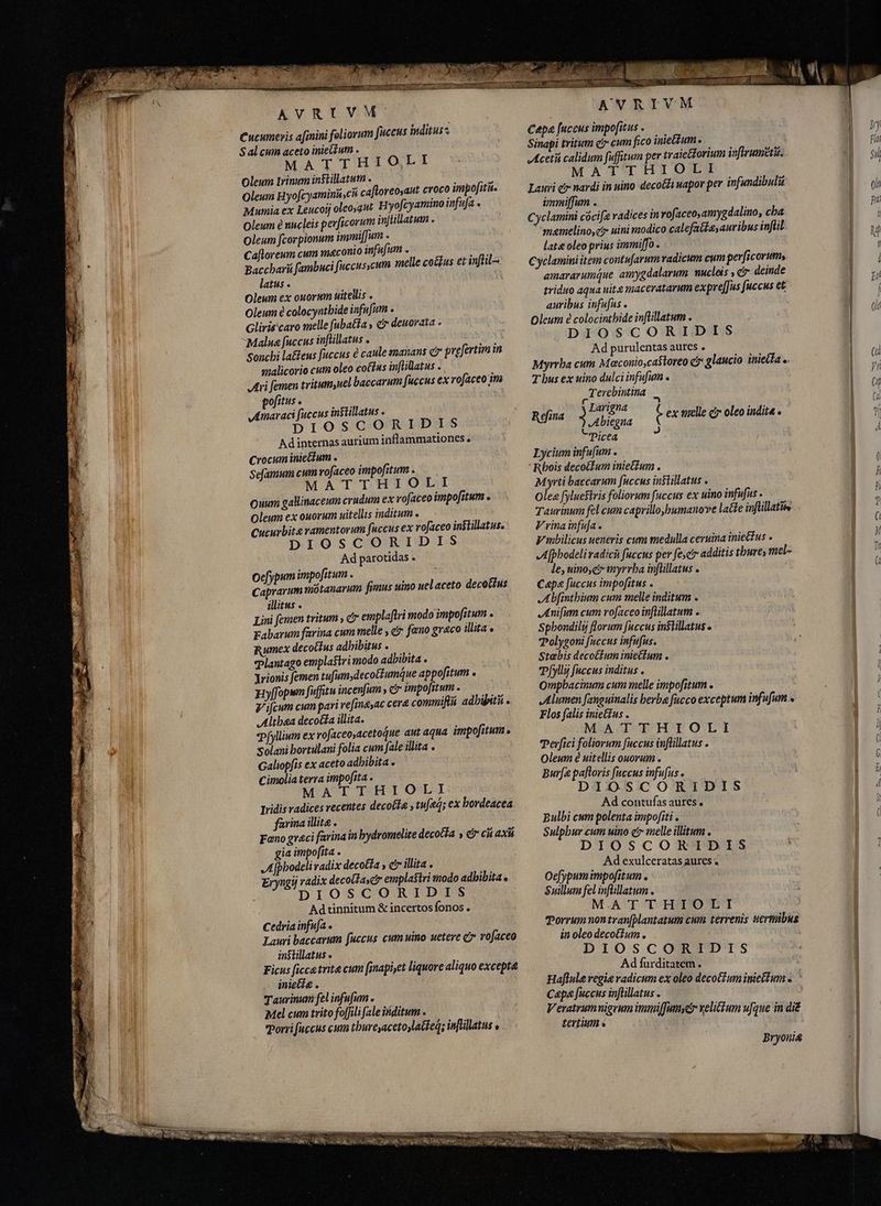 Cucumevis afinini foliorum fuccus inditus* Sal cum aceto iniettum . MATTHIOLI Oleum Irinum inStillatum . j Oleum Hyo[cyaminusci caftoreosaut croco impofitit. Mumia ex Leucoij oleoaut Hyofcyarmino infufa « Oleum è nucleis perficorum injtillatum . Oleum fcorpionum immiffum . Cafloreum cum maconio infufum . Mot Baccharü fambuci fuccusscum melle co&us et inftil= latus . l Oleum ex ouorum uitellis . Oleum è colocyatbide infujum Glirie caro melle [ubatta , c deuovata . Malna fuccus infüllatus . ‘sonchi latens fuccus è caule manans e prefertim in malicorio cum oleo cottus inftillatus . Ari femen tritum,nel baccarum fuccus ex rofaceo im pofitus . Amaraci fuccus instillatus . DIOSCORI DIS Adinternas aurium inflammationes. Crocum iniecium . Sefamum cum vofaceo impofitum. MATTHIOLI uum gallinaceum crudum ex vofaceo impofitum . Oleum ex ouovum uitellis inditum . Cucurbite vamentorum fuccus ex rofaceo instillatus. DIOSCORIDIS Ad parotidas . Oefypum impofitum . | caprarum mõtanarum fimus uino uelaceto decotíus illitus . Lini femen tritum , c emplaftri modo impofitum . Fabarum farina cum melle , er fano greco illita o umex decottus adhibitus . Plantago emplastri modo adbibita . Jrionis femen tufumsdecotTumque appofitum . Hyffopum fuffitu incenfum , c impofitum . V ifcum cum pari re[iayac cera commiftu adbijiti . Althea decotía illita. Pfyllium ex rofaceoyacetoque aut aqua impofitum s Solani bortulani folia cum fale illita . Galiopfis ex aceto adhibita - Cimolia terra impofita . MATTHIOLI Iridis radices recentes decote , tufeġ; ex bordeacea farina illite . Fano graci farina in bydromelite decola s e cii axi gia impofita - Afphodeli radix decotia ; ctr illita , E; yngij radix decollaycr emplastri modo adhibita « : DIOSCORIDIS Ad tinnitum & incertos fonos . Cedriainfufa s Lauri baccarum fuccus cum uino netere c7 rofaceo instillatus . Ficus ficca trite cum fmapiet liquore aliquo excepta iniecta . Taurinum fel infufum . Mel cum trito fo[fili fale inditum . Porri fuccus cum tbureyacetoylatfeq; inftillatus o Co MEME. AVRIVM Capa fuccus impofitus . Sinapi tritum cr cum fico inietum ceti calidum fuffitum per traiectorium ivftrumétu. MATTHIOLI Lauri e» nardi in nino deco&fi uapor per infundibuli immiffum . Cyclamini cócifa radices in rofaceo,amygdalino, cba memelino,ci uini modico calefatfayauribus inftil lata oleo prius immiffo .. Cyclamini item contufarum radicum cum perficorum, amararumáue amygdalarum nucleis , c deinde triduo aqua uit maceratarum exprelJus fuccus et auribus infufus . Oleum € colocintbide inftillatum . DIOSCORIDIS Ad purulentas aures e Myrrba cum Maconio,ca$toreo c? glaucio iniecta e T bus ex uino dulci infufum « „Terebintina Larigna DK Refina 3 Abiegna e ex melle c oleo indit4 o “Picea : Lycium infufum . Rhois decocfum inieGium . Myrti baccarum fuccus in$lillatus . Oleg [ylueftris foliorum fuccus ex uino infufus . Tauwinum fel cum caprillo,bumanove lacte inflillatiis Vrinainfuja. V mbilicus ueneris cum medulla ceruina iniettus - Afphodeli radici fuccus per feci additis thure, mel- le, uino, myrrha infüllatus Capa fuccus impofitus . Abfinthium cum melle inditum . Anifum cum rofaceoinflillatum . Spbondils) florum fuccus inslillatus o Polygoni fuccus infufus. Stabis decoé£fum iniecfum . Pfylly faccus inditus . Ompbacinum cum melle impofitum . Alumen fanguinalis berba fucco exceptum infufum « Flos falis iniet£us . MATTHIOLI Perfici foliorum fuccus iuflillatus . Oleum è uitellis ouorum . Burfe paftoris fuccus infufus . DIOSCORIDIS Ad contufas aures. Bulbi cum polenta impofiti . Sulphur cum uino c7 melle illitum . DIOSCORIDIS Ad exulceratas aures « Oefypum impofitum . $uillum fel infüllatum . MATTHIOLI Torrum non tranfblantatum cum terrenis neribus in oleo decotfum. DIOSCORIDIS Ad furditatem . Haflule regia radicum ex oleo decoftum inie&lum e ` Capa fuccus inftillatus . Veratrum nigrum immifjfum g relittum ufque in dié tertium « Bryonig
