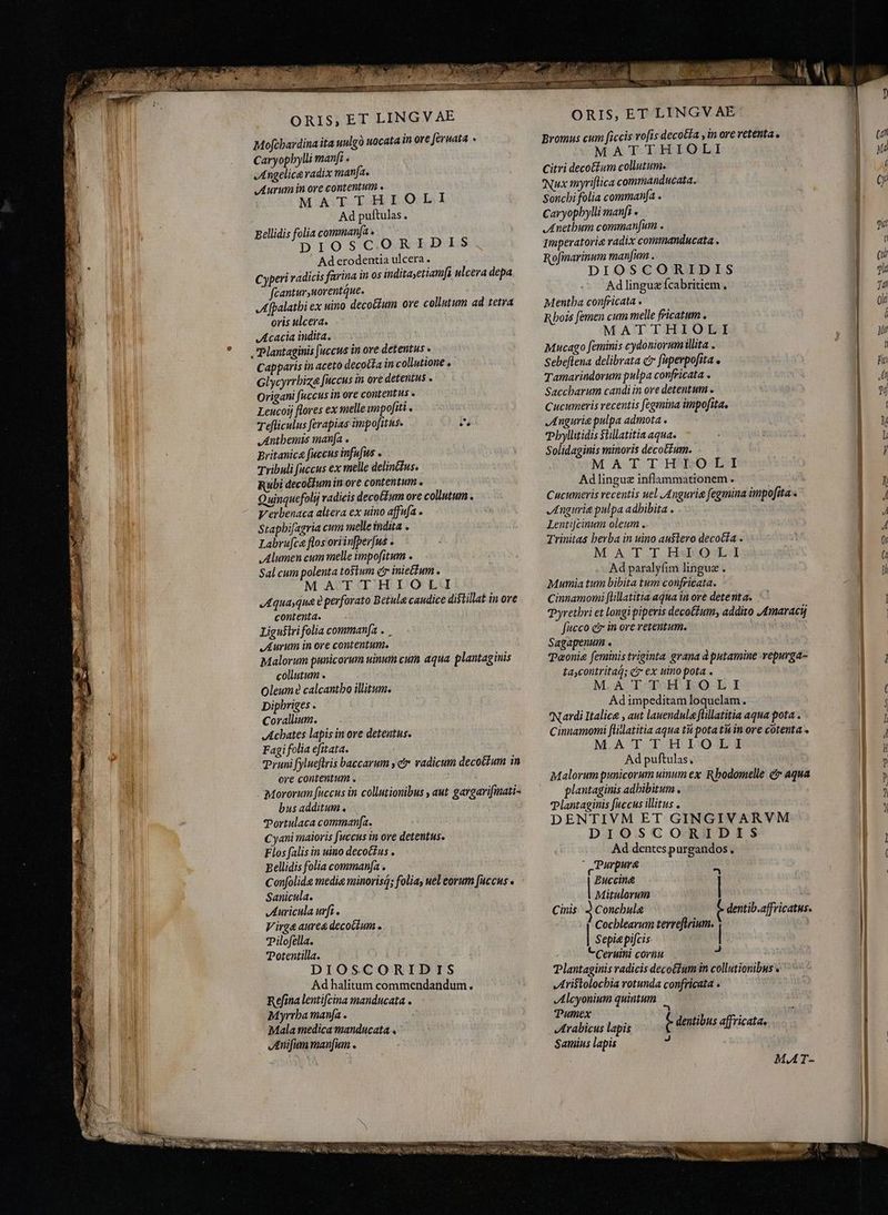 ORIS, ET LINGVAE Mofcbardina ita uulgò wocata in ore fernata » Caryopbylli manfi . Angelica radix manfa. Aurum in ore contentum » MATTHIOLI Ad puftulas. Eellidis folia commanfa » DIOSCORIDIS Ad erodentia ulcera. Cyperi radicis farina in os inditaetiam[a ulcera depa fcanturuorentque. Afpalatbi ex uino deco&amp;ium ore collutum ad tetra oris ulcera. Acacia indita, ,Plantaginis fuccus in ore detentus « Capparis in aceto decotfa in collatione . Glycyrrbiza fuccus in ove detentus . Origani fuccus in ove contentus « Leucoij flores ex melle unpofiti . Tefliculus ferapias impofitus- Pi Anthemis manfa . Britanice fuccus infufus Tribuli fuccus ex melle delinctus. Rubi deco&amp;fum in ore contentum . Quinquefolij radicis decottum ore collutum . y erbenaca altera ex uino affufa . Stapbifagria cum melle indita . Labrufca flos oriin[perfus > lumen cum melle impofitum . Sal cum polenta toŝtum cr iniettum . MATTTHIOLI ,Aqua;qua t perforato Betula candice distillat in ore contenta. Ligusiri folia commanfa » Aurum in ore contentum. Malorum punicorum uinum cum aqua plantaginis collutum . Oleum calcantbo illitum. Diphriges . Corallium. Achates lapisin ore detentus. Fagi folia efitata. Pruni fylueftris baccarum yer radicum decoétum in ore contentum . . Mororum fuccus in collutionibus , aut gargarifinati- bus additum. Portulaca comman[a. Cyani maioris fuccus in ore detentus, Flos falis in uino decoc£us . Bellidis folia comman[a . Confolide medie minoris; folia, uel eorum [uccus « Sanicula. Auricula urfi Virge aurea decoctum e Pilofella. Potentilla. DIOSCORIDIS Ad halitum commendandum. Refina lenti[cina manducata . Myrrha manfa . Mala medica manducata . JAnifum manum . N * HERR Apa jw o TNR rpg DOR ORIS, ET LINGV AE Bromus cum ficcis rofis deco&amp;fa ,in ore retenta. MATTHIOLI Citri decoĉtum collutum. Nux myriflica commanducata. Soncbi folia commanfa . Caryopbylli manfi e Anethum commanfum . 1mperatorie radix commanducata . Rofmarinum man[um . DIOSCORIDIS Ad linguæ fcabritiem. Mentha confricata . Rbois femen cum melle fricatum . MATTHIOLI Mucago feminis cydoniorumillita . Sebeflena delibrata c» fiperpofita o Tamarindorum pulpa confricata . Saccharum candi in ore detentum . Cucumeris recentis fegimina impofita, Jtnguria pulpa admota . Phyllitidis $tillatitia aqua. Solidaginis minoris decoctum. MATTHIOLI Adlinguz inflammationem . Cucumeris recentis uel Angurie fegmina impofita « Angurie pulpa adhibita . Lentijcinum oleum . Trinitas berba in uino austero decotía . MATTHEROLI Ad paralyfim linguæ . Mumia tum bibita tum confricata. Cinnamomi flillatitia aqua in ore detenta. Pyrethri et longi piperis decoĉtum, addito Amarach fucco e in ore retentum. Sagapenum . Toni feminis triginta grana à putamine vepurga- ta,contritad; ez ex uino pota . M.A I THEO E I Adimpeditam loquelam. Nardi Italice , aut lauendula füllatitia aqua pota . Cinnamomi [lilatitia aqua tu pota tù in ore cotenta » M.ATTH I:OLI Ad puftulas, Malorum punicorum uinum ex Rbodomelle čr aqua plantaginis adhibitum . Plantaginis fuccus illitus . DENTIVM ET GINGIVARVM DIOSCORIDIS Ad dentes purgandos . Purpura s Euccin&amp; | Mitulorum Cinis ` 3 Conchule À dentib.affricatus. Cocblearum terreflrium. | Sepie pifcis | CCeruini cornu Plantaginis radicis deco&amp;ium in collutionibus Aristolochia rotunda confricata » Alcyonium quintum ^ | Pies s lapis t dentibus affricata. Samius lapis 3 MAT-