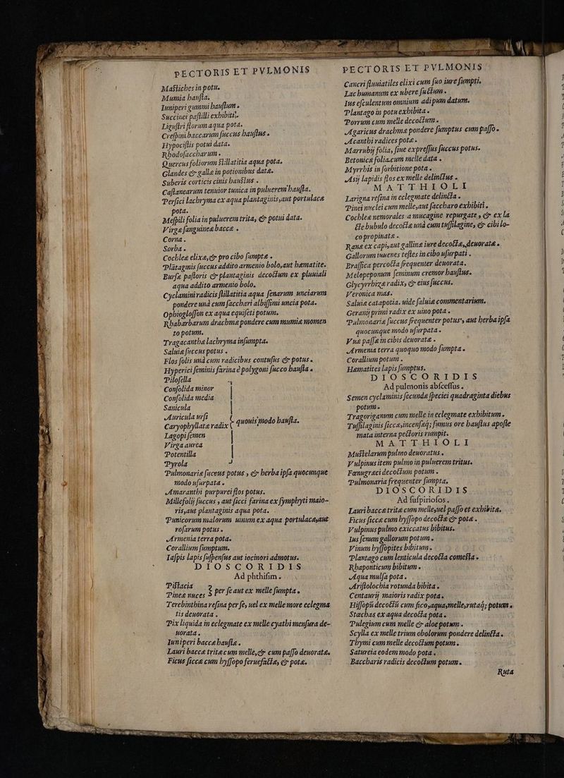 E LE : cmm Dr 7D PECTORIS ET PVLMONIS Ma$ticbes in potit. Mumia baufla. Iuniperi gummi bauflum . Succinei paflilli exhibitis Liguflri florum aqua pota. Crefpinibaccarum fuccus bauftus . Hypociflis potui data. Rbodo[acchar um . Quercus foliorum Stillatitia aqua pota. Glandes c galla in potionibus dat&. Suberis corticis cinis haustus . Caflanearum tenuior tunica in puluerem baufla. Perfici lacbryma ex aqua plantaginis aut portulace pota. Mepili folia in puluerem trita, ci potui data. Virga fanguinea bacca . Corna. Sorba. Cochlea elixa,cr pro cibo [umpte . Plataginis fuccus addito armenio bolo,aut hematite, Burfe paftoris ci plantaginis decollum ex pluuiali aqua addito armenio bolo. Cyclamini radicis ftillatitia aqua fenarum unciarum pondere und cum facchari albifimi uncia pota. Opbiogloffon ex aqua equifeti potum. Rhabarbarum drachma pondere cum mumie momen to potum. Tragacantba lacbryma infumpta. Saluia fuccus potus . Flos folis und cum radicibus contufus c potus a Hyperici feminis farina è polygoni fucco baufla a Pilofella d Confolida minor | Confolida media Sanicula Auricula urfi rs Caryophyllate radix e quouis modo baufla. Lagopi femen Virga aurea Potentilla | Pyrola * Tulmonarie fuccus potus , c berba ipfa quocumque modo ufurpata . „Amaranthi purpurei flos potus. Millefolij fuccus aut ficci farina ex fympbyti maio- ris,aut plantaginis aqua pota. Punicorum malorum. unn ex aqua portulacesaut rofarum potus . Armenia terra pota. Corallium fumptum. Iafpis lapis fufbenfwus aut iocinori admotus. DIOSCORIDIS Ad phthifim. Pistacia l Pea aeo ? per fe aut ex melle fumpta . Terebintbina refina per fe, uel ex melle more eclegma tis deuovata . Pix liquida in eclegmate ex melle cyatbi menfura de- Worata. Iuniperi baccebaufla. Lauri bacca trite cum melle,¢r cum paffo deuovata, Ficus ficca cum by[opo feruefatlas ci pota. Cancri fluniatiles elixi cum fuo iure fumpti. Lac humanum ex ubere fu ttum.. Ins efculentum omnium adipum datum. Plantago in potuexhibita . Porrum cum meile decoctum . Agaricus drachma pondere fumptus cum pfo. Acanthi radices pote. Marrubi folia, fine expreffus fuccus potus. Betonica folia.cum melle data . Myrrbis in forbitione pota . Asij lapidis flos ex melle delintfus . MATTHIOLI Larigna re[ina in eclegmate delin&ía . Pinei nuclei cum melle,aut faccbaro exbibiti . Cocbleg nemorales-a mucagine repurgate s ct ex la Ge bubulo decofte una cum tuffilagine, e cibi lo- co propinata . Rane ex capi,aut galline inre decote, deuoratt » Gallorum iuuenes teftes in cibo ufurpati . Praffica percotia frequenter denorata. Melepeponum [eminum cremor bauflus. Glycyrrbiza radix, dr eius fuccus. Veronica mas. Saluia catapotia. uide faluie commentarium. Geranij primi radix ex uino pota - Pulmonaria fuccus frequenter potus', aut berba ipfa quocunque modo ufurpata . Vua paffe in cibis deuorata Armenia terra quoquo modo fumpta e Corallium potum . Hainatites lapis fumptus. DIOSCORIDIS Ad pulmonis abfceflus . Semen cyclaminis fecunda fpeciei quadraginta diebus potum . Tragoriganum cum melle in eclegmate exhibitum. Tuf[filaginis ficcæ,incenfeg; fumus ore bauflus apofle mata interna peiloris rumpit. MATTHIOLI Mu$telarum pulmo deuoratus . V ulpinus item pulmo in puluerem tritus. Fanugraci decottum potum . Pulmonaria frequenter fumpta. DIOSCORIDIS Ad fufpiriofos . Lauri bacca trite cum melleuel paffo et exbibita, Ficus ficca cum by[Jopo decoéte e? pote . V ulpinuspulmo exiccatus bibitus. Ius fenum gallorum potum . Vinum byffopites bibitum. Plantago cum lenticula decocta comesta » Rhaponticum bibitum Aqua mulfa pota . Ariholochia rotunda bibita e Centaurij maioris radix pota. Hi[fopii decoéiň cum ficosaquasmelle,ruta; potum « Stacbas ex aqua decocía pota . Pulegium cum melle ct aloe potwm . Scylla ex melle trium obolorum pondere delintfa . Tbymi cum melle decohum potum. Satureia eodem modo pota . Baccharis radicis decoium potum. Ruta a a NEF EIE aem —P MM D we wisi ve o ER O E CC TE T4. m en tx c—X tn Ao eX 0n e$ pa 9-39 e a