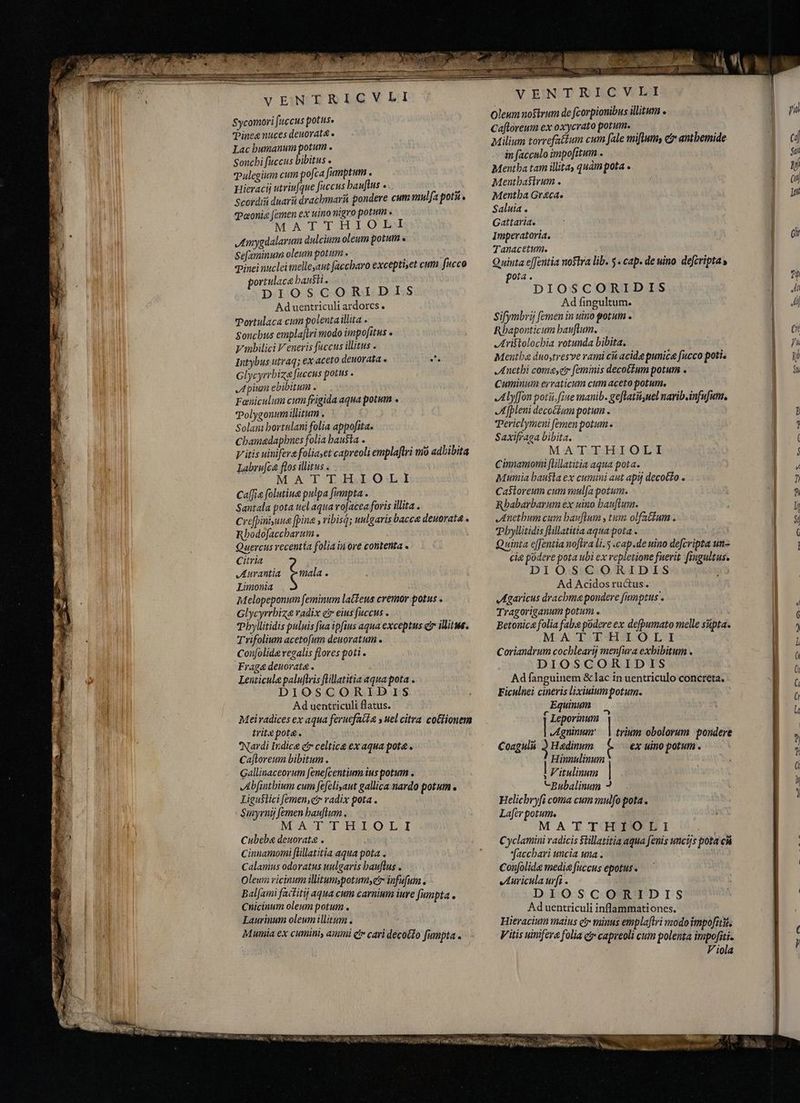 A rr aise SPREE vaa S E Me ame Wr ME qvum VENTRICVLI Sycomori fuccus potus» Tine nuces deuorat& e Lac bumanum potum . Soncbi fuccus bibitus . Tulegium cum pofca fJumptum . Hieracij utriufque fuccus bauftus . y Scordisi dnarñ dracbmari pondere cum mulfa poti. vPeonis [emen ex uino nigro potum MAT THILOBRM Amygdalarum dulcium oleum potum « Sefaminum oleum potum . epinei nuclei melleyaut faccbaro exceptiset cum fucco portulace bausti . DIOSCORIDIS Aduentriculi ardores. Portulaca cum polenta illita . Sonchus emplaftri modo impofitus e y mbilici Veneris faccus illitus . Intybus utraq; ex aceto deuorata « iT Glycyrrbiza fuccus potus . Apium ebibitum . Fæniculum cum frigida aqua potum . Polygonumillitum . Solam bortulani folia appofita. Cbamaedapbnes folia hausta . y itis uiniferefoliayet capreoli emplaftri mo adhibita Labru[ca flos illitus . MAT T.H OLI Cafie folutiua pulpa fumpta . Santala pota uel aquavo[acea foris illita . crefpinisuua fpina ribisq; uulgaris bacca deuorata . Rbodofaccbarum . Quercus recentta folia iu ore contenta . Citria JAurantia (nas $ Limonia Melopeponum feminum latens cremor potus . Glycyrrbiz radix ci eius fuccus . Phyilitidis puluis fua ipfius aqua exceptus er illitu. Trifolium acetofum deuoratum . Confolide regalis flores poti . Fraga deuorata . Lenticule paluflris flillatitia aqua pota . DIOSCORIDIS Ad uentriculi flatus. Mei radices ex aqua feruefacía s uel citra. coGlionem trit pot& . Nardi Indice c celtice ex aqua pota . Caftloreum bibitum . Gallinaceorum fenefcentium ius potum . Abfinthium cum fefeli,aut gallica nardo potum . Liguslici [emen,er radix pota . Smyrny femen bauftum . MATTHIOLI Cubeba deuorata . Cinnamon [üllatitia aqua pota . Calamus odoratus uulgaris bauflus . Oleum vicinum illitumypotumye infufum . Bal[ami factitij aqua cum carnium iure fumpta. Cnicinum oleum potum . Laurinum oleum illitum . Mumia ex cumini, ammi Qtr cari decocto fumpta. VENTRICVLI Oleum noftrum de fcorpionibus illitum « Caftoreum ex oxycrato potum. Milium torrefattum cum fale mifit, ey antbemide in faccalo impofitum . Mentha tam illita, quàm pota « Mentbasirum . Mentha Graeca. Saluia . Gattaria. Imperatoria. Tanacetum. Quinta effentia nostra lib. 5. cap. de uino defcripta» ota . f DIOSCORIDIS Ad fingultum. Sifymbrij femen in uino potum . Rhaponticum bauflum. Aristolochia rotunda bibita. Menthe dno,tresve rami ch acide punice fucco poti. Anethi come,etr feminis decoctum potum . Cuminum erraticum cum aceto potum. Alyfon poti. fine manib. geftath,nelnarib.infufum. Afpleni decoctum potum . Periclymeni femen potum « Saxifraga bibita. MATTHIOLI Cinnaniomi ftillatitia aqua pota. Mumia hausta ex cumini aut apij decotto . Castoreum cum mula potum. Rbabarbarum ex uino bauflum. Anethum cum bauflum , tum olfatfum . byllitidis flillatitia aqua pota . Quinta e[fentia noflra li.5 .cap.de uino defcripta un- cie podere pota ubi ex vepletione fuerit fingultus. DIOSCORIDIS Ad Acidos ructus. Agaricus drachma pondere fumptus . Tragoriganum potum . Betonica folia fab podere ex defpumato melle supta. MATTHIOLI Coriandrum cocblearij menfura exhibitum . DIOSCORIDIS Ad fanguinem & lac in uentriculo concreta. Ficulnei cineris lixiuiumpotum. Equinum C * Jin | Agninum' \ trium obolorum pondere Coagulú 2 Hadinum ex uino potum . Hinnulinum | Fitulinum | -Bubalinum ? Helicbryfi coma cum mulfo pota . Lafer potum. MATTHIOLI Cyclamini radicis Stillatitia aqua fenis uncis pota c ffaccbari uncia una. Confolide media fuccus epotus . Auriculaurfi. DIOSCORIDIS Ad uentticuli inflammationes. Hieracium maius ei minus emplaflri modoimpofitits Vitis uinifera folia e? capreoli cuim polenta impofiti» Viola im mec