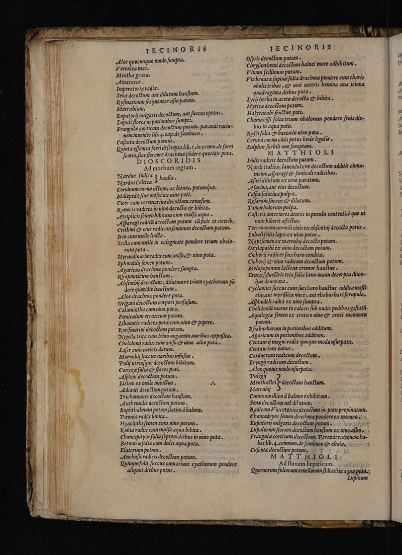 Veronica mas. Mentha grecas AMAYACUS . Imperatorie radix. Sena decoĉkum aut dilutum bauftum. Rofinarinum frequenter ufur patum. Marrubium. Eupatorij uulgaris decotfums aut fuccus epotus a Lupuli flores in potionibus fumpti. with Frangule corticum decotfum potum. parandi ratio= nem inuenies lib.4.cap.de fambuco Ok Cufcunte decoétum potum » Quinta effentia ferri defcripta lib.5 in.comm.de ferrì Feoria fiue ftercore drachme podere quotidie pota. DIOSCORIDIS Ad morbumregium . ardus Indica N Celtica $ baia, Cerninum cornu uflums ac lotum, potumque, akillepede fine onifci ex uino poti. Cicer cum roremarino decoGtum come[um. umicis radices in uino decote e? bibite. Atriplicis femen bibitum cum mulfa aqua » Afparagi radica decoĉêtum potum cii ficis et cicerib. Crithmi cr eius radicum feminum decoctum potum. Irio cum melle lin&fa . Scilla cum melle in eclegmate pondere trium obolo- vum pota . Hyrundinarievadix cim anifo,cj uino pota. Spboudilij [emen potum . Agaricus drachma pondere fumpta. Rhaponticum haustum. Abfinthij deco&£um , dilutumve trium cyatborum po dere quotidie haustum . Aloe drachme pondere pota. Origani decotZum corpori perfufum. Calamintha cum uino pota. Faniculum erraticum potum. Libanotis radices pote cum uino c pipere. Rorifmarini decotfum potum. Nigella trita cum Irino unguentoynaribus appofita. Cbelidonij radix cum anifo c nino albo pota . Lafer cum caricis datum. Marrubi fuccus naribus infufus . Polij utriufque decotium bibitum. Conyza folia cr flores poti. A fpleni decoctum potum. Lichen ex melle inunéřus . sf. Adianti decoétum potum . Trichomanes decocium bauflum, Anihbemidis decoctum potum . Buphthalmum potum [tatim à balneo. Pæonig radix bibita . Hyacintbi femen cum uino potum . Rubia radix cum mul fa aqua bibita. Chamapityos folia feptem diebus in uino pota . Ectonice folia cum dulci aqua pota. Elaterium potum . Anchufe radicis decotfum potum. aliquot diebus potus . EI Il. a É IE CINORIS Ofyris decoctum potum . Chryfantbemi deco&tum balnei more adhibitum . Vinum [cillinum potum. | Verbenace fupina folia dracbma pondere cum thuris obolis tribus , ci» uini ueteris hemina una ieiuna quadraginta diebus pota . Lycij berba in aceto decotía cr bibita . Myrica decoctum potum. Halycacabi fructus poti. Cbamaciffi folia trium obolorum pondere fenis die- bus in aqua pota. Rafti folia ct-baccein uino pota . Ceruini cornu cinis potus binis ligulas e Sulphur forbili ouo fumptum. MATTHIOLI Iridis radicis decotfum potum . Nardi Italice, lauendulve decotium additis cimma- momoya[paragi e feniculi radicibus. Afari dilutum ex uino paratum, A farinayaut eius decoctum. Ca[fiefolutiuepulpa. — Rofarum fuccus e dilutum. Tamarindorum pulpa. Caflcris anteriores dentes in poculo contentis? quo ui num biberit affectus. Terrenorum nermiŭ cinis ex abfinthij decotto potus » Eubulifellis lapis ex uino potus . 'Napi femen ex marrubi decocto potum. Oxylapatbi ex uino decotium potum. Cichori radices [accbaro condita. Cicborij e eius radicum decoctum potum. Melopeponum latteus cremor haustus . Eruca fyluesiris tria folia lena manu decerpta illico» - que deuorata . Cyclamini faccus cum faccbaro haustus addita mafti cbe,aut myriflica nuce , aut rbabarbari fcrupulo. Afphodeli radix ex uino fumpta: Chelidonin maius in calceis fub nudis pedibus geflatiü Aquilegie [emen ex cretico uino c croci momento potum. Rbabarbarum in potionibus additum. Agaricum in potionibus additum. Centaurij magni radix quoquo modo ufurpata. Centaurium minus . Carduorum radicum decoctum . Eryngi radicum decoctum . Aloe quouis modo ufurpata, Tulegu M ersbastri decoctum haustum. Marrubi Cuminum illico à balneo exbibitum e . Sena decobfum uel dilutum, |. 5 © Radicum V incetoxici decotinm in potu propinatum. Chamadryos femen drachma pondere ex anevaco.s.. Eupatory uulgaris decoGfum potum . Frangula corticum decoctum, Parandi vationem ha- Cufcute decoctum potum. i T `i M A TA HOLI Ad fluxum hepaticum. Lupinum LS
