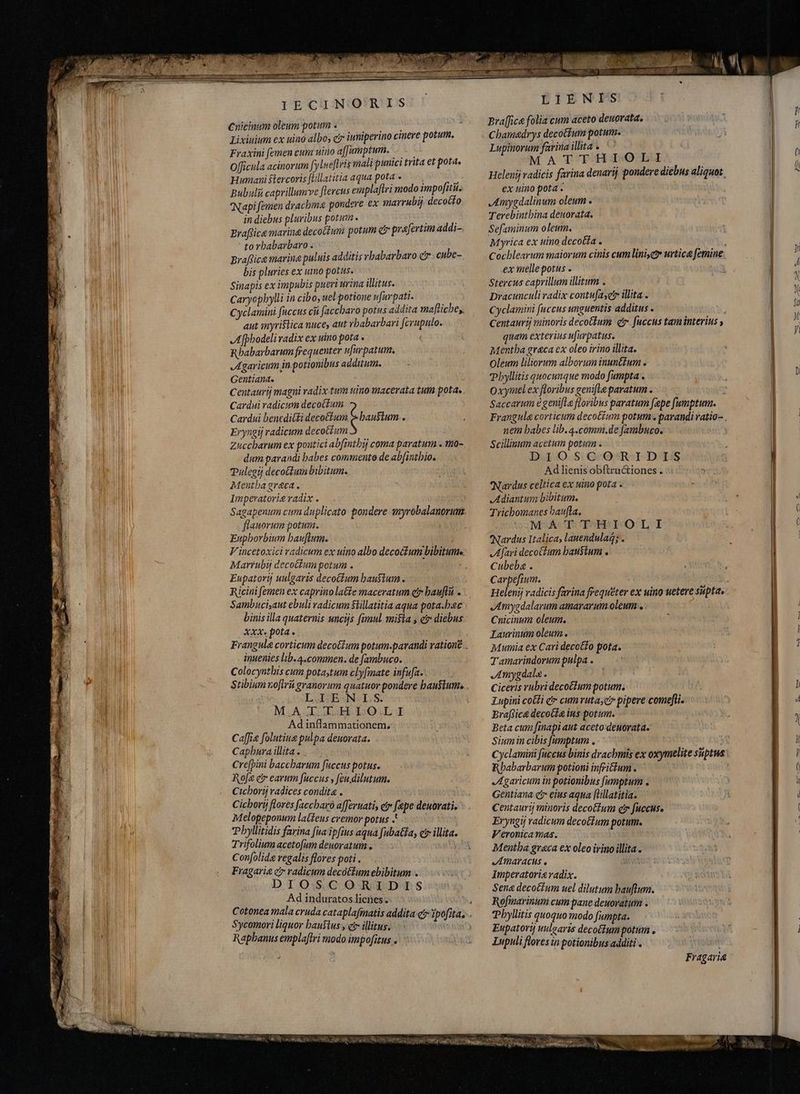 ens a a aiaa ERR SAM E i MET irr eir. x VITE Cuicinum oleum potum . i Lixinium ex uino albo, ci iuniperino ciere potum. Fraxini femen cum uino affumptum. — - Officula acinorum fyluefteis mali pumici trita et pota, Humani stercoris ftillatitia aqua potae » Bubulii caprillumve ftercus emplafiri modo impofitii. 'Napi femen drachma pondere ex imarrubi decocto in diebus pluribus potum. | ! Eraftica marina decottum potum &amp; prafertim addi- to rbabarbaro . Braffica marina puluis additis vbabarbaro c cube- bis pluries ex umo potus. Sinapis ex impubis pueri urina litus. — Caryopbylli in cibo, uel potione ufurpati. Cyclamini fuccus ci faccbaro potus addita ma[licbe;. aut myristica nuce, aut vbabarbari [crupulo. A [pbodeli radix ex uino pota . Rbabarbarum frequenter ufurpatum. Agaricum in potionibus additum. Gentiana. Centaurij magni radix tum uino macerata tum pota. Cardui radicum decoctum Cardui benedicti decoctum. $ haustum . Eryngij radicum decotium Zuccbarum ex poutici abfintbij coma paratum . mo- dum parandi babes commento de abfintbio, Tulegij decoctum bibitum.. Mentha greca . Imperatorig radix . flauorum potum. Eupborbium bauflum. j Marrubij decoctum potum . Eupatorij uulgaris decoctum baustum. Sambuci,aut ebuli radicum $lillatitia aqua pota.b.ec binis illa quaternis uncijs fimul mista , e diebus xxx. pota . inuenies lib. 4.commen. de fambuco. Colocyuthis cum pota,tum clyfmate infufa. LIEN I.S. MATTHLOLI Ad inflammationem. Caffi« folutiue pulpa deuorata. Capbura illita . Cre[pini baccbarum fuccus potus. Rofe er earum fuccus , feu dilutum. Cicborij radices condita . Cichorý flores faccbaró a[feruatis ety fepe deuorati. Melopeponum latens cremor potus .' Pbyllitidis farina [ua ipfius aqua fubatta, c? illita. Trifolium acetofum deuoratum . Confolida regalis flores poti . Fragaria er radicum decótfum ebibitum . DIOSCORIDIS Ad induratos licnes.- Sycomori liquor haustus, ct illitus. Raphanus emplaflri modo impofitus . LIENIS Bra[fice folia cum aceto deuorata, Cbaimadrys decottum potum. Lupinorum farina illita» `` MATTHIOLI Heleuij radicis farina denarij pondere diebus aliquot, ex uino pota . Amygdalinum oleum . Terebintbina denorata. Sefaminum oleum. Myrica ex uino decotta . ex melle potus . Stercus caprillum illitum . Dracunculi radix contufayet illita . Cyclamini fuccus unguentis additus . Centaurij minoris decoctum e. fuccus tamiinterius ; quam exterius ufurpatus. Mentha greca ex oleo irino illita. Oleum liliorum alborum inuntium . Oxyimel ex floribus genifle paratum . Saccarum e genifla floribus paratum fepe [umptum. nem babes lib. 4.comm.de fambuco. Scillinum acetum potum» DIOSCORIDIS Adlienis obftra iones. Nardus celtica ex uino pota > Adiantum bibitum. Trichomanes baufla, MATTHIOLI Nardus Italica, lauendulaq; . Cubeba . carpefium. Amygdalarumamararum oleum. Cnicinum oleum. Laurintim oleum. Mumia ex Cari decotto pota. Tamarindorum pulpa . mygdala . Ciceris rubridecotium potum. Lupini coti ér cum vuta;ci pipere comefti. Brafice decote ius potum. Beta cum finapi aut aceto deuorata. Sium in cibis [umptum . Cyclamini faccus binis drachmis ex oxymelite siptus Rbabarbarum potioni infritium. Agaricum in potionibus fumptuim . Gentiana ci eius aqua [lillatitia. Centaurij minoris deco&amp;fum etr fuccus. Eryngij radicum decotfum potum. Veronicamas. Mentha greca ex oleoirino illita. AmMaracus o Imperatori radix. Sena decotium uel dilutum bauflum. Rofmarinum cum pane deuovatum - Phyllitis quoquo modo fumpta. Eupatorij uulgaris decotlum potum . Lupuli flores in potionibus additi . VAN Fragaria — ar