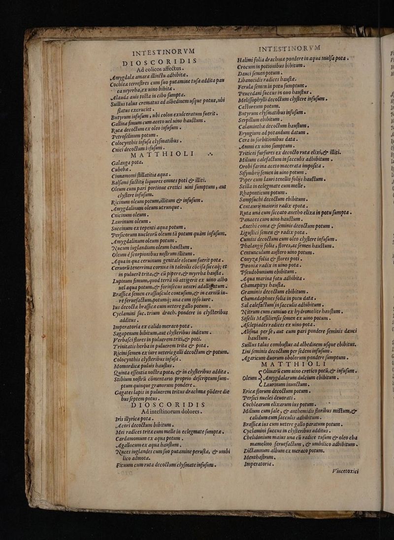 DIOSCORIDIS Ad colicos affectus . Amygdale amare illin£u adbibite. ; Cochlea terreftres cum fuo putamine tufeaddita pau ca myrrha,ex uino bibite . Alauda auis tosta in cibo fumpta. Suillus talus crematus ad albedinem ufque potus, ubi flatus excruciet « Butyrum infufum » ubi colon exulceratum fuerit. Galline fimum cum aceto uel uino haustum . Ruta decoctum ex oleo infufum « Petvofelinum potum . oue infufa clyfmatibus . Cnici decotbum i fuf MATTHIOLI e^ Galanga pota. Cubeba . Cinnamomi flillatitia aqua Balfami factitij liquores omnes poti e illiti. Oleum cum pari portione cretici uini fumptum s aut clyflere infufum. Ricinum oleum potumyillitum er infufum « „Amygdalinum oleum utrunque « cuicinum oleum . Laurinum oleum . Succinum ex tepenti aqua potum . Perficorum nucleori oleum tă potum quam infufum. Jmygdalinum oleum potum . Nucum iuglandium oleum haustum . Oleum è fcorpionibus noftrum illitum . „Aquain qua ceruinum genitale elotum fuerit pota . Ceruoriitenerrima cornua in taleolis cocifa ficca; et in pulueré trita ct ci pipere,et myrrha baufla . Lupinum fimumsquod terra wo attigerit ex uino albo uel aqua potum, forinfecus uenrri adalliftitum . Eraffica femen cva[fiufcule contufum;cr in carni iu- re feruefatium;potumq; una cum ipfo iure - Jus deco&ta braffice cum uetere gallo potum . Cyclamini fuc. trium drach. pondere in clySteribus additus . Imperatoria ex calido meraco pota . Sagapenum bibitum;aut clyfleribus inditum . Verbafci flores in puluerem triti, ci» poti. Trinitatis berba in puluerem trita ci» pota . Ricini femen ex iure ueteris galli deco(fum ci potum. €olocyntbis clyfleribus infufa . Momordice puluis bauftus . Quinta e[fentia nostra pota, cr in cbyfleribus addita . Stibium noflri comentario proprio. defcriptum fum- ptum quinque granorum pondere .. Gagates lapis in puluerem tritus drachma podere die bus feptem potus . DIOSCORIDIS Adinteftinorum dolores. Iris illyrica pota . Acori decottum bibitum . Mei radices trita cum melle in eclegmate fumpta Cardamomum ex aqua potum . Agallocum ex aqua bauflum . Nuces iuglandes cum fuo putamine perufle, c umbi lico adimota. Ficuum cum ruta decockum cly[mateinfufum INTESTINORVM Halimi folia dracbine pondere in aqua 'aul(a pota Crocum in potionibus bibitum. Dauci femenpotum . Libanotidis radices baufle. Ferula femen in potu fumptum e Peucedani fuccus in ouo bauftus . Meliffophylli decot£um clyftere infufum . Casloreum potum. Butyrum clyfmatibus infufum « Serpillum ebibitum . Calamintba deco&um bauflum . Eryngium ad potaudum datum . Cera in forbitionibus data . Ammi ex uino fumptum . Triticei furfures ex decocto ruta elixisgr illiti. Milium calefatfum in facculis adhibitum . Orobi farina aceto macerata impofita . Sifymbrij femen in uino potum . Piper cum lauri tencllis folijs bauslum Scilla in eclegmate cum melle » Rbaponticum potum» Sampfuchi decotium ebibitum . Centauri maioris radix epota . Ruta una cum ficcato anetbo elixa in potu fumpta . TPanaces cum uino haustum . » Anethi coma cr feminis decotfum potum . Liguflici [emen cr radix pota . Cumini decoêtum cum oleo clyflere infufum . Pbalangij folia , flores,ac [emen haustum . Centusculum auflero uino potum . Conyza folia et flores poti . Paoni& radix in uino pota . Tfeudobunium ebibitum . Aqua marina fotu adbibita . Chamapitys baufla. Graminis decotium ebibitum . Chamedaphnes folia in potu data e - Sal calefattum/in facculis adbibitum . Nitrum cum cumino ex bydromelite bau[lum . Sefelis Maffilienfis [emen ex uino potum . Aftlepiades radices ex uino pota . Alifma per fes aut cum pari pondere feminis dauci haustum. Suillus talus combuftus ad albedinem ufque ebibitus. Lini feminis decoctum per fedem infufum . Agaricum duorum obolorum pondere [umptum . MATTHIOLI Oliuarü cum uino cretico potus ctr infufum Oleum magum dulcium ebibitum . Laurinum inunttum . Erica florum decotium potum . Terfici nuclei deuorati . Cocblearum elixarum ius potum . Milium cum fale , c antbemidis floribus mistum er calidum cum facculis adhibitum. Bra[fice ius cum netere gallo paratum potum . Cyclamini fuccus in clýfteribus additus . Chelidonium maius una cit radice tufum cr oleo cba mamelino feruefatlum , c umbilico adbibitum . Dittamnum album ex meraco potum. Mentbaflrum., Imperatoria. Vincetoxici à SSE M- demens Vra dili Dicho Ad jaime 7 | LC EN ee TNT S -—