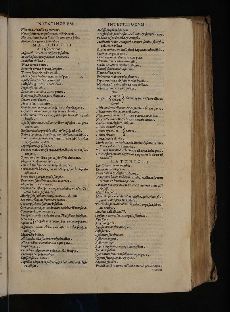 lh ^a lec INTESTINORVM Vincetoxiciradix ex meraco . Verbafciflores in puluerem triti c epoti . Herba trinitatis,aut ftillatitia eius aqua pota Momordica farina potui data . Mi AG OBI LO LJ Ad.Dyfentericos. vAfpalathi decoctum clyflere infufum. Myrrha fabe magnitudine deuorata . Lentifcus ebibita . Piceg cortex potus . Maceris cortex in potu [umptus . Paliuri folia zr radix baufla . Acute [pina frutfus deuorati uel poti . e Rubi canim fructus deuoratus . Cifti folia e cytini in potu data . Hypocifüis baufla. Ladanum cum uino uetere potum . Rofarum fruttus in potu fumptus - Licium potui datum.. Acacia fuccus bauftus . Glandium interior,teruiorq; tunica decoa pota . Cajlauearum interior pariter tunica ebibita . Galla ompbacitis ex uino , aut aqua trita illita , aut baufla . | Rbois foliorum deco&amp;lumclySlere infufum , uel potu acceptum . Eiufdem femina pro fale cibisyob[onijsá; afperfa . Talia inaolucri decotium tum infufumytum bibitu . Punicorum acidorum nuclei ficcati c ebibiti , uel in dejeffionibus additi . Myrti femen e folia pota , Cotonea mala come[a crudasuel co&amp;layuel eorum fuc- cus potus. Pyra tamdome$slica quam fylueftria denorata , Mefpila in cibum accepta Loti arboris bacca comefle,uel hauste. Corni arboris bacca yfiue in edulijs , fiue in defruto affumpta . Sorba ficca quoquo modo fumpta . Prunorum fylucflrium bacce deuorata . Siliqua ficcate deuorata . lenus inquit ) efui date. Siluri pifcis falfamentum fomento adhibitum . Leporinus fanguis frixus deuoratus . Garum pifcium clyfmate infufum . i Ceruinum cornu potum duorum cocbleariu menfura . Cerain forbitionibus data. Lac ignitis inie£is calculis deco&amp;fü clyflere infufum o Leporini Equinum Afparagus altilis elixus y uel affus in cibo fumptus mitigat, Idea radix bibita . Altheg decocta fuccus ex uino.haustus , Alcee radices cum uino, aut aqua pote. Phyllitis pota . Portulaca ad fummum coa in cibis fumpta.» Plantago per fedem infufa . Equifeti fuccus potus .. Caprillus adeps cum polentayetr rboe datus, uel clyfle re infufus . $ coagulii trit obolo.podere ex uino potum. INTESTINORVM Meliffopbyllum bibitum . Tragiii (colopendra fimile elixumyer [umptit z cibo . Faba in pofca decotía ci come[a.. Alifmatis radix cum pari pondere. feminis fylueflris pastinaca bibita . Oxylapatbi aut oxalidis fem 2 aqua aut uino bibite Ly[imacbia potui data . T'ragicacumina decem in uino pota . Clematis folia cum uino baufla . Stebis deco&amp;um clystere infufum . Limonij [emen in uino potum . Elatine elixa pota . . Polemonij radix ex uino fumpta . Eupatorij femen etr folia in uino hausta . IN ympbee ficcata radix ex uino ebibita. Sedum maius cum uino potum . „Hirci : Sanguis 3 t 3 z fartagine frixus Y cibo süptus, “Cerni Vitis uinifere foliorum, er capreolori fuccus potus V inaceorum decolium ebibitum . V inaceorum nuclei in farinam polente modo illiti . V ua pafJa alba comefa per fe cum fuis nucleis . Ompbacium clyflere infufum . Vinum enantbiuum Vinum cydonites f potum . Vinum.rhoites Terra lemnia ebibita . Mauria clyfinatibus infufa,ubi diutina dyfenteria inte- flina exulcerata extiterint . Scordium duarum dracb.podere cii aqua dulci poti’. Hedera flores trium digitorum carpta bis in die ex ui no hausti. MA DIESE E QUII Lentifcinum oleum infofum . Rofaceum oleum potum. T bus potum c clyflere infufum . Armenium lutum unà cum corallio, masliche, cornu ceruino e haematite potum . e fui. Maliches pota . Millefolij fuccus cly$teribus infufus, quinetiam ficci farina cum epota tum infufa . Potentilla potasaut uiridis in calceis impofita fub nu- dis pedibus» . . Succinei pasiilli hausti . cre[pini uuarum fuccus in potu fumptus . Vua [pina . Ribes uulgaris . Liguflrinorum florum aqua. Cifti flores . Rofaceum [accbarum . Rofarum ungues , Rofarum calyx. Rofarum [emen cr lanugo circunflans . Licium infufum. Quernorum foliorum füllatitia aqua pota . Querna foliayglandes ci galla . Faginea glandes . Punica mali in furno tosiumytritumá; potuidatym x Punica