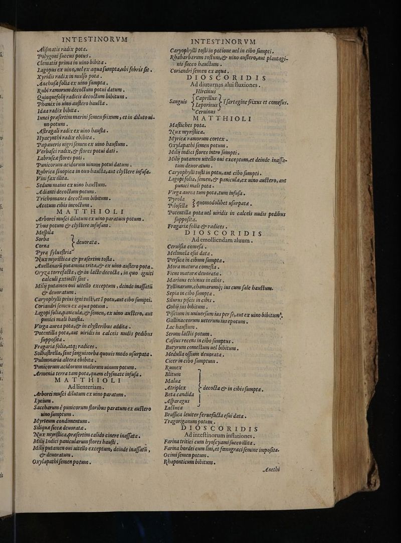 Wh. T MN D——— M INTESTINORVM Alifmatis radix pota. Polygoni faccus potus, Clematis prima in uino bibita . M Lagopus ex uino,tiel ex aqua [umptayubi febris fit . Xyridis radix in mulfo pota . Anchufa folia ex uino fumpta . Rubi amorum decoctum potui datum . Quinquefolij radicis decocfum bibitum . Phænix in uino auflero hausta . Idea radix bibita . Iunci praefertim marini [emen frixum y et in diluto ui- nopotum . Aftragali radix ex uino baufla . Hyacyntbi radix ebibita . Tapaueris nigri femen ex uino bauflum . Verba[ci radixser flores potui dati . Labrufca flores poti . Punicorum acidorum uinum potui datum . Rubrica finopica in ouo baufiayaut cly$lere infufa. Vini fex illita. Sedum maius ex uino haustum. Adianti decottum potum . Trichomanes decot£um bibitum. Acetum cibis incocfum . MATTHIOLI Arborei mufci dilutum ex uino paratum potum . Thus potum c clyStere infufam . Me[pila E bo t deuorata . Corna i Pyrą fylueftria Nux myristica er praefertim tofla . JAuellanarii putamina trita;ef ex uino avflero pota . Oryza torrefatta erin lattedecotfa , in quo igniti calculi extincti fint . Milij putamen oui uitello exceptum , deinde inaffatis e? deuoratum > Caryopbylli prius igni tosthet ? potuyaut cibo fumpti. Coriandri [emen ex aqua potum . Lagopi foliaypanicule, c femen, ex uino au$lero, aut panici mali baufla. Virga aurea potayc in clyfteribus addita . Potentilla potayaut. uiridisin calceis nudis pedibus Juppofita . Fragaria foliaatq; radices . Solbafirella, fiue fangnisorba quouis modo ufarpata . Pulmonaria altera ebibita . Punicoruim acidorum inalorum uinum potum . Armenia terra tam potayquam clyfmate infufa . M. A'FOT HOPSOS I Adlienteriam. Arborei mufci dilutum ex uino paratum . Lycium . Saccharum è punicorum floribus paratum ex austero uino fumptum . Myrteum condimentum . Siliqua ficca deuorata . Nux myriflicasprefertim calido cinere inafata. Milij Indici panicularum flores baufli . | Milj putamen oui uitello exceptum, deinde inaffatii , e deuoratun . Oxylapatbi (emen potum . INTESTINORVM Caryopbylli toftiin potione uel in cibo fumpti . Rbabarbarum toflumycir uino au[leroyaut plautagi- nis fucco haustum. Coriandri femen ex aqua . DIOSCORIDIS Ad diuturnas aluifluxiones . Hircinus S pens t 1 [artagine frixus et come[us. Ceruinus ? MATTHIOLI Map[liches pota. Nux myriflica. Myrica ramorum cortex . Oxylapatbi femen potum . Milij indici flores intro fumpti . Milij putamen uitello oui exceptum;et deinde ina[a- tum deuoratum . Caryophylli tofti in potu, aut. cibo fumpti . Lagopi folia, [emensetr paniculeyex uino auflero, aut punici mali pota . Virga aurea tum pota;tum infufa . bur g quomodolibet ufurpate . Potentilla pota uel uiridis in calceis nudis pedibus fuppofzta. Fragari2 folia et radices . DIOSCORIDIS Ad emolliendam aluum . Ceruifia comefa . Melimela efui data . Perfica in cibum fumpta. Mora matura come[la . Ficus mature deuorata . Marinus ecbinus in cibis , Tellinarum,chamarumá; ius cum fale haustum. Sepia in cibo fumpta . Silurus pifcis in cibis . Gobij ius bibitum . Pifcium in uniuerfum ius per fe,aut ex uino bibitum. Gallinaceorum ueterum us epotum. ' Lac bauflum . Serum lacis potum. Cafeus recens in cibo fumptus . Butyrum comesium uel bibitum . Medulla offium deuovata . Cicer in cibo fumptum . Sanguis Rumex An Blitum | Malua Atriplex t decolía čr in cibis fumpta . Beta candida Afparagus | La(íuca Braffica leuiter feruefata efui data . Tragoriganum potum.. DIOSCORIDIS Adinteftinorum inflationes . Farina tritici cum byo[cyami fucco illita . Farina hordei cum lini,et fenugvaci femine impofita. Ocimi femen potum. Rbaponticum bibitum * Anethi