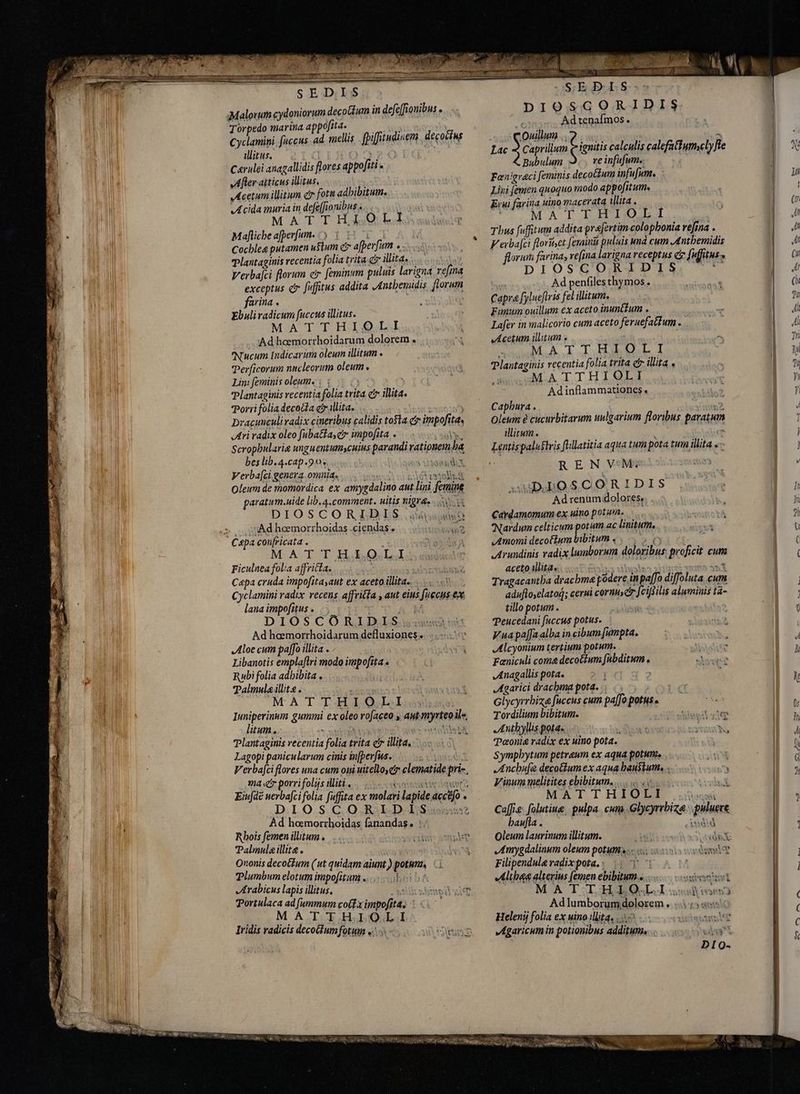Malorum cydoniorum decočtum in defe[fionibus . Torpedo marina appofita. — — P Cyclamini fuccus .ad mellis . fpifitudinem decocius illitus, LI )20 Carulei anagallidis flores appofíti - Aferatticusillitus, Acetumilitum cr fotu adbibitum. Acida muria in defe[fionibus . | MATTH OLI Maflicbe afþerfum >) 3 11 i Cochleg putamen uStum c afperfim e. Plantaginis recentia folia trita cf illita.  Verbafci florum er feminum puluis larigna refina exceptus er fuffitus addita Anthemidis florum farina. f p Ebuli radicum fuccus ilitus. MATTHIOLI Ad hoemorrhoidarum dolorem . Nucum Indicarum oleum illitum . TPerficorum nncleorum oleum Lim feminis oleum | i... Plantaginis recentia folia trita c illita. Porri folia decoa etr. illita, i PA vacunculivadix cineribus calidis tota gr impofita. Ari radix oleo fubattay e impofita EM Scropbularie unguentum cuins parandi rationem ba bes lib. 4.cap.9.0* SERE ET Verba[ci genera omnia... ssi sinas Oleum de momordica ex amygdalino aut lini femine paratum.uide lib.4.comment. uitis vigas... DIOSCORLBIS. sso (> n uAd hemorrhoidas .ciendas. hc Capa confricata . sid MATT H.lQ.LJI Ficulnea fol'a affricta. | Capa cruda impofitayaut ex aceto illita.. Cyclamini radix recens affritla , aut eius fuccus ex lana impofitus . AM DIOSCÕRIDIS Ad heemorrhoidarum defluxiones. Aloe cum paffo illita . Libanotis emplaflri modo impofita Rubi folia adhibita , Talmula illit . TASA MÀ T TDI O Lha Iuniperinum gummi ex oleo rofaceo y aut.myrteoile, litum. Me ND TER E a ATAVAA Plantaginis recentia folia trita cr illita, Lagopi panicularum cinis in[pevfus. yiii Verbafci flores una cum oii uitelloyctr clematide pri~, viae porrifolys ilitie pos scott Eiufdé uerbafci folia fuffita ex molari lapide acctfo . Ad hæmorrhoidasi fanandas. |; Rhois femen litum... Ononis decotZum (ut quidam aiunt.) potum, C. Plumbum elotum impofitum «1 5 Portulaca ad fummum coffa impofita. DIOSGORIDIS 2s Adtenafmos. « COoullum .. a Lac <2 Caprillum ipai calculis calefatiumelyfte È Bubulum 3. reinfufum.. Fanigraci feminis decotium infufum. ` Liri [emen quoquo modo appofitum. Erui farina uino macerata illita . MA I DHIUIDII Thus fuffitum addita prafertim colopbonia refina . florum farina, refina larigna receptus cz fuffitus, DIOSCORIDIS e ? Ad penfilesthymos. Capra fylueftris fel illitum, Fimum ouillum ex aceto inunttum . | Lafer in malicorio cum aceto feruefattum . JAcetum illitum s Ra M.A TDH ROL I Plantaginis reçentia folia trita ct illita « MATTHIOLI Adinflammationes. Capbura . | EEES Oleum e cucurbitarum uulgarium floribus paratum illitum.. d Lentis palustris füillatitia aqua tum pota tum illita «- REN VM; 3 sugpLOSCORIDIS Ad renum dolores, . Cardamomum ex uino potum. 'Nardum celticum potum ac linitum. vAmomi decoflum bibitum «c Arundinis radix lumborum doloribus, proficit cum aceto illita, Ms abusi | TR Tragacantba drachma podere in pafo diffoluta cum adufloelatoq; cerui cornus dr Jciffilis aluminis ta- tillo potum. i Peucedani fuccus potus. i2 Vuapaf[faalba in cibum [umpta. Alcyonium tertium potum. Feniculi come decoétum fubditum Anagallis pota. 4 2 Agarici drachma pota. .. p Glycyrrbiza fuccus cum pafo potus. Tordilium bibitum. 2: wei yie Anthyllis potaa «|. s Pæonig radix ex uino pota. Symphytum petreum ex aqua potum, ANM Anchufe decotlum ex aqua haustum. . Vinum qelitites ebibitum...... w ai | MATTHIOLI odii Caffis folutiue, pulpa. cum. Glycyrrbiza. puluere pit baufla . Add Oleum laurinum illitum. Lis SIN AT Amygdalinum oleum potum. x saioa: MEN g Filipendule radixpota.: ii T T j Altheg alterius [emen ebibitum «........ osi M A TTH L O«L.I o8 ies Adlumborum dolorem s sips yo Agaricumin potionibus additum... aie. AAA