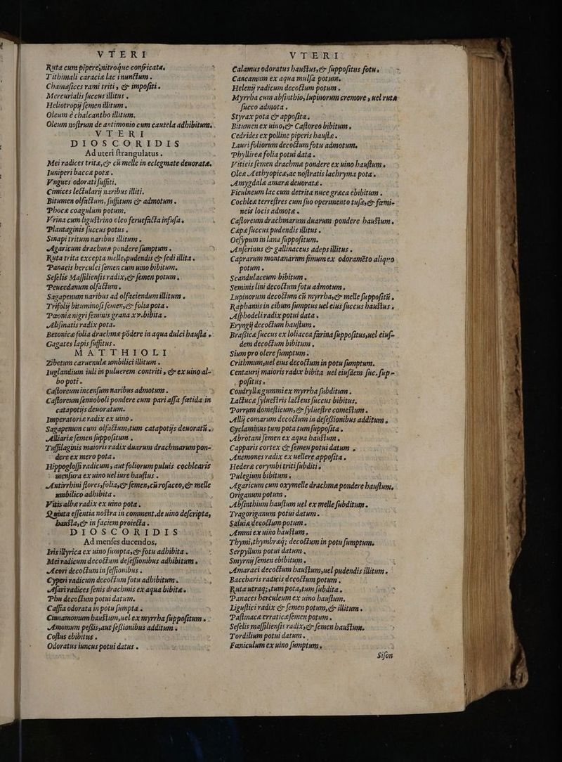 Snell aiu l--- Ruta cum pipereynitroque confricata, T'itbimali caraci&amp; lac inunttum . Cbamapfices rami triti , e impofiti . Mercurialis fuccus illitus Oleum è chalcantbo illitum. Xs «EARS Ad uteri ftrangulatus . Iuniperi bacca potz. Vngues odorati fuffiti. Cimices lectularij navibus illiti. Bitumen olfattum, fuffitum ec admotum . Phoce coagulum potum. Ruta trita excepta mellepudendis et fedi illita . Panacis berculci femen cum uino bibitum. Sefelis Maffilienfis vadixye femen potum . Peucedanum olfattum , Sagapenum naribus ad olfaciendum illitum . Trifolij bituminofi femensctr folia pota . Peonienigri feminis grana xv.bibita . Alifmatis radix pota. Betonice folia drachme podere in aqua dulci haufta e: Gagates lapis fuffitus . Zibetum caruenule umbilici illitum . 1uglandium iuli in puluerem contriti , ej ex uino al bo poti - Ca[loreum incenfum naribus admotum . Caf[loreum femioboli pondere cum pari affa fetida in catapotijs deworatum. : Imperatoria radix ex uino . Sagapenum cum olfatiumytum catapotijs deuoratii ..; Alliarie femen fuppofitum . Tuffilaginis maioris radix duarum dracbmarumpon- dere ex mero pota Hippogloffi radicum, aut foliorumpuluis cochlearis : menfura ex uino uel iure bauftus . Antirrhini floressfoliayer femen că rofaceo,er melle ambilico adhibita . Vitisalba radix ex uino pota. Wi Q wiuta e[Jentia nostra in comment de uino defcripta, bausla,cir in faciem proietfa . Ad menfes ducendos, Iris illyrica ex uino [umptasetr fotu adhibita . Meiradicum decotfum defz[fionibus adhibitum , Acari decotTum in fe[fionibus . Cyperi radicum decotfum fotu adhibitum. Afari radices fenis drachmis ex aqua bibite» Pha deco(fum potui datum. Caffia odorata in potu fumpta « Cinnamomum bau$tum,uel ex myrrha fuppofitum » . Amomum peffisyaut fefsionibus additum . Coflus ebibitus . Odoratus iuncus potui datus . Calamus odoratus baufius,e fappo[itus fotu. Cancamum ex aqua mula potum, Heleny radicum decottum potum . Myrrha cum ab[intbioylupinorum cremore , uel ruta Styrax pota cr appofita. Bitumen ex uinoyctr Caftoreo bibitum , Cedrides ex polline piperis haufte . Laurifoliorum decoiÍum fotu admotum, Pbyllirea folia potui data . Olee Aethyopicg,ac noflratis lacbryma pota. Jmyadala amara deuorat4 . Ficulneum lac cum detrita nuce greca ebibitum . Cocble« terreflres cum fuo operimento tu[2yetr fæmi-= neis locis admota . Ca[floreum dracbmarum duarum pondere haustum, Anferinus e gallinaceus adeps illitus . Caprarum montanartm fimum ex. odoraméto aliquo potum , Scandulaceum bibitum , Seminis lini deco(fum fotu admotum , Lupinorum decoctum cit myrrbayer melle fuppofitii , Raphaniis in cibum [umptus uel eius faccus bausius A[pbodelivadix potui data . Eryngij decotfum bauflum . Braffice fuccus ex loliacea farina fuppofitus,uel eiuf- dem decotíum bibitum , Critbmumyuel eius decotum in potu fumptum. centaurij maioris radix bibita uel eiufdem fuc. fup- pofitus Condrylle gummiex myrrha fubditum . Lattuca fyluestris latteus fuccus bibitus, Torrum dome[licumyer fylaeftre comestum . Alli comarum decocfum in defeffionibus additum . Gyclaminus tum pota tum [uppo[ita . Abrotani [emen ex aqua bausium . Capparis cortex c femen potui datum „Anemones radix ex uellere appofita . Hedera corymbi triti fubditi s pulegium bibitum, . Agaricum cum oxymelle drachme pondere bauflusg, Origanum potum , Abfintbium hauftum uel ex melle fabditum. Tragoriganum potui datum. Saluie decotfum potum. Tbymistbymbraq; decoéfum in potu [umptum, Serpyllum potui datum, Smyrnij [emen ebibitum . JAmaraci decoctum bautium;uel pudendis illitum. Baccharis radicis decotfum potum . Ruta utraq;stumpotastum [abdita . Panaces berculeum ex uino bauflum. Liguflici radix c femen potum, et illitum . Pa[lmaca erratice [emen potum. Sefelis ma[filienfis vadixye femen bauflum. Tordilium potui datum. Feniculum ex uino [umptum, | Sifon