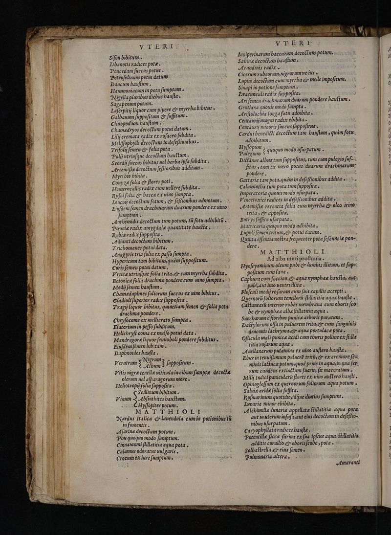 V TiEZRUI Sifon bibitum . Libanotis radices pote . Peucedani fuccus potus . Tétrofelinum potui datum Daucum bauflum . Hammoniacum in potu [amptum . Nigella pluribus diebus baufla - Sagapenum potum. Y^ Laferpity liquor cum pipere c myrrha bibitus . Galbanum [uppofitum er [uffitum > Clinopodium bauftum . Chamadryos decoctum potui datum . Lilij cremata radix ex vofaceo fubdita . aeliffopbylli deco&amp;um in defeffionibus . Trifolij femen ci folia pota . Polij utriufque decoctum baustum . Seordij fuccus bibitus wel berba ipfa fubdita . 3 Artemifie deco&amp;um feßionibus additum . Myrybis bibita . Conyza folia er flores poti . Hemerocallis radix cum uellere fubdita Rufei folia cr bacca ex uino fumpta . Leucoij dccotdum fotum , c feffionibus admotum . Eiufdem femen dracbmarum duarum pondere ex uino . fonptum . Antbemidis decotlum tum potum, tù fotu adbibità . Paoni&amp; radix amygdalae quantitate hausta . Rubieradix [uppofita . ,Adianti decolum bibitum e Tricbomanes potui data. Anagyris tria folia ex pa[fo fumpta . Hypericum tam bibitum quàm [uppofitum. Coris femen potui datum . Vica utriufque foliatvita,eiy cum myrrha fubdita . Betonice folia drachme pondere cum uino fumpta . Medij femen bauftum . Cbamadaphnes foliorum fuccus ex uino bibitus . Gladioli fuperior radix fuppofita . Tragij liquor bibitus, quinetiam femen čr folia pota dracbma pondere . Chryfocome ex mellicrato fumpta e Elaterium in pefo [ubditum. Helicbryfi coma ex mulo potui data . Mandragore liquor femioboli pondere fubditus Eiu[dem femen bibitum . ; Dapbnoides baufla . igru. j Veratrum deve: fuppofitum . V itis nigra tenelle uiticulaincibum funpte deco olerum uel afparagorum more . : Heliotropij folia fappofita . Scillinum bibitum . Vinum 2 Abfinthites haustum. «A MENT opites potum . MATTHIOLI . Nardus Italica € lanendula cumin potionibus tá in fomentis . « Afarine decoctum potum. Phu quoquo modo fumptum. Cinnamomi ftillatitia aqua pota . Calamus odoratus uul garis > Crocum ex iure [umptum « dd aaa NOM LI UV AUI VETERE tuniperinarum baccarum-decottum potum. Sabine decottum bauftum . Arundinis radix -+e Cicerum rubeorum,nigrorumyve ius « Lwpini decotfum cum myrrha ei melle impofitum. Sinapi in potione famptum . Dracmculivadix fuppofitas ) Ari femen dracbmarum duarum pondere baustum . Gentiana quouis modo fumpta . Ariftolochia longa fotu adhibita . Ceutaurij magni radix ebibita . Centauri minoris fuccus fappofitus . | Cardui benedi&amp;li deco&amp;ium tam bauflum , quàm fotu, adbibitum . SUE lios $ quoquo modo nfurpatum . Ditlanus albus tum fappofitus, tum cum pulegio [uf- . fitus » tum ex mero potus duarum dracbmarum- pondere . ; Gattaria tam pota,quám in defefdionibus addita . Calamintha tum pota tum fuppofita . Imperatoria quouis modo u[urpata . V incetoxici radices in de[efSionibus addita . Artemifie recentia folia cum myrrha er oleo irino trita , et appofita. s Botrys fffitu ufarpata . Matricaria quoquo inodo adhibita . Lupuli [emen tritum, cir potui datum . x Quinta effeutia nostra frequenter pota fefcuncie pon- dere . | M AILUDH:EQ LI Ad alba uteri profluuia . i Hyofcyaminum oleum pubi e lumbis illitum, et fup-: pofitum cum lana . Capbura cum fuccino,et» aqua mympbas hausta; aut: -pubisaut imo neutri illita . Flofculi medij vo farum cum fuis capillis accepti . Quernorü foliorum tenellorüi flillatitia aqua baufla . Caftanearii interior rubes membrana cum eboris fco be e nympha alba [ullatitia aqua . Saccharum 6 floribus punica arboris paratum . patiylorum offa in puluerem trita, cr cum fanguinis - draconis lacbrymaset aqua portulace pota. Officula mali punica acidi cum thuris polline ex fila - titiarofarum aqua . Auellanarum putamina ex uino auftero baufla . Ebur in tenuiRimum puluere tritiyer ex cremore fex, sinis latiuca potum,quod prius in aquayin qua fer. rum candens extinttum fuerit, fit maceratum , Milij indicipaniculari flores ex uino austero baufti . Opbiogloffum ex quernorum foliorum aqua potum . Salui&amp; arida folia fuffita. t Rofmarinum quotidie,idque diutius [umptum . Lunaria minor ebibita. ; Alchimille lunarie appellate Stillatitia aqua pota aut in uterum infu(ayaut eius decoctum in defeffio- nibus ufurpatum . | Caryopbyllatavadices.baufla . potentille ficce farina ex fua ipfius aqua. $tillatitia additis corallio c? eboris fcobe ; pota . | Solbafirella,c eius femen. Pulmonaria alteras — . ) Amaranti MS n 9D, tg Ca A B» a Co