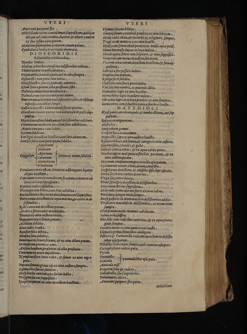 Amaranti purpurei flos .  Millefolium recens contufamyet fappofitumy pubique illitum uel cum corallios faccino qt eboris rametis ex fua ipfius aqua potum. Malorum punicorun acidorum uinum potum.» Cymbalaria berba in acetarijs deuorata. DIOS G: QR I.D.I.S$ Ad'menfes cohibendos. Nardus Indica: Mufcus arboribus innafcens infeffionibus additus . Tburis cortex in pe[fo [abditus s Oxyacantba baccein potusuel in cibo fumpta . Hypoci$tis tum pota tum indita.. Olea [ylueflris fuccus padendis.admotus . Rhois femen potum, alba profluuia fiflit « Palmula immature manducat . Talmularum inuolucrum potui datum. Tunicoram aciiorum nuclei ficcati in fole, et obfonijs in[berfi, concot£«ue [ampti . Galle in decotl:s addit &amp; ad. infaffwones paratae . j Glandium tenuior cortex tum bibitussta in paffo [up pofitus .. a si : Myrti femen fotu fabditum;uel de[cfJjonibus- additum. Cotoneorum malorum decoctum fotu adhibitum. Acacia tum pota tum indita, Lycium fubditum . Loti ligni decotium bausiumsaut fotu admotum. Lentifci folia tam pota quam fubdit. cLeporinum ~ Hedinum i Agninum Ceruinum | Hinnulinum -Vitulinum 7 i. Ceruinum cornu uftum, lotum ex adflringenti liquare aliquo baustum . TU Caprarum tnontanarum fimum ficcatumytritumyve cit. thure in lana fafpofitum « Rumicis radices fubdit wise Plantago tum bibitaytum fotu adbibita . Barba bircina fuccus e uino famptussuel fuppofitus Porricoma decotlumex aqua marina xg- aceto inde . feffionibus . ET Rubi ramorum decoctum potum . Arabice (bineradix manducata , Phenix ex uino auflero bibita . Papaueris nigvi femén potum v... e Achillga fabdita . Idea radix haufai : Equifcti folia bibita « «>. Mentha fotu fubdit. set Iunci marini femen frixum, ct» ex uino diluto potum. Ocimaflrum potum ex uino . Anifumhaufumsprafertim ad alba profluuia s Cuin'um ex aceto impofitum . | Nymphaea flore luteo radix , e femen ex uino nigro pota. | ; Pæonig feminis grana xij.ex nino auflero fumpta» Lyfimacbia fuccus fubditus . Moly berba cum loliacéa farina indita . Polygoni fuccus [uppofétus . : Syupbytipetrai ex uino decotlum bauflum . Coagulum potum ac etiam fubdità . VTENHY Clymeni fuccus bibitus . ! Limonij femen acetabuli pondere ex uino bibitum . Medij radix elixa,e ex melle in. eclegmate fumpta, Tragi viciiti numero.x.ex uino bausti, Hyofcyami femen oboli pondere in mulfa aqua potis. Solantbortenfis fuccus in lana inditus . Mandragora femen cum [ulpbure, c? uino fuppofitū . Semperuiuum maius ii uellere [abditum. Vuarum ninaceorura decocium haustum, fotu ap- pofitum . Labrufca flos pe[Tulo inditus . Omphacium inditum . Rubigoferri fabdita . Cbalcitis cum fucco porri indita. Vini fax imo uentris, ac pudendis illita. Hematites lapis ex uino haustus. Morocbtbus lapis in uellere inditus . Ofiraçites lapis drachme pondere ex uino fumptus . Samia terra cum fylueflris punica floribus baafla . M-ACLDCEGEIIOO-LOI Hyofcyaminum oleum pubi c lumbis illitum, aut fup pofitum . Rofaceum unguentum s Mapfliches . luniperinum gummi . Cre[pini baccarum uium , Hypocistis fepe ex uino. au[lero hausta. RoJacearü baccarū femenset- lanugo ex uino aufleo.. Q uerna folia, Glandes e? galla . Suberis cortex tritus , ci» ex aqua calida potus. Saccharum ex mali punica floribus paratum y cir ex uino austero potum . Myrteum condimentum pro intin&amp;u ufurpatum. Cydoniorum uinum, Mina oleum confectio.. Mefpilorum decoctum, c» Mefpila ipfa fepe efitata .. Corna faccharo condita deuorata . Virga fanguines bacca. Trani fyluefiris decanum in defe[fionibus . Leborinum [lercus fuppofitum. Mali indici panicularum flores ex uino rubro , Portulaca quoquo modo fumpta , Bur[a pa[toris tii deuoratastis in defe[Tionibus addita . Perficaria maculofa in defe(Tonibus , ac etiam intus fumpta . Cbelidonium maius mammis adhibitum. Saluia arida fuffita. Ne Flos folis cum radicibus contritus, et ex aqua planta ginis (umptus . Lunaria minor ex uino punicorum bau[la . Clematis prima femoribus adalligata . Eiflorta c» Tormentilla radicum deco(Íum in defeffio nibus ufurpatum. Pilofella ta in corpus [umpta,qua exterius ufurpata . Caryopbyllate radices pota. Pyrola 3 i tentilla = (s y s uus. C quomodolibet ufurpata . Auricula urfi” ! Fragaria&amp; folia et radices . Solbaflrella, feu fanguiforba . Tulmonaria altera . JILmaranti purpurei flos potus » Millefolium pr Me