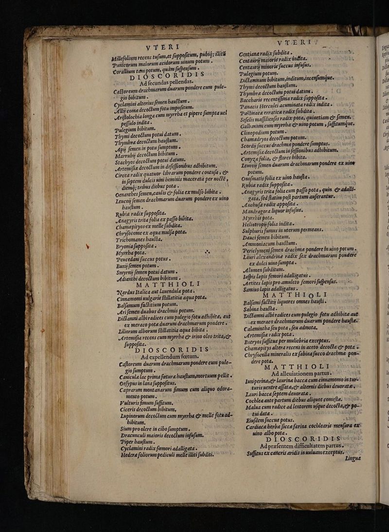 Millefolium recens tufum,et fuppofitum, púbiģ; iiti Tunicorum m | Corallium tdm potum; quàm fufpenfum . DIOSCOR Ad fecundas pellendas. Catoreum drachmarum duarum pondere cum pule- - gio bibitum . Cyclamini alterius femen haustum » Alli coma decottum fotu impofitum. Arißtolochia longa cum myrrha et pipere fumpta uel e[fulo indita . pulegium bibitum. — Thymi decotfum potu datum. Tbynbra decottum bauflum. Apij femen in potu famptum . Marrubij decoctum bibitum. Stachyos deco ctum potui datum. Artemifie decoGLum in defeffionibus adhibitum. Circes radix quatuor librarum pondere contufa e in feptem dulcis uini beminis macerata per nocfé , diemá; tribus diebus pota . i Oenantbes femenscanlis c folia ex mulfo Libita . Leucoij femen dracbmarum duarum pondere ex uino bauflum . | Rubia radix fuppofita. Anagyris trita folia ex paffo bisita. Chamapityos ex melle fubdita. €bryfocome ex aqua mulfa potas Trichomanes hausta. Bryonia fuppofita » Myrrha pota. =` ae, s Peucedani fuccus potus . t Bunij femen potum . Smyrnij (emen potui datum . Adianthi decoĉtum bibitum . MATTHIOLI Nardus Italica aut lauendula pota . Cinmamomi uulgaris $tillatitia aqua pota, Balfamum fattitium potum. Ari femen duabus drachmis potum. Di&amp;lamni albivadices cum pulegio fotn adbibite, aut ex meraco pote duarum dracbmarum pondere « ` Liliorum alborum Stillatitia aqua bibita . Artemifia recens cum myrrba cr irino oleo trita dr fuppofita. ) DIOSCORIDIS Ad expellendum fetum. Cafloreum duarum drachmarum pondere cum pule- gio fumptum . Oefypus in lana fuppofitus. Caprarum montanarum fimum cum aliquo odora- mento potum . V ulturis fimum fufitum. Ciceris decotium bibitum, ~ Lupinorum decolium cum myrrha ey melle fotuad- bibitum. Sium pro olere in cibo fumptum » Dracunculi maioris decoctum infufum. Piper bauflum . Cyclamini radix fæmori adalligata - Hedera foliorum pediculi melle iliti fubditi- ` DEUS ML Š VTERIY Centiane radix fubdita . Centäürij maioris radix indita. Centauri minoris fuccus infufus. Tulegiunpotum. — - Ditiamnum bibitumyinditumyincenfumque. zn Tbymi deco£fum bauflum. ire Tbymbra decottuim potui datum . [4 Baccharis recenti(fima radix fuppofita . Panacis Herculei acuminata radix indita . 'Pattinata erratica radix fubdita . Sefelis maffilienfis radix pota, quinetiam e femen. Galbasitm cum myrrha e nino potum , fufftumque. Clinopodium potum Chamadryos decotum potum. Scordij fuccus drachme pondere fumptus. Artemifie decottum in faffionibus adbibitum. Conyza folia, e» flores bibita. Lencoij femen duarum drachmarum pondere ex uine otum. Onofmatis folia ex uino baufla. - Rubia radix fuppofita- SENS „Anagyris trita folia cum paffo pota, quin. čr adalli- gata, fed ftatim poft partum anferantur. yH Anchufe radix appofita « Mandragora liquor infufus. Myrrbis pota. : Heliotropij folia indita. Sulpburis fumus in uterum permeans. Dauci femen bibitum. JAmmoniacum haustum. Periclymeni femen drachme pondere in uino potum . Lauri alexandrine radix fex dracbmarum pondere ex dulci uino fumpta . | Alumen (abditum. Iofpis lapis femovi adalligatus . Aetites lapis pro amuleto femori fufpenfus. Samius lapis adalligatus . MATTHIOQLI Balfami fattitij liquores omnes baufli . Sabina hausta. pi&amp;amni albi radices cum pulegio fotu adbibite aut .ex meraco dracbmarum duarum pondere baufle- Calamintha feu pota , fen admota. l Artemifie radix pota. và Botryos fuffitus per muliebria exceptus. r Cbamapitys altera recens in aceto decotfa cb pota + dere pota. MATTHIOLI Ad alleuiationem partus «' E luniperine; c laurine baccá cum cinnamomo'in tur- turis uentre affata, cr alternis diebus deuovata, Lauri bacca feptem deuorata . | Cocblee ante partum diebus aliquot comeftæ. ' :tui data. giu[dem fuccus potus. uino albo pota . Ad prafentem difficultatem partus “°? Suffitus ex cañcris aridis inuuluamexceptus, Lingua E