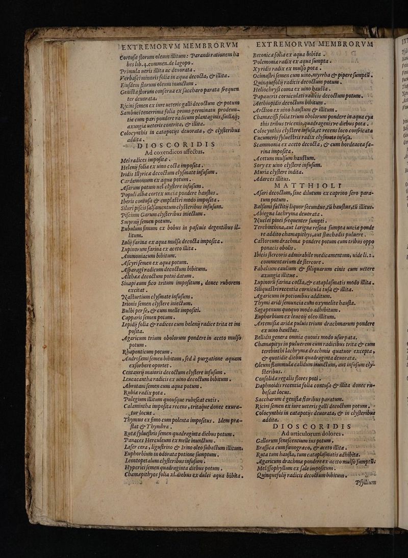 UEXTREMORVM RORVM Cortu[e florum oleum illitum : Tarandirationem ba es lib. 4.commen.de lagopo . Primula ueris illita ac denorata . A Verba[ci minoris folia in aqua decoa, c» illita. Eiufdem florum oleum tuuntium . Geiiste florum conferua ex faccbaro parata frequen. ter deuoratas Ricini femen ex iure ueteris galli decotfum e potum Sambuci tenerrima folia primo germinat prodeun- tia cum pari pondere vadicum plantaginis;fuillaq; axungie ueteris contrita, e illita. FA Y Colocyntbis in catapotis deuorata» C clyfteribus. addita . -—DDOSsCORIDIS Ad coxendicos affectus. Meiradices imipofite «0 i Helemij folia ex uino cotta impofita « vidis illyrice decothum clyfmate infufum » Cardamoimmum éx aqua potum . farum potum uel cbyflere infufum . populi alba cortex uncie pondere bauflus . Iberis contufa ci emplafiri modo impofita « Siluri pifcis falfamentum clysteribus infufum. Pifctium Garum clyfleribus initum . Smyrny femen potum. gubulum fimum ex bobus in pafcuis degentibus il- litum. Lolij farina ex aqua mul[a decotta impofita . Lupinorum farina ex aceto illita . Ammoniacum bibitum. Afcyri femen ex aqua potum. JAfpavagivadicum decottum bibitum. JAltbe decoctum potui datum . Sinapi eum fico tritum impo[itum , donec ruborem excitat . Nasturtium clyfmate infufum . Irionis femen clyftere iniettum, Bulbi per fe, ct» cum melle impofitis Capparis femen poium . : Lepidij folia ei radices cum heleni radice trita et im: pofita. k ; Agaricum trium obolorum ponderein aceto mulfo potum. «M. exforbere oportet . Centaurij maioris decoctum clyftere infufum . Leucacantha radicis ex uino decotfum bibitum . Abrotani femen cum aqua potum . Rubia radix pota . í Pulegium ilitum quoufyue rubeftat cutis - Calamintha impofita recens ytritaQue donec exura- - tur locus . : i; Thymus ex fimo cum polenta impofitus . Idem pře- Ruta fylueftris femen quadraginta diebus potum « Tanaces Herculeum ex melleinuntium . KR Lafer cera , liguftrino c Irino oleo fabaétum illitums Eupborbiuin in odorata potione fumptum . Leoutopetalum clyfleribus infufum ; Hyperici femen quadraginta diebus potum . | Cbamepitbyos folia xl.diebns ex dulei aqua bibita. bd e S ai onn pn EMBRO RVM Betonice folia ex aqua bibita ; Polemonia radix ex aqua fumpta « Xyridis radix ex mul[o pota . Ocima[lri femen cum uinoymyrrba er pipere [umptiá . Quinquefolij radicis decotlum potum . RE Heliocbryfi coma ex uino hausta . Papaueris corniculati radicis décoffum potum. ` iAetbiopidis decoctum bibitum . Artlion ex uino hauftum etr illitum . CbamacifJi folia trium obolorum pondere in aqua cya this tribus tricenisquadragenisve diebus pota . : Colocyutbis cly$tere infufaset recens loco confricata Cucumeris fyluestris radix clyfmme infufa. x Scammonia ex aceto decoéka , cz cum hordeacea fa- rina impofita. Acetum mul[um haustum. Sory ex uino clyflere infufum. Muria clyftere indita. Adarces illitus. ; MATTHIOLT Afari decoctum, fiue dilutum ex caprino fero para- tum potum. Bal(ami fattitij liquor fecundus tù bauflusstz illius. Nuclei pinei frequenter furnpti . 5 Terebintbinaaut larignavefina fumpta uncie ponde re addito chamapithys;aut [lecbadis puluere. Castoreum drachme pondere potum cum tribus oppo ponacis obolis . à Ibicis flercoris admirabile medicamentum, uide li. 2. commentarium de flercore . Fabalium caulium e filiquarum cinis cum uetere axungia illitus . Lupinoru farina cotíayet cataplafmatis modo illita e Siliquastrivecentia cornicula tufa ctr illita. Agaricum in potionibus additum. Tbymi aridi [emuncia cum oxymelite baufla. Sagapenum quoquo modo adbibitum . Eupborbium ex leucorj oleo illitum. Artemifie aride puluis trium dracbmarum pondere ex uino haustus: à e Bellidis genera omnia quouis modo ufarpata. Chamapitys in puluerem cum radicibus trita c cum Òleum flammula calidum inuntiumy, aut infufum cly- Steribus. : / Confolida regalis flores poti e = - Dapbnoidis recentia folia contufa et illita donéc ru- befcat locus. Saccharum e genifla floribus paratum. Ricini femen ex iure ueteris galli decoctum potum .' Colocyntbis in catapotijs deuoratas cr. in cbyfleribus additai: i piae NM es wA - Ad articulorum dolores . Gallorum fenefcentium ius potum . Bra[fica cum fanograco, et aceto illita. = * Ruta tum bauflay tum cataplafmatis adhibita. © ==> Agaricum drachma pondéreex acero mulo fumptit Meliffopbyllum ex fale impofitum . UENS Quinquefolij radicis decotiumbibitum s: S nv Pfyliun 2