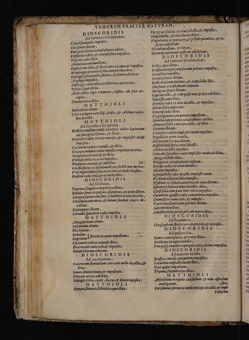 t P m puer m ~ TVMORVM PRA DIOSCORIDIS Ad tumores difcutiendos. Cancri fluuiatiles impofiti . | Lini femen illitum . wu MU Fanigr&amp;ci farina cataplafmatis addita . AU E Capparis radix » © contufa folia impofita . Wi Smyrnij radix illita. -Ammoniacum inunttum . Bupbtbalm: foliar flores cera excepta»et impofita, Mandragor£ recentiafolia cum polenta illita . Galiopfis foliascaulis; fuccus c femen adhibita . TM Aegilops impofita « TUM Diphryges cum refi Pyrites lapis illitus ZAlabvaflites lapis crematus » refina, aut pice ex- ceptus Cimolia terra illita . MATAIHIOLI luglandiwn oleum. — TUN Carica pingues cum lilij » M bus decocti - MATTHIOLI He RAT Ad cheradas.i.fcrophulas . N Wd | Muftelarum fimus melle exceptus addita lupinorum aut fenogreci farina » c illitus . UU Cruciata radix recens contufa , e emplaftri modo f d impofita . A UM Cyclamini radices contufa , &amp; illite. Cruciate minoris radix impofita in puluerem trita. Scropbularia contufa c illita. Verba[ci folia ex aceto impofita . Perfonata contu[a,c adbibita . (ti. Geuifla flores ex Rbodomelle aut forbili ouo denora- B y itis nigra radicis fuccus ex uto e melle bauflus . i Eiudem radix tufayci ex melle illita .. | DIOSCORIDIS Ad fcirrhum. Tawvinus fanguis cum polenta illitus . jh pubulus fimus ex pafcuis a[Jumptus , ex aceto illitus. Loliacea farina cum fimo columbino in uino decotta . Lini femen cum nitro , c lixiuio ficulnei cineris de- . cotium. Hydropiper illitum . Cannabis [yluestvis radix impofita . MATTHIOLI ja terebintina , aut cerato o Iridis , c Altheg radici- Amygdalinum oleum . | Sefaminum oleum .- i Pix liquida. | ubulum ; x T tO 5 stuins flercusex aceto impofitum « — +#se- Cyclamini radices contufa illite. Dracunculiradix tufayetr impofita . MI Oleum liliorum alborum. TM DIOSCORIDIS uM Ad carcinomata . dU Cancrorum fluniatilium cinis cum melle decoGius,cr apr nn iid illitus . | Irionis femen tritum, impofitum . Vtraque urtica adhibita . Galiopfis folia, caulis , fuccus etr femen impofita . MATTHIOLI Humani flercoris flillatitia aqua illita a WO WM WAT IL UTIMS PM. ox z Wot C NUT 2 M LOL T Fari0grci farina, cx uino fabatka, ei impofita. Sangu:forba c eius fuccus illitus . V unguentum ex mortarioyci pistillo plumbeo » C? Y0- faceo confectum. plumbum uflum , cr lotum. Oleum de antimonio uoflrum adbibitum . DIOSCORIDIS Ad tumores in uniuerfum . Suillus apes illitus . Bra[fica utraque concifa cum polenta impofita. - Cucurbita impofita Xantbij femen illitum . Bulbi elixi cum polenta , t» adipe fuillo illiti o Lini femen cataplafinatis inditum. Fænigraci femen illitum . Capa decota , e cum paffa uua c ficu adbibita . 'Narci[fi radix illita Bryonie radix ex uino decoGla , cr impofita . Ifatidis folia applicata. Smyrni vadix illita. Tragoriganum cum polenta impofitum .  Mentha cum polenta cataplafmatis addita. Amaraci folia cum cera cota , er illita . Daucum illitum . Libanotis radices emplasiri modo impofit&amp; . Nigella ex aceto inunéta. Bu[pbtbalmi flores cera fubatti . Althea decotía impofita . i Cannabis fylueftris radix emplaftri modo adbibita s; Anagyris folia illita . | Tolygonon cataplafmatis inditum . Xyridis radix ex aceto inuntia . Helxine impofita . Q uinquefolij radix deco&amp;ta emplaftri modo . Veibenaca fupina folia impofita . iem fyllium ex rofaceoyacetovesaut aqua illitum o Epbeineri folia ex uino decotfa , illita» Cytifi folia cum pane inter initia impofita . Cucumeris agre[lis radix cum polenta inipofita . Cbamafyces rami triti er impofiti . Tycnocomi femen cum polenta illitum. 3 Indicum inunétum . i p ini fex cruda per feyuel cum myrto illita o: DIOSCORIDIS Ad fteatomata . Ü Cbryfantbemi flores cum cerato tritie impofiti e DIOSCORIDIS Ad meliceridas. Rumex cum rofaceo , c? croco illitus. Melilotus ex aqua immüla a =n h Vua pa[fa à nucleis vepurgata tvitaci ruta impofita. DIOSCORIDIS Ad tumores ex itu... ` 1 Braffica concifa cum polenta impofita . Cucurbita emplastri modo illita . Hydropiper impofitum . Tbymus,Tbymbraque illita v MATTHIOLI Abfinthium in tegula calefattum čr nino afperfun ) 0 i adalligatum . (fita. Cari feminis farina ex melleant fapa decocta e impo Fabarum em Smt il gat pp y Jii siu pin piani nili To Jt