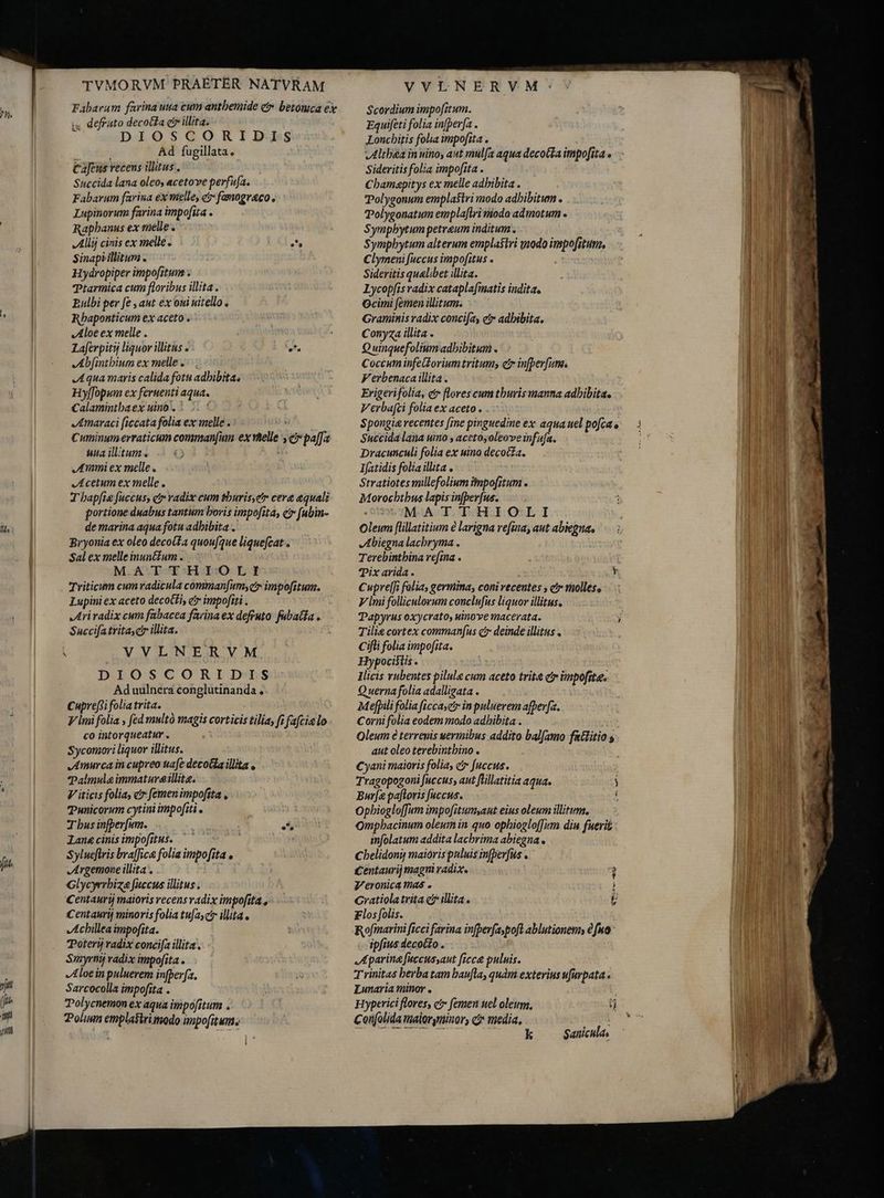 ? n. n Ii, fit TVMORVM PRAETER NATVRAM Fabaram farina uua cum antbemide ct betomca ey ux defruto decocta cir illita. DIOSCORIDIS : Ad fugillata. Cafens recens illias . Succida lana oleo, acetove perfufa. Fabarum farina ex melle, e? famograco., Lupinorum farina impofita . Raphanus ex melle. Allij cinis ex melle. s^ Sinapiillitum . Hydropiper impo[itum . Ttarmica cum floribus illita . Bulbi per fe , aut ex oui nitelo . Rbaponticum ex aceto . Aloe ex melle . Laferpity liquor illitus o ets Abfinthium ex melle s; Aqua maris calida fotu adhibita. Hyffopum ex feruenti aqua. Calamintbaex uino. | <. < Amaraci ficcata folia ex melle . : l Cuminumerraticum comman[in ex melle ser paffa uua illitum. © y Ammi ex melle, Acetum ex melle . T bapfie fuccus, et radix cum sburis,etr cere equali portione duabus tantum boris impofita, c? [ubin- de marina aqua fotu adbibita . Bryonia ex oleo deco(£a quoufque liquefcat . Sal ex melle inun&amp;fum .. ` MATTHIOLI Triticum cum radicula comman[um,e impofitum. Lupini ex aceto decotii, e impofiri . „Ari radix cum fabacea farina ex defruto: fabatda Succifatrita cr illita. VVLNERVM DIOSCORIDIS Ad uulnera conglutinanda + Cuprefti folia trita. V lmi folia , fed mult magis corticis tilia, fi fafcia lo co intorqueatur . i Sycomori liquor illitus. Amurca in cupreo tiafe decotfa illita o Talmule immatureillite. V iticis folia, e femen impofita , Tunicorum cytini impofiti . T bus infperfum. ( P Lanecinisimpofitus. ` | Sylueftris bva[fica folia impofita . Argemone illita . Yt Glycyrrbize fuccus illitus . Centauri maioris recens vadix impofita , Centauri minoris folia tu[ayct illita . Achillea impofita. Potery radix concifa illita. Smyrny radix impofita . Aloe in puluerem infper[(a. Sarcocolla impofita . olycnemon ex aqua impofitum . Polism emplastri modo impo[itum; VVLNERVM Scordium impo[itum. Equifeti folia infþerfa . Loncbitis folia impofita . Sideritis folia impofita . Cbamapitys ex melle adhibita . Polygonum empla$tri modo adbibitum . Polygonatum emplaftri modo admotum . Symphytum petreum inditum. Symphytum alterum emplastri modo impofitum. Clymeni fuccus impofitus . | Sideritis qualibet illita. Lycopfis radix cataplafmatis indita, Ocimi [emen illitum. Graminis radix concifas et adhibita. Conyza illita . Q uinquefolium adbibitum . Coccum infeGlorium tritum, c in[berfum. Verbenaca illita. Erigerifolia, c flores cum thuris manna adbibita. Verba[ci folia ex aceto. Spongia recentes fine pinguedine ex aqua uel pofca e Succida lana uino , acetosoleoveinfufa. Dracunculi folia ex uino decoa. Ifatidis folia illita . Stratiotes millefolium impofitum . Morochbtbus lapis infperfus. QUDSUMCOA TODHIO:LI Oleum flillatitium è larigna refina, aut abiepua. Abiegna lacbryma . Terebintbina refina . Pix arida . Y Cupre[Ji folia, germina, coni recentes , e? molles, V lmi folliculorum conclufus liquor illitus, Tilie cortex comman[us c deinde illitus . Cifti folia impofita. Hypocistis . Ilicis vubentes pilule cum aceto trite er inpofite. Querna folia adalligata . Mefpili folia ficcae in puluerem afper[a. Corni folia eodem modo adhibita . Oleum è terrenis uermibus addito balfamo fatlitio s aut oleo terebintbino . Cyani maioris folia, c fuccus. Tragopogoni fuccus, aut flillatitia aqua. i Bur[a paftoris Juccus. i Ophiogloffum impofitumant eius oleum illitum, Ompbacinum oleum in quo ophiogloum din fuerit imfolatum addita lacbrima abiegna. Chelidony maioris puluis infperfus . Centaurij magii radix. Veronica mas . Gratiola trita c illita . Flos folis. Rofmarini ficci farina infpev[aypoft ablutionem € fuo ipfius decocZo . Aparina fuccusaut ficce puluis. Trinitas berba tam baufla, quàm exterius ufuvpata . Lunaria minor . * Hyperici flores, c? femen uel oleum, 5 -— EXE k Saniculas