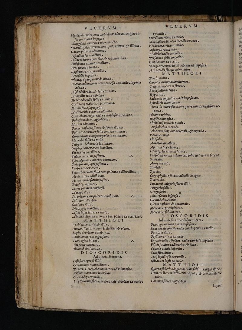 RS b ed iS — VLCERVM Myrti folia trita cum ompbacino oleo aut exiguo ro~ faceo ex uino impofita. A mygdale amara ex uino inui . ïi Smaridis pifcis crematum caput y trtum e illitum . Garum pifcium admotum . Tefludinis fel inuntzum . i Loliacea farina cum fale,c vapbano illita . Lini femen ex uino decottium . Erui farina admota . Rapbanus tritus inuntius a Beta folia impofita . Plantago quoquo modo indita . Dracunculi maioris radix concifa y ex melle , br yonia addita . ,Afpbodeli radixse? folia ex uino « Anagallis trita adhibita . Hedera deco&amp;fa folia ex uino o Cbelidonij maioris radix ex uino. 1fatidis folia fuperpofita . Ariholochia rotunda adhibita. Chamaleonis nigri radix cataplafmatis addita Pulegiumuirens appofitum . Marum admotum . Panacis afclepij flores e femen illitum . Paflinaca erratica folia contufa ex melle . Coriandrumi cum pane polentave illitum . Marrubij folia ex melle . Titbymali cbaracia lac illitum. ompbacium ex aceto inumttum. cicuta [uccus illitus . Sedum maius impo[itum. | Spbondylium cum vuta admotum . Polygonum [uperpofitum . V erbenaca ex aceto . Solani bortulani folia cum polente polline illita, Acetum fotu adhibitum . Acida muria fotu impofita . Tetafites admota . Aeris fquamma infpev[a. Aerugo illita. Sal totum cum polenta adhibitum. e Salis flos infper[us. Cbalcitis illita . Diphryges inun£tum , Afius lapis tritus ex aceto . JA lumen cù galla cremate pari podere ex aceti feces MATTHIOLI Cochlee contritescr illite . Humani flercoris aqua Stillatitiayer oleum, Lupini decotium adhibitum. caninum [flercus inberfum « Plantaginis fuccus . A Ari radicum fuccus . DIOSCOSGRH/DA.S$ Ad ulcera diuturna. Cifli flores per fe iliti, Centaurium minus illitum . Panacis Herculei acuminata radix impofita. Vifcum cum thure inunétum . Cbamadrys ex melle. Lilij foliorum fuccus in reo uafe decotlus ex aceto s VLCERVM e melle. Scordium tritum ex melle . Anchufa radix oleo incocta ex cera a Verbenaca trita ex melle . Aftragali radix illita » Thalitriradix inuntia . Perfonat&amp; folia impofita . Ompbacium ex aceto . | Spongie recentes ficca , €r vacua impofita. Asij lapidis flos ficcatus illius . M ATUTI OWA Terebintbina . Crefpini baccarum fuccus « Burfa pastoris trita » Hypociflis . Ladanum emplaftri modo impofitum . Syluestvis oliug oleum . „Aqua in marce[centibus quercuum canitatibus re- perta. Oleum é tritico . Braffica impofita . Cbelidonij maioris puluis o Ariftolochia rotunda. Aloe cum fanguine draconis , c myrrha . Veronica mas . Flos folis. Abrotonum ufum. Aparina ficca farina . Vtriufq; fecuridaca farina . Confolide medie uel minoris folia aut eorum fuccus . Sanicula. Auriculaurfi . Pilofella . Pyrola. ; Caryophyllate faccus adimifla ærugine . Potentilla . Eupatorij uulgaris flores illiti - Fragari folia . Sanguiforba. è Filicis farina infþerfa . Oleum è chalcantho. Oleum noftrum de antimonio . Mercurius précipitatus . Mercurius fablimatus . DIOSCORIDIS Ad malefica dolofaque ulcera. Plantago quoquo modo impofita Dracunculi concifa radix cum bryonia ex melle . Tetafites illita. Tfyllium tritum ex melle. Bryonia folia , feutfus , radix cum fale impofita Filicis femina radix trita,ct illita . Salis flos illitus . Astj lapidis flos ex melle. Oflracites lapis ex melle . M'AT T HIFO LI Quern fuberina; glandes cum falfa axungia illite à Humani Slercoris Sillatitia aqua , c oleum füillati- tium. Caninum flercus infpev[um Lupini €—À € “~