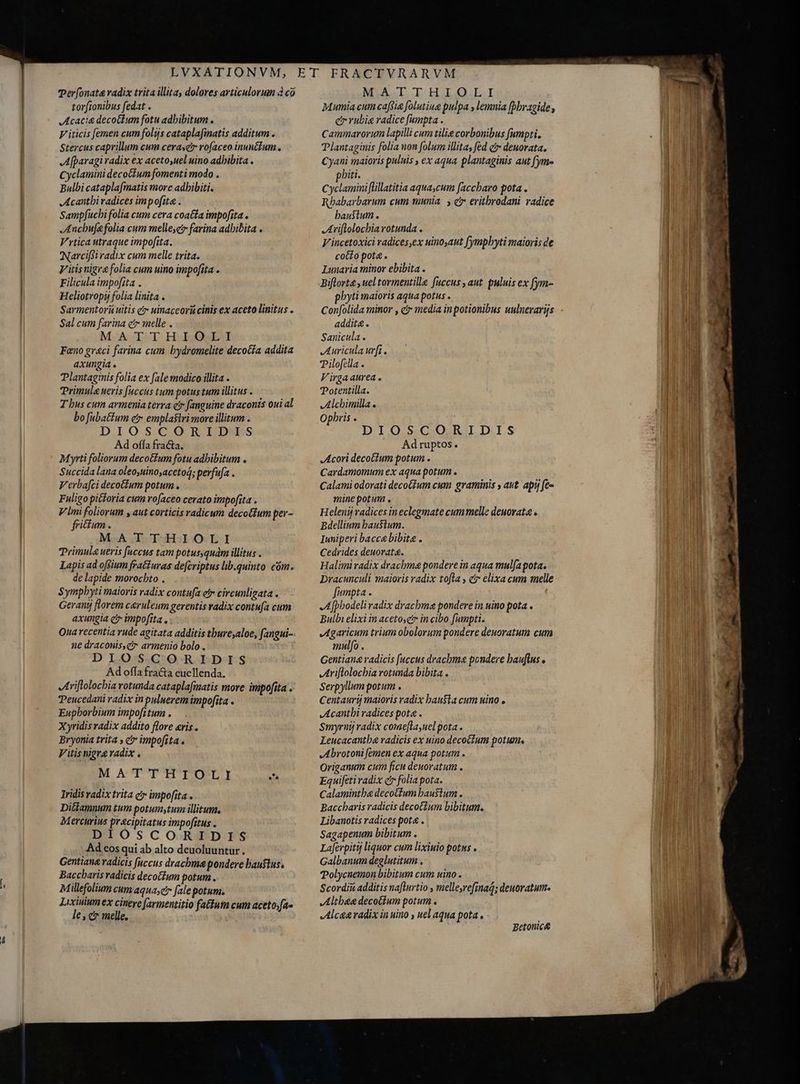 DR LVXATIONVM, Perfonat&amp; radix trita illita, dolores articulorum à co tor[ionibus fedat . JAcacia decoctum fotu adhibitum . V iticis [emen cum folijs cataplafinatis additum . Stercus caprillum cum ceraser rofaceo inunétum.. Afparagi radix ex aceto,uel uino adhibita . Cyclamini decoCfum fomenti modo . Bulbi cataplafmatis more adbibiti. Acanthi radices impofita . Sampfucbi folia cum cera coatta impofita . Anchufe folia cum melleyc farina adhibita . V'rtica utraque impofita. INarcifti radix cum melle trita. Vitisnigra folia cum uino impofita . Filicula impofita . Heliotropij folia linita . Sarmentori uitis e» uinaceorú cinis ex aceto linitus . Sal cum farina ct melle . M.A TT HobOWEbN Fano graeci farina cum bydromelite decotia addita axungia . Plantaginis folia ex fale modico illita . Primula ueris [accus tum potus tum illitus . T bus cum armenia terra c» fanguine draconis oui al bo fubatium etr empla$tri more illitum . DIOSCORIDIS Ad offa fra&amp;a. Myrti foliorum decotfum fotu adhibitum . Succida lana oleo,uinoacetod; perfufa . Verba[ci decotium potum . Fuligo pitoria cum rofaceo cerato impofita . V lmi foliorum , aut corticis radicum decotium per- fiitum. MATTHIOLI Primula ueris fuccus tam potusquám illitus . Lapis ad offium featturas de[criptus lib.quinto cóm. de lapide morocbto . Symphyti maioris radix contufa etr circunligata . Gerantj florem caeruleum gerentis radix contufa cum axungia čr impofita. Qua recentia rude agitata additis thure,aloe, fangui- ne draconis čr armenio bolo . DIOSCORIDIS Ad offa fra&amp;a euellenda. Ariftolochia rotunda cataplafmatis move impofita . Peucedani radix in puluerem impofita . Eupborbium impofitum . Xyridis radix addito flore eris . Bryonia trita , c impofita. Vitis nigra radix , MATTHIOLI và Iridisvadix trita e impofita. Ditlamnum tum potumstum illitum, Mercurius pracipitatus impofitus . DIOSCORIDIS Ad eos qui ab alto deuoluuntur. Gentiana radicis fuccus drachma pondere baustus. Baccharis radicis decofum potum. M illefolium cum/aquasetr fale potum. Lixinium ex cinere farmentitio faftum cum aceto,fas le L] c melle. MATTHIOLI Mumia cum cafiie folutiua pulpa , lemnia [bbragide , ei rubia radice fumpta . Cammarorim lapilli cum tilie corbonibus fumpti. Plantaginis folia non folum illita, fed čr deuorata. 5 Cyani maioris puluis , ex aqua plantaginis aut fyme 413 NI pbiti. Cyclamini flillatitia aqua,cum faccbaro pota . Rbabarbarum cum munia > e eritbrodani radice T bausium . | Ariftolochia rotunda . M V incetoxici radices,ex uinosaut fympbyti maioris de cotto pota . Lunaria minor ebibita . Biflorta , uel tormentille fuccus , aut. puluis ex fym- | phyti maioris aqua potus . ! Confolida minor , čr media in potionibus uulnerarijs addit&amp;. Do Sanicula. Auricula urfi. Pilofella . Virgaaurea. Totentilla. | ri Alchimilla . Dnm Opbris . MS DIOSCORIDIS Ad ruptos » Acori decotium potum . Cardamomum ex aqua potum . Calami odorati deco(ium cum graminis , aut. api fe- mine potum . Helenij radices ineclegmate cum melle deuovata « Bdellium haustum. Iuniperi bacca bibite . Cedrides deuorat&amp;. Halimi radix drachma pondere in aqua mulfa pota. ; Dracunculi maioris radix tofla , c? elixa cum melle 13 fumpta . A fpbodeli radix drachma pondere in uino pota . Bulbi elixi in acetosetr in cibo [umpti. Agaricum trium obolorum pondere deuoratum cum mulfo , Gentiana radicis faccus drachma pondere bauflus o Ariftolochia rotunda bibita . Serpyllum potum . Centaurij maioris radix hausta cum uino , Acanthi radices pota . | na d Smyruij radix come[la,uel pota . IN Leucacantba radicis ex uino decoctum potum. i Abrotoni femen ex aqua potum . ; Origanum cum ficu deuoratum . | Y Equifetivadix cr folia pota. Calamintba decotium haustum. Baccharis radicis decotlum bLibitum. Libanotis radices pota . Sagapenum bibitum . Lafevpitij liquor cum lixiuio potus Galbanum deglutitum . Polycuemon bibitum cum uino . Scordii additis naflurtio , melle,refinaQ; deuoratum. JAltbeae deco(ium potum . | V Alcaa radix in uino , uel aqua pota. A nur Betonice i ei