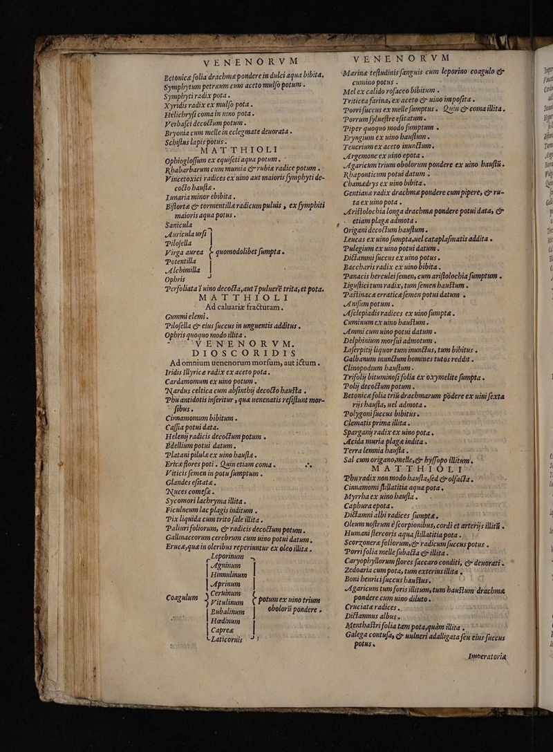 Lo y 29 el v VENENORVM Betonice folia drachma pondere in dulci aqua bibita, Symphytum petrewm cum aceto mulfo potum . Sympbyti radix pota . Xyridis radix ex mulfo pota . Helicbry[i coma in umo pota . V'erbafci decoctum potum . Bryonia cum melle in eclegmate deuorata . Schiflus lapis potus . MAT THTIOLTI Opbiogloffum ex equifeti aqua potum. ` Rbabarbarum cum mumia c rubia radice potum . Vincetoxici radices ex uino aut maioris [ympbyti de- cotto bauf[la . Iunaria minor ebibita . Eiflorta c tormentillevadicum puluis , ex fympbiti maioris aqua potus . Sanicula — . Auricula ufi | Pilofella Virga aurea t quomodolibet fumpta « Totentilla Alchimilla | Opbris Pilofella c? eius faccus in unguentis additus . Opbris quoquo modo illita . b VENENORVM. DIQSCORIDTS Adomnium uenenorum morfum, aut ictum. Iridis Illyrice radix ex aceto pota. Cardamomum ex uino potum . Nardus celtica cum abfintbij decocto hausta . Phu antidotis inferitur , qua uenenatis vefiflunt mor- - fibus. Cinnamomum bibitum . ` Caffia potui data. Heleny radicis decotfum potum . Édellium potui datum. Platani pilule ex uino baufls . Erice flores poti . Quinetiam coma . e V'iticis femen in potu [umptum . Glandes efitat« , Nuuces comefe . Sycomori lacbryma illita . Ficulneum lac plagis inditum . Pix liquida cum trito fale illita . Paliuri foliorum, et radicis decotum potum. Gallinaceorum cerebrum cum uino potui datum , Erucequa in oleribus reperiuntur ex oleo illite. Leporinum ~ Agninum | Hinnulinum Aprinum Coagulum j j^ wies t potum ex uino trium Bubalitum | obolorii pondere . Hedinum | Capreg | J t Laticornis j TINTE. VENENORVM Marina tefludinis [anguis cum leporino coagulo e cumino potus . Melex calido rofaceo bibitum . Triticea farina, ex aceto eir uino impofita . Torri fuccus ex melle fumptus. Quin cir comaillita . Porrum fylueftre efitatum . Piper quoquo modo fumptum . Eryngium ex uino bauflum . Teucrium ex aceto inunChum . -Argemone ex uino epota . Agaricum trium obolorum pondere ex uino bauflu . Rbaponticum potui datum.. Cbamadrys ex uino bibita. Gentiana radix dracbma pondere cum pipere, c ru- ta ex uino pota . Aristolochia longa dracbma pondere potui datas c etiam plaga admota. Origani deco(ium bauflum. Leucas ex uino fumptauel cataplafinatis addita . Pulegium ex uino potui datum . Ditfammi fuccus ex uino potus . Baccharis radix ex uino bibita . Panacis berculei femen, cum ariftolocbia fumptum . Cuminum ex uino bausium . Ammi cum uino potui datum . Delphinium mor(ui admotum . Laferpitij liquor tum inunt£us, tum bibitus . Galbanum inuntium bomines tutos reddit . Clinopodium bauflum . Trifolij bituminofi folia éx oxymelite fumpta . Polij decotium potum . Betonica folia tri dracbmarum podere ex uini exta ris baufla, uel admota . Polygoni fuccus bibitus Clematis prima illita . Spargani radix ex uino pota . Acida muria plaga indita . Terra lemnia baufla . Sal cum origanosmelle,e byfTopo illitum. MATTHIOLI^ Phuradix non modo bauflajfed eir olfaida . Cinnamomi fllatitia aqua pota . Myrrba ex uino baufla . Capbura epota. Ditfamni albi radices fumpta. Oleumnoflrum è fcorpionibus, cordi et arterijs illit . Humani flercoris aqua flillatitia pota . Scorzonera foliorumyetr radicum fuccus potus . Porri folia melle fubaGia c? illita . Caryopbyllorum flores faccaro conditi, ct deuovati > Zedoaria cumpotay tum exterius illita . Boni henrici fuccus baustlus. Agaricum tum foris illitumytum bauslum drachme pondere cum uino diluto. Cruciate radices, DiClamnus albus. Mentbastri folia tam pota,quam illita > iet contu[as cy uulneri adalligata feu eius fuccus OHS è Imveratori&amp;