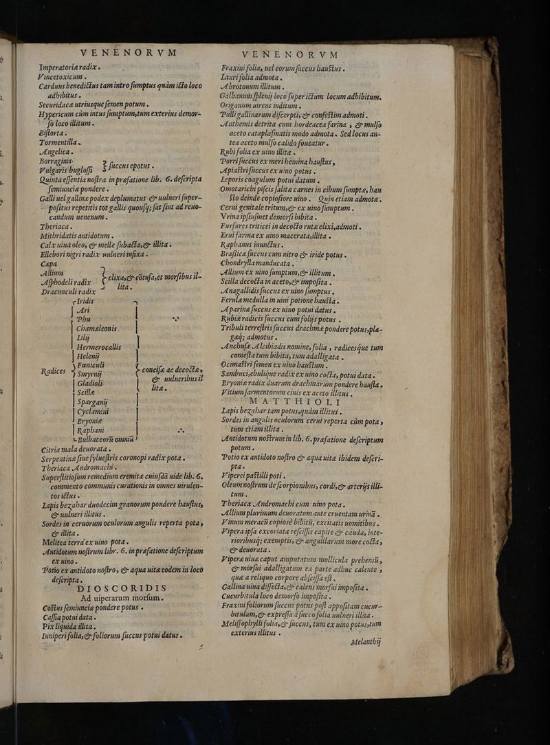 4 Vincetoxicum . Carduus benedi&amp;tus tam intro fumptus quàm ifo loco adhibitus . Securidaca utriusque femen potum . Hypericum cùm intus [umptumytum exterius demor- Biflorta. Tormentilla . Angelica . Borraginis. Vulgaris bugloff; Quinta e[fentia noftra inprafatione lib. 6. defcripta femiuncie pondere . ! Galli uel galline podex deplumatus e uulneri fuper- «pofitus repetitis tot gallis quoufq; fat fint ad reno- candum uenenum . Tberiaca . Mitbridatis antidotum . Calx uiua oleo, c? melle fuba&amp;lasetr illita . Ellebori nigri radix wulneri infixa . Cepa Allium t Afphodeli radix Dracunculi radix rIri dis ] Ari ] | € fuccus epotus . - elixa cotufayet moribus il- lita. Tbu Cbam&amp;leonis | Lilij Hermerocallis Smyrnij octa: Scille | spargani | Cyclamini Bryonie | Rapbani c Bulbaceora omniu Citria mala deuorata . Serpentine fiue fylueftris coronopi radix pota . Theriaca JAndromacbi . Super[litiofum remedium eremita cuin[da uide lib. 6. commento communis curationis in omnes uirulen- tos ictus . i Lapis bezabar duodecim granorum pondere hauftuss e uulneri illitus . Sordes in ceruórum oculorum angulis reperta pota, e illita. Melitea terra ex uino pota . Antidotum noftrum libr. 6. in prafatione defcriptum ex uino . Potio ex antidoto noftro, c aqua uite eodem in loco defcripta . DIOSCORIDIS Ad uiperarum morfum. Costus femiuncie pondere potus . Ca[Jia potui data . Pix liquida illita. ; Inniperi foliasčr foliorum fuccus potui datus . | Radices esie t concife ac decotes | | | VENENORVM Lauri folia admota . Abrotonum illitum . Galbanuna fplenij loco fuper i&amp;&amp;um locum adhibitum. Origanum uirens inditum . Pulli gallinarum difcerpti, c confestim admoti . Anthemis detrita cum bordeacea farina , er mulfo aceto cataplafinatis modo admota . Sed locus an- tea aceto mul[o calido foueatur s Rubi folia ex uino illita . Porri [uccus ex meri hemina bauflus , „Apiastri fuccus ex uino potus . Leporis coagulum potui datum . Omotaricbi pifcis [alite carnes in cibum fumpta, ban Sto deinde copiofiore uino . Quin etiam admota. Cerui genitale tritumye? ex uino fumptum . Vrina ipfiufmet demor[i bibita . Furfures triticei in decoéto ruta elixi,admoti . Erut farina ex uino maceratayillita . Raphanus inunttus . Braffica fuccus cum nitro c? iride potus - Cbondrylla manducata . Allium ex uino fumptum, čr illitum . Scilla decotía in aceto,c impofita . Anagallidis fuccus ex uino fumptus , Ferule medulla in uini potione hausta. Aparine fuccus ex uino potui datus . Rubie radicis fuccus cum folijs potus . Tribuli terreftris [accus drachmae pondere potus pla- g44; admotus . Anchufe Alcibiadis nomine, folia , radicesque tum comefta tum bibita, tum adalligata . Ocima$tri femen ex uino haustum . Sambucihebuligne radix ex uino cotta, potui data . ' Vitium [armentorum cinis ex aceto illius, NDCAMAPUPUPESUCP TOY Lapis bezabar tam potus,quam illitus . Sordes in angulis oculorum cerui reperta cùm pota» tum etiam illita . Antidotum nostrum in lib. 6, profatione defcriptum potum. Potio ex antidoto nofiro C aqua uite ibidem defcri- pta. Viperei pastilli poti . Oleumnoftrum de [corpionibus, cordi e arterýs illi- tum. Tbheriaca Andromachi cum. uino pota. Allium plurimum deuoratumante cruentam urina . V inum meracii copiose bibitit, excitatis uomitibus . Vipera ipfa excoriata ve[ciffis capite t cauda, inte- rioribusQ; exemptis, et anguillayum more coa, e denorata . Vipera uiua caput amputatum mollicula prebensu , er morfui adalligatum ea parte adbuc calente > que a reliquo corpore ab[ciffa eft . Gallina nina d:/Je£taset calens mor[ui impofita . Cucurbitula loco demorfo impofita . Fraxini foliorum fuccus potus pofl appofitam cucur- bitulam,e expre[fa à fucco folia nulneri illita - Meliffophylli foliayez fuccus, tum ex uino potusstum exterius illitus . EE. Melantbi
