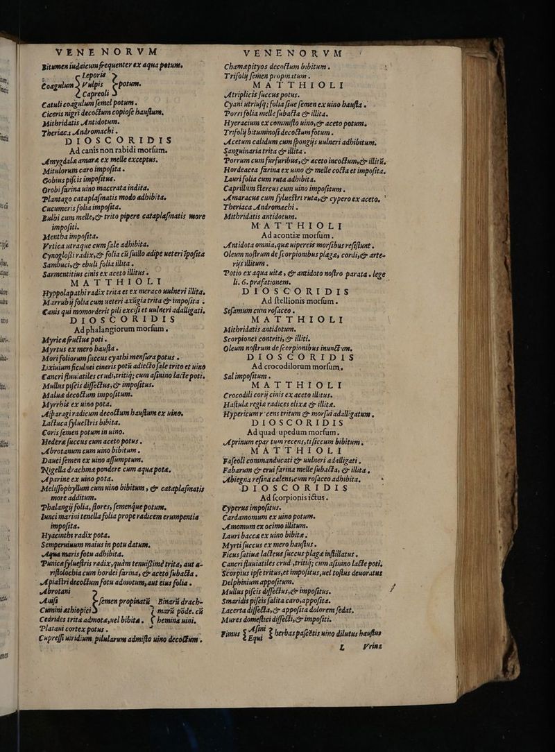 lim, tis nti Ir C un. VENENORVM Bitumen iudaicum frequenter ex aqua petunt, at Leporis Coagulum Vulpis gpotum. Capreoli Catuli coagulum femel potum . Ciceris nigri decoctum copiofe bauflum, Mithridatis Antidotum. T heriaca Andromacbi . DIOSCORIDIS Ad canis non rabidi morfum. Amygdale amara ex melle exceptus. Mitulorum caro impofita . cobiuspifcisimpofitue. Orobi farina uino macerata indita. — Plantago cataplafinatis modo adhibita. Cucumeris folia impofita. Bulbi cum melleyc trito pipere cataplafimatis more impofiti. Mentba impofita. E Vrtica utraque cum fale adhibita. — | €ynoglofti radix, folia cii fuillo adipe ueteri ipofita io ebuli folia illita. — — Sarmentitius cinis ex aceto illitus o MATTHIOLI Hyppolapatbivadix trita et ex meraco uulneri illita, Marrubij folia cum ueteri axügia trita čr impofita . Canis qui momorderit pili excifi et uulneri adalligati, DIOSCORIDIS Ad phalangiorum morfum , Myrica fratius poti . Myrtus ex mero baufla - Mori foliorum fuccus cyatbi menfura potus . Lixiuinm ficulnei cineris potis adiec£o fale trito et uino Cancri fluniatiles crudiytritig; cum afinino lacte poti. Mullus pifcis diffe&amp;us,cr impofitus. Malua decotfum impofitum. Myrrbis ex uino pota. Mparagi radicum decotfum bauflum ex uino, Laituca fyluestris bibita. Coris femen potum in uino. Hedère fuccus cum aceto potus . Abrotanum cum uino bibitum . Dauti femen ex uino affumptum. Nigella drachma pondere cum aqua pota. eI parine ex uino pota. Meliffophyllum cum uino bibitum , c» cataplafmatis more additum. Phalangij folia, flores, femenquepotum. lunci marini tenella folia prope radicem erumpentia impofita. Hyacinthi radix pota. Semperuiuum maius in potu datum, v4qua maris fotu adhibita. Punica fyluefris radix,quàm tenuiflimé trita, aut a- viflolocbia cum hordei farina, e? aceto fubaa JM orotani Amfi Jemen propinată_Binară drach- Cumini etbiopici d marū póde. ci Cedrides trita admote,uel bibita . t bemina uini. Platani cortex potus .  Cuprefi wiridium. pilularum admifto uino deco@um . VENENORVM Chamapityos deco(Ium bibitum . Trifoly fernen propinatwn . MIA IT HITO RII Atriplicis [uccus potus. Cyani utriufq; folia fiue [emen ex uino baufla « Porri folia melle fabatHa ct illita. Hyeracium ex commiflo uino,c aceto potum. Trifolij bituminofi decoium fotum. Acetum calidum cum [pongiis uulneri adhibitum. Sanguinaria trita ctr illita . Torrum cum furfuribus ci» aceto inco&amp;lumyer illit, Hordeacea farina ex uno čr melle cotla et impofita, Lauri folia cum ruta adhibita. Caprillum stercus cum uino impofitum . Amaracus cum fyluestri vutay cir cypero ex aceto, ` Tberiaca Andromachi . Mitbridatis antidotum. MATTHIOLI Adacontiz morfum. Antidota omnia,qua uipereis morfibus veftflunt . Oleum noftrum de [corpionibus plaga, cordi,cir arte- rijs illitum . li. 6. prafationem. DEfOSCORIDIS Ad ftellionis motfum. Sefamum cum vofaceo . MATTHIOLI Mithridatis antidotum. Scorpionet contriti, cr illiti. Oleum noftrum de fcorpionibus inun&amp;£ m. DIOSCORTDIS Ad crocodilorum morfum, Sal impofitum . MATCHET OCT Crocodili cor ij cinis ex aceto illitus. Haflula regia radices elixe cr illite. Hypericumv:cens tritum ct mor[ui adalligatum , DIOSCORIDIS Ad quadrupedum morfum. Aprinum epar tum vecens,ti (fccum bibitum. MATTHIOLIAI Fafeoli commanducati e uulneri adallizati , Fabarum cr erui farina melle fabatda, cz illita , Abiegna refina calens,cum rofaceo adhibita, . DIOSCORIDIS Ad fcorpionis ictus . Cyperus impofitus. Cardamomum ex uino potum. Amomum ex ocimo illitum. Lauri bacca ex uino bibite > Myrti fuccus ex mero hauftus. Ficus fatiue lacteus fuccus plage inftillatus . Cancri fluuiatiles crud stritiá; cum afinino laffe potis Scorpius ipfe tritus,et impo[itus uel toflus deuoratus Delpbinium appofitum. Mullus pifcis diffettus,ctr impofitus. $maridis pifcis falita cavosappofita. Lacerta di[feBfayct appofita dolorem fedat., Mures dome[lici diffecti c impofiti. Binus j s iy H herbas paftëtis nino dilutus bauffus L prinz