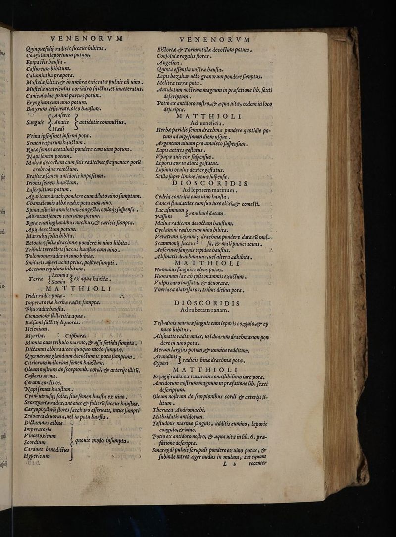 fit itt ni. t VENENORVM Quinquefolij radicis fuccus bibitus . Coagulum leporinum potum. Epipattis baufla . Cafloreum bibitum. Calamintha prepota. M lela falitecr in umbra exiccate puluis cù uino . Muflelg uentriculus coriadro farélus,et inueteratus. Canicula lac primi partus potum. Eryngium cum uino potum. Butyrum deficiente,oleo bauflum. i C JAa[eris Sanguis A Anatis Coni commisius o Hadi Vrina ip[iufmet infirmi pota . Semen raparum haustum . Ruta femen acetabuli pondere cum uino potum . Napifemën potum. — T. Malus decoctum cum [uis radicibus frequenter potis crebroque reietfum. Braffice femen antidotis impofitum . Irionis femen haustum. Laferpitium potum . Cbamaleonis alb radix pota cum uino. Spina alba in amuletum congesta, collo; fufpenfa . Abrotani femen cum uino potum. Ruta cum iuglandibus nucibus, caricis fumpta. Apy decocium potum. Marrubij folia bibita. : Betonica folia drachme pondere in uino bibita . Tribuli terrestris fuccus bauflus cum uino . ?Polemonievadix in uino bbita: Smilacis afperi acini prius, pofle fumpti . Acetum tepidum bibitum . Terra | ilc. $ ex aqua baufta . .MATTHTIOLI Iridisvadix pota. ' DIA Imperatorig berba radix fumpta. Phu radix baufla. Cinnamomi flllatitia aqua . Balfami fatkitý liquores. - Helenium. Myrrba. o.Capbura. À Mumia eum tribulo marino, £y affa fætida fumpta , ^ Dittamni albi radices quoquo modo fumpta. Q wernarum glandium decoctum in potu [umptum . Citrioruminalorum femen haustum. Oleum noftrum de [corpionib. cordi, e arterijs illit. Cafloris urina. T ie i Ceruimicordisos. — - Napi femen bauflum . Cyani utriufy; folia, fiue femen baufla ex- uino . Scorzoner vadixsant eius cir folioru fuccus bauflus, Caryopbyllori flores [accbaro affernati, intus [umpti - Zedoaria denorata,uel in potu baufla . Diilamnus albus 4 r Imperatoria Vincetoxicum 3 3 Scordium quouis tnodo infumpta . Carduus beneditfus : Hypericum - Isl ) J ^ 5 VENENORVM BiStorte cr Tormeutille decoctum potum o Confolide regalis flores . Angelica. Quinta effentia nostra bau[la. Lapis bezabar otfo granorum pondere f[amptus, Melitea terra pota . Antidotum noslrum magnum in praefatione lib. fexti defcriptum . defcripta. MATTHIOLI Ad ueneficia. Herbe paridis femen drachme pondere quotidie po- tum ad uigefimum diem u[4ue . „Argentum uiuum pro amuleto fufbenfum . Lapis aetites geflatus . V pupe auis cor fufbenfus . Leporis cor in aluta geflatus. Lupinus oculus dexter geflatus. Scilla fuper limine ianua [ufpenfa . DIOSCORIDIS Ad leporem marinum. Cedria contrita cum uino haufta . Cancri [lnuiatiles cum [no iure elixi et» comefli. Lac afininum Paffum Malus radicum deco&amp;fum hauftum. Cyclamini radix cum uino bibita. H continué datum . Scammonij fuccus? ` fa, e malipunici acinis. Alifmatis drachma una,uel altera adhibita. MATTHIOLI Hinnanus fanguis calens potus. Humanum lac ab ipfis mammis exu&amp;ium . V ulpis caro inaffata, c deuorata., Tberiaca diate|Jaron, tribus diebus pota . DIOSCORIDIS Ad rubetam ranam. T efludinis marina fanguis cum leporis coaguloser cy mino bibitus . Alifmatis radix unius, uel duarum dracbmarum pon derein uino pota. Merum largius potum eov uomitu redditum. JArundinis Cyptri ? radicis bing drachma pote. MATTHIOLI Eryngij radix ex ranarum come[libilium iure pota. Antidotum noftrum magnum in prafatione lib. fexti defcriptum. Oleum noftrum de fcorpionibus cordi (^ arterijs il- litum . Theriaca Andromachi, Mitbridatis antidotum. Tefludinis marina (anguis , additis cumino , leporis coagulo,c? uino. Potio ex antidoto nofiro, c aqua uita in lib. 6. pra- fatione defcripta. Smaragdi puluis fcrupuli pondere ex uino potus , c? fubinde intret eger nudus in mulum y aut equum Lu recenter