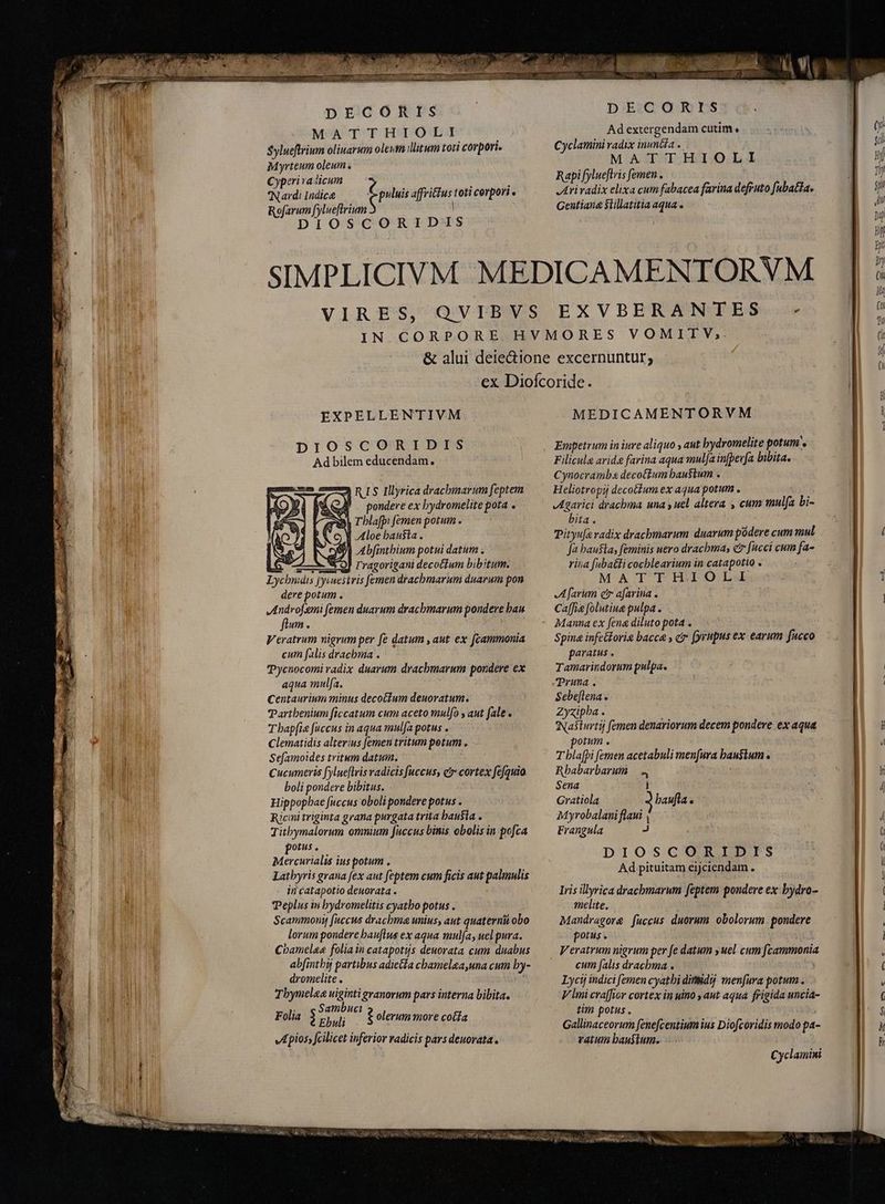 — Sylueftrium oliuarum oleum litum toti corpori. Myrteum oleum. Cyperi radicum Nardi ire ofarum [ylueftrium t puluis affriius toti cerpori « Ad extergendam cutim , Cyclamini radix inuntia . Rapi fylueflris femen . Ad bilem educendam. SRSA RIS Illyrica dracbmarum feptem Od BAQA pondere ex bydromelite pota . 3h rblafp: femen potum . Y) Abfinthium potui datum . e S NÉO) rragorigani decotfum bibitum. Lycbndis jyvuestvis femen dracbmarum duarum pon dere potum . Androfemi femen duarum drachmarum pondere ban flum. Veratrum nigrum per fe datum , aut ex fcammonia cum falis drachma . Pycnocomi radix duarum dracbmarum pondere ex aqua mula. Centaurium minus decotium deuoratum. Parthenium ficcatum cum aceto mulfo , aut fale. Thapfie fuccus in aqua mulfa potus . Clematidis alterius [emen tritum potum . Sefamoides tritum datum. Cucumeris fylueflris radicis [uccus, čr cortex fefquio boli pondere bibitus. Hippophae fuccus oboli pondere potus . Ricini triginta grana purgata trita hausta . Titbymalorum omnium fuccus binis obolis in pofca potus. Mercurialis ius potum . Latbyris grana fex aut feptem cum ficis aut palmulis in catapotio deuorata . Peplus in bydromelitis cyatbo potus . Scammont faccus drachma unius, aut quaterni obo lorum pondere bauflus ex aqua mulfa, uel pura. Chamelea folia in catapotijs deuorata cum duabus abfintbij partibus adieĉta cbamelaa,una cum by- dromelite. nt Thymelaea uiginti granorum pars interna bibita. Folia 3 dide $ olerum more coda Apios, fcilicet inferior radicis pars deuovata . Filicule aride farina aqua mulja in[pevfa bibita. Cynocramb« decoctum haustum . Heliotropij decotium ex aqua potum . Agarici drachma una y uel altera , cum mulfa bi- bita. Pityufe radix drachmarum duarum pódere cum mul Ja baufla, feminis uero drachma, ct fucci cum fa- rina fabatti cocblearium in catapotio . MATTHIOLI Afarum e afarina . Ca[fi folutiue pulpa . Spina infetoris bacca , cr (yrupus ex earum fucco paratus . Tamarindorum pulpa. Pruna. Sebe[lena. Zyxiphba . Nasturtij femen denariorum decem pondere ex aqua potum . T bla[pi femen acetabuli menfura haustum . Rbabarbarum | 4 Sena i Gratiola baufla . Myrobalani flani , Frangula J DIOSCORIDIS Ad pituitam eijciendam. Iris illyrica drachmarum feptem pondere ex bydro- imelite, Mandragore fuccus duorum obolorum pondere potus. cum falis drachma . . Lycij indici femen cyatbi dimid menfura potum . V lmi craffior cortex in uino , aut aqua frigida uncia- tim potus, Gallinaceorum fenefcentium ius Diofcoridis modo pa- ratum baustum. (————— =