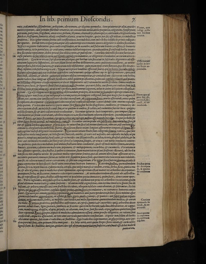 ti- 20 ptei pn j Qd libus 77] fir: ye yali: dies- fut, p 137 renkes ML ilit ud jin 69 uM gb rith IO 29 In lib. primum Diofcoridis. 7 ruta y calamintba ; fifymbrium , pulegium , abrotonum, ci» id genus permulta. Sunt preterea ctv alie, que de- petreum, pulegium, ferpyllum, amaracus, polium, thymus, chamedrys chamaepitys, antbemisychry[antbemie fechas, hyf opum, fumaria, alieq; confimiles plante, quas ne longior , quam par fits effe uidear, ex industria praetereo. Hec igitur omnia ferena celi conflitutione, nonnubibusynon imbribibus infeftis in primis colligan- tur oportet. Deinde terra expurgatasatque alijs aduentitijs excrementis amotis diligenter in umbra [iccentur. Nifi ex eo genere babeantur qua caulis cvaffitudine, ut in acantbo; uel foliorum lentore,cra(fitieyety humoris exhberantia, tit in portulaca, ei critbamo, omnino infolari expetant. quandoquidem [i eiufmodi berba in um— bra ficcande veponantur, dubio procul fitu obducenturcir putre[cent ... Caterim cum vette ficcate fueriut,de- cuffo puluere, in facculis ex corio,uel ligneis cap[ialis econdantur, ac diligenter clandantur ne earum uires e- manejcant. Quainre errant [eplafiariorum pleriqueyqui herbas iam ficcatas in fa[ciculos digeventes ad offi- cinarum laquearia [ufbendunt, ubinon folum breui uiribus deslituuntur,aeris ambieutis exutlione , ac uento- ram perflatu;fed etiam puluere,gy aranearum telis obfiduntur. quin etiam mu[carum flercore,qua illis dieno— Gug; infident,labefatfatenigricant . Neque uero plané laudibus effereudi funt j, qui in linteis [acculis.ipfisq; textura admodum raris eas trabibus appendere con[ueuerunt: quippe eflinus aer in ip[os penetrans , quicquid boni inefl, ab(umitscir abolet. quinetiam puluere obfite corrumpuntur, contabe[cunt. Idcirco ut tam berba, quam radices [uas integras afferu?t facultates, nibil quidem praflantius,quàm eas capfulis tiliaceisyuel piceis; wel fictilibus diligenter clauis repouere, ut docet Hippocrates ad Crateuam bis uerbis [cribens.Qmnia medica- menta, qua fucci, Zr liquoris fluidi funtyin uitreis nafis ferantur, qu ueró folia, aut flores,aut radices funt. in fi. Gilibus nouis probé obturatis, ut ne uentis pevflata medicamenti uigorem, uelut in animi deliquium collapfaya- ittant . Quod fi Hippocrates in recentibus obferuandum pracipit, id maximè in ficcis fieri operapretium erit . lores infuper non fecus,atque relique plantarum partes,eo tempore colligendi funtyquo magis fuo in uigore có fiflunt non autem cim iam flaccefcentes decidui euanecunt. At capparum flores muria a[[eruandi,antea quàm fe explicent,decerpuntur : o[arum ueró cum non plané explicati wifuntur : ceteri deinde cim. omnino expanfis folijs patent. V erùm cùm maiori ex parte omnes fere flaves fjnt herbis fragiliores , molliores, gr tenuiores; id- circo tantum abeft , ut in fole ficcandi fint,ut ne quidem in umbra, fi calida,uel eminentia fuerint loca : quippe; ut folis feruore fic cr aeris calore nimio exoluuntur . Siccentur igitur in locis temperatis , quo tempore [pius reuoluantur ne fitum contrabant, adbibita etiam curae ficci natiuum colorem deperdant. quandoquidem cer tum efi flores, qui jnter (iccandum d proprio colore degeyerantmullius effe inmedicina wu[igs.. Itaque perbelle fic tur e iifdem lenibus operiuntur. Flores itaq; in uniuerfum ficci ad annum duntaxat, edurant etf BE S » centaurij, cbryfantbemiymillefoly, fbartij, : am flores etiam longiori afferuentur tempore, fi ligneis &amp;f— piant . Qui ueró per annum, recentes reponuntuy, aut maiori ex anni parte perdurantsin locis [iccis minime a[per ginem redolentibus appendantur, ut a[Jolet de uuts, pyris,uaalis cydonijs, c? punicis : aut [uper paleas expan- liter veponendi-Éucci quoque, utpote in medicina admodum nece[Jarij , omni prorfus diligentia ac ratione funt conficiendi , atque ita a[Jeruandi, ut toto anui curriculo putredinem non fentiant . 1iigitur non folim ab herbis eliciantur oportet, fed etiam à radicibus, ac fru&amp;libus . Qui à vadicibus exprimuntur, ut glycyrrbiza, uere qui- lignofi fiant. Ex fentlibus denique, quidam cim ipfi ultimam maturitatem fenferintycuinfinodi effe debet malor A Y punicorutis Plantz , quz ornate. lapfus in her bis ficcis re- ponendis. Flores quo té pore fint dë- candt, ác te= condendi. - Fru&amp;us quaa do decerpen di, &amp; quomo do coníeruam di. Cortices quomodo fic candi, &amp; re- ponendi. Succi quomo do exprimen di,coníeruam dió; fnt.