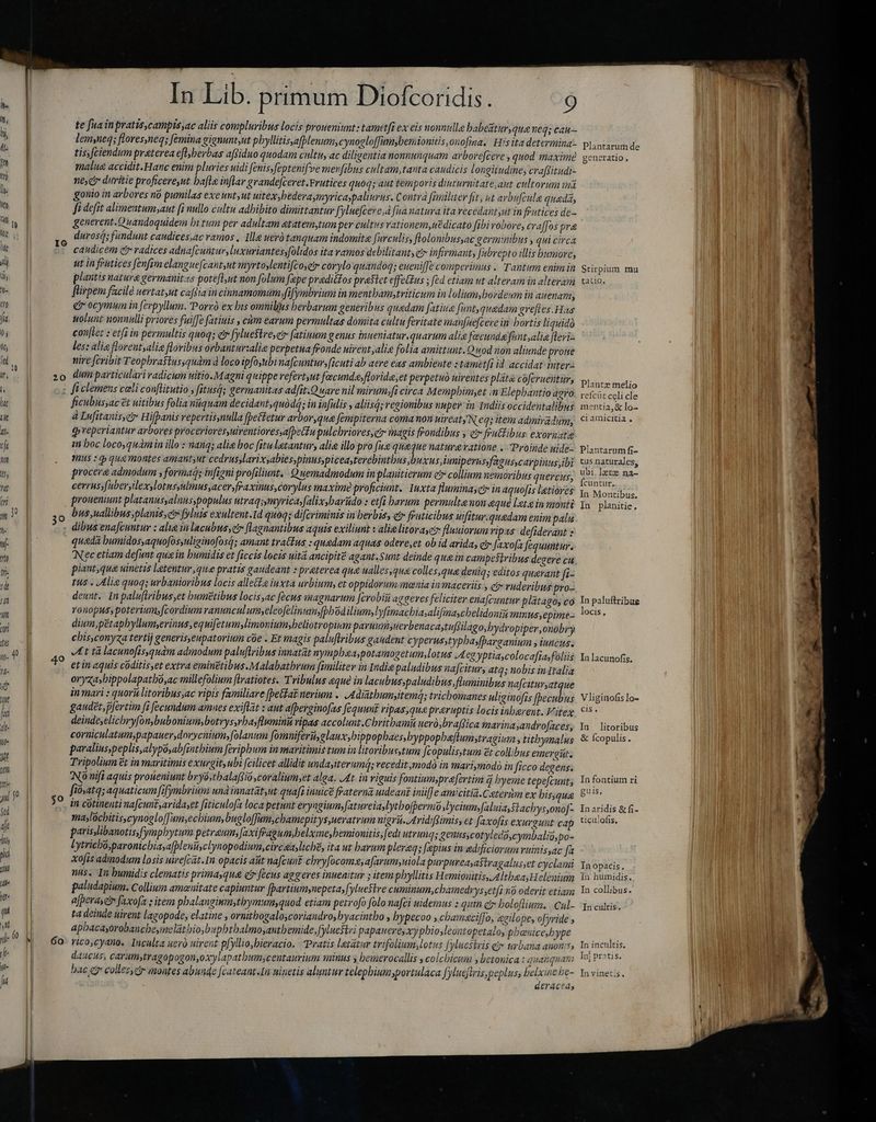 te fua in pratiscampissac aliis compluribus locis proneniunt: tametfi ex eis nonnulla babeatur, quaeq; cau lemyneq; fl ores,neq; femina gignunt,ut pbyllitisyafplenum, cynogloffumybenionitis ,onofina. His ita determina} tis,fciendum praterea e[lberbas affiduo quodam cultu, ac diligentia nonnunquam arborefcere , quod maxime -. malua accidit.Hanc enim pluries uidi fenis,fepteni[ve menfibus cultam, tanta caudicis l ongitudine, crapitudi- t ne duritie proficereyut bafle inflar grande[ceret.Yrutices quoq; aut temporis diuturnitate aut cultorum mäi ue gonio in arbores no pumilas exeuntyut uitex,bederaymyricaspaliurus. Contra fimiliter fit, ut avbu[cula quada, i fi defit alimeatum;aut (i nullo cultu adhibito dimittantur [yluefcere; fua natura ita vecedantyut in frutices de- Cj t i generent. Quandoquidem bitum per adultam etatemytum per cultus vationem,ué dicato fibi robore, cra [Jos pra durosá; fundunt caudices,ac vamos .. Ille uerótanquam indomita [urculis, flolo nibussac germinibus y qui circa caudicem ctr radices adna[cuntuv,luxuriantessfolidos ita vamos debilitant, c infirmant, fabrepto illis humore, ili ut in frutices [enfim elanguefcant,ut »1)yrtoslentifcoseir corylo quandoq; euenife comperimus .. Tantum enim in li plantis natura germanitzs pote[lut non folum fepe pradittos prestet effetIus ; fed etiam ut alteram in alteram - flirpem facile uertat,ut caffia in cinnamomum fifymbrium in mentbambtriticum in lolium,bordewm in auenam, IG ero dr ocymum in fevpyllum. Porrò ex bts omnikus herbarum generibus quedam fatine funt,quadam greftes. Has fa. uolunt nonnulli priores fuiffe fatinis , cùm earum permultas domita cultu feritate manfuefcere in bortis liguidà 0; conftet : etfi in permultis quoq; er fylueflreser fatinum genus inueniatur.quarum alia fecundafintsalia fleri- it les: alie flovent,alie floribus orbantur:alie perpetua fronde uirent;alis folia amittunt. Quod non aliunde prone d nire fcribit Teopbrastussquam à loco ipfoyubina[cuntur,[icuti ab aere eas ambiente : tamet[i id accidat inter n zo dum particulari vadicum uitio.Magni quippe refertut fæcundæ,floride,et perpetuo uirentes pláta coferuentur, T fi clemens cali conflitutio ; fitus; germanitas adfit.Quare nil mirum fi circa Mempbim;et in Elepbantio agro hit ficubussac t uitibus folia niiquam decidant,quóda; in infulis , aliisá; regionibus nuper in Indiis occidentalibus T, à Lufitanisyez Hifpanis repertis,nulla (bettetur arborqua fempiterna coma non uireatyN eq; item admiradum, n æ reperiantur arbores proceriores, uiventioressa[bettu pulcbriores,e magis frondibus , e frutlibus. exornate ci in boc loco,quàm in illo : nang; alia boc fituletantur, alie illo pro fus queque natura ratione . Proinde nide- T . Wus:qquemontes amantyut cedrusylarixsabies,pinus,piceasterebintbus,buxus,iuniperus, fagusscarpinus;ibi it, procere admodum , formadqs infigni profiliunt. Quemadmodum in plauitierum cir collium nemoribus quercus, 7 cerrussfuber, Vexylotnsulimus,acersfraxinus,corylus maxime proficiant. Iuxta fuminascy in aquofis latiores ti proueniunt platanusyalnusspopulus utraq;,myrica, Jalixsbarüdo : etfi barum. permulta uon qué letæ in monti m3? 30 bus, uallibus;planis c fyluis exultent.Id quoq; difcrimints in berbiss c fruticibus wifitur-quedam enim palu  dibus ena[cuntur : alie in lacubusye flagnantibus aquis exiliunt « alie litorascz: fluuiorum ripas de[iderant : Ww [| quada bumidos,aquofossuliginofosá; amant tratfus : quadam aquas odere, et ob id arida, e faxofa fequuntur. n Nec etiam defunt quain humidis et ficcis locis uita ancipité agant.Sunt deinde quain campestribus degere cu  piant,qua uinetis Letentur „que pratis gaudeant : praterea que ualles,qua colles,qua deniq; editos qu&amp;rant fi- a tus . Alig quoq; urbanioribus locis allet iuxta urbium, et oppidorum monia in maceriis , et ruderibus pro- i deunt.. In paluftribus,et bumttibus locis,ac fecus magnarum Jcvobiii aggeres feliciter ena[cuntur platagoy co pr ronopus, poteriumsfcordium ranunculum, eleofelinumypbod ilium? Jfmacbiasalifiascbelidonii mmusyepime- di dium, pëtaphyllum erinus, equifetumylimonium,beliotropium parum, uerbenacastufjilago,bydropiper,onobry ui chis,conyza tertij generis,eupatorium coe . Et magis paluftribus gaudent cyperusstypbasfparganium j iuncus. y. 4! 4o At tà lacunofis.quam admodum paluflribus innatat nympbaaypotamogetum,lotus A egyptiascolocafiasfoliis et in aquis coditis,et extra eminetibus.Malabatbrum fimiliter in Indie paludibus nafcitur, atq; nobis inTtalia H- f : ; : X MA m dh oryzasbippolapatbo,ac millefolium flratiotes. Tribulus &amp;qué in lacubus paludibus fluminibus na[cituryatque ie in mari : quor litoribus,ac ripis familiare (etat nerium . A diathumyitemQ; trichomanes uliginofis [becubus * gaudet, pfertim fi fecundum amnes exiftat : aut a[perginofas fequunt ripas,qua praruptis locis inherent. Vitex | deindeselichryfonybubonium;botrys,rba;flumini ripas accolumt.Cbritbamhii ueró,braflica marina ;androfaces, corniculatum;papauersdovycnium,folanum fomniferi glauxybippophaes,byppopbaflumstragium , titbymalus paralins,peplis,alypo,abfintbium feripbum in maritimis tum in litoribusstum [copulis,tum ët collibus emergit. X Tripolium čt in maritimis exurgit,ubi fcilicet allidit undayiterumá; recedit modó in mariymodo in ficco degens. m No nifi aquis proneniunt bryà;tbalaftio,covalium;et alga. At in viguis fontinmprefertim q hyeme tepejcunt; bi ^ fiósatq; aquaticum [ifymbrium und innatatyut quafi inuice fraterna uideant inüffe amicitia.Caterim ex bis,qua p 59 in cotinenti nafcunt,avidayet fiticulofa loca petunt eryugiumfatureiaylytbo[permo lycium faluia,Stachys,onof- sel maslocbitis,cynoglo[[umyecbium, bugloffum,cbamepitys,ueratrnm nigri. Avid ftimis, et faxofás exurgunt cap ij parisslibanotis, fymphytum petraum faxifragum,belxmeybemionitis, fedi uteunq; genus,cotyledo,cymbalia,po- di Lytricbà,paronicbiasa[pleutisclynopodium, circa, liche, ita ut barum pleraq; [epius in edificiorum vuinisyac fà pi xofis admodum losis uirefcat.In opacis alit na[cunt chryfocomæ;afarum,niola purpureasastragalus,et cyclami uM nus. In humidis clematis primaque er fecus aggeres inueaitur ; item phyllitis Hemionitis AltbaaHeleniam dl | paludapium. Collium amænitate capiuntur Jpartiumsnepeta, fyluestre cuminum,chamedrys etfi nà oderit etiam Nt a[bera e faxofa ; item phalangism,thymum,quod etiam petrofo folo nafci uidemus : quin ctr boloflium. Cul- ta deinde uirent lagopode, elatine , ornitbogaloycoviandro; byacintbo , bypecoo y.cbameciffo, agilope, o[yride , apbacayorobancbeymelatbio;bupbtbalmoyantbemide,fylucstri papauereyxypbiosleontopetaloy pbenice,bype M 60. rico cyano. Incalta uero uirent pfyllio;bieracio. Pratis letatur trifolium, lotus fylueskris e urbana anon:s; | | daucus, caram»ytragopogon,oxylapatbum,centaurium minus y bemerocallis , colcbicum betonica ! quanquam yh- bac ez colles cir montes abunde feateant:In ninetis aluntur telephium portulaca [yluc[tris.peplus; belxint be- | deraceds Plantarum de generatio. Stirpium mu tatio, Plante melio refcüt celi cle mentia,&amp; lo- ci amicitia , Plantarum fi- tus naturales, ubi, læt na- fcuntur. In Montibus, In planitie, In paluftribus locis, In lacunofis. Vliginofis lo- cis. In litoribus &amp; Ícopulis. In fontium ri guis, Inaridis &amp; fi- ticulofis, Inopacis, in humidis. n collibus. In cultis. In incultis. Ip! pratis. In vinetis.