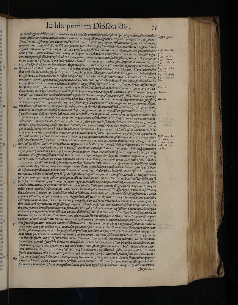 s | e mandragore deliberata exalbeat.Contrà e candida proueniunt radice planta go polygonatum, dracunculus, n arum,arifarumyranunculum,ueratrum album,anoris,liguflicum afparagussru[cus,bippogloffuia , elapbobo—  | feumylibanotis fpbondylum,rapum,radix, circa; alcea,boleftiumytragiumtrifoliwu, narci[Tus,alliumyporrum; - gingidiisiberisybippoJelinüstripolii iris, panaces Heracleit,tragi , fomniferi Jfolanum,arékion, onagra, cham E eiffos,[cammoniumyaltbaaypityufa. At non prorfus alba, fed fubalbidæ,radices tribute funt aro polemonia,he- hi lenio primo.Rubent rubie,centaureo magnoyrbaponticosrbabarbaro , tametfi tria bac exterius nonnibil nigri- à cent item pentapbyllo,beptapbylloybete tertij generis, blitoycaroteancbufa, licopfi, onofinati,cbryfogono,quan d quam exterius nigricant.N on plane rubra;fed fubrubra radice funt acanthus, phus fatyrium erytbrouium, xy- : ris,radix Rbodia,folanum f omniferum;alypum;coflus.Ex atro rube[cut filici famina,cypero,pycnocomo,epbe-  10 1e mero Colcbico. Rubro colore purpura[cunt radices fympbyti petreicapari cile, pacratij . Flaua intus radice É funt ariftolochia rotiida,glycyrrbizas lapatbum, bippolapatbiicyperus Babylonicus,argemone, cbelidoniii ma E Wsygetiana.. At berbaceo colore infimt polypodio,pbalazio. (myraio, ei imperatorig . Odorata radice fragrant, S Wisacorusymeon,cyperus,calaacedoaria narda tam Gallici quam Indicisafarii, pbu,caryophyllataybaccba lr ris,liguflicitppatinacay angelica»fefeli, Maffilienfey bippofelinis, Jrzyrniu,libanotis, afclepias, circa, alifma, tripo H liu.quin crradix Rhodia odore expirat nō inincunda. Dulcedinem gusti prebent glycyrrbizastravopogonis ra- b dixycétanrij maioris,chamaleonis albi,elapbobofci,geranij ar(Lj,polypodij. Amaritudinem uer gentiangyra- [^ nunculi,helený diétami candidislencacantba,panacis Heraclei bippopbais,pancratij,[cille, cichorij , afpavagi, 5 rufcicentaurij minoris,cbelidonij maioris, afbbodeli , cyclamini . Acri autem radice deprebenduntur gingiber, i acorus, galaga,zedoaria,imperatoriaycrocodyliumyangelicaypanaces Chironium.fmyrnumypyrezbrum ;alifma, u zo tripolium,raphanus tum fatinus,tum fylueftris,utraque iberisynaslurtium,tblafbiyargemone, bydropiperyarum, M dracunculus,eryfmumyopbiofzoradonampeloprafwun,(corodoprafum cepa,alliem,porrum,fcandix. Q no fit,ut,  g ft exatia notitia differeatiarum babeatur,qua in radicibus formaynumero,colore,odore;ac fapore notantur , ma lat ximum inde percipiant emolumentum i , qui magna animi dele&amp;atione in bac fim plicium medicamentorum fa- cultate operam impéderint./£c praterea plurimam ij[dem contulerit fi omnes flirpium delineationes , fimilitu- m dines4; (de ijs intellige, qua; fcriptis tradi poffunt ) tum earum pariter ci odores,ct fapoves alJequantur, eo in- | quam modo,ac ratione, quo bic à nobis adnotata reperiuntur «In primis igitur à fimilitudine , quam inter fe in- is ennt plante, exorfus pro uiribus enitar,ut que plurimis ignota funt,ýs,que omnibus fane unlgares apparent,ve le cie comparentur. quapropter ab hedera primum,ut que neminem lateatyrem ipfam aufpicabor. Hederam igitur d folijs emulantur,er fi quedam maiora, quedam uer minora cernantur, cammoniumafar um » HQ; cyclami- MET zo nus fmilax afpera leuis, * bortenfis uitis nigraymarina braffica, Aethiopicū Sefelispericlymenon aristolocbia w p utraquesafclepias epimedium, gramen parnaft, apocinum , uiola purpurea , cbameaciffos , helxinegognomento lit eiffampelosycynocrambe, bortenfe folanum,balicacabumycircaa,cucumis tam fyluestris, qudm fatinus y utraqs il clematis. V itigineum folium vepra[entat platanus, acer,lupinus,ricinus,bryonia,ueratrum ngrum,balfamina, iln colocynthis, cucumis, quem Veneti anguriam nocant Alba [binas cir acanthin fimili uirzt folio : ficuti abrota- |f num faimiga, cr ab[intbium feriphbum uocatum foli fe inuicem imitantur. Vitex, cr anag yris etr folis, ramis [T conueniunt. Apy folia referunt caucalissfecundum dauci genus,laferpit'um jfmirniumbunium.4mygdala fron- w f de ueflinntursperficus,rbododendrum,ebulus,Jambucus, flapbylodendron , lathyris , quam officina cataputiam d Tn nominant. Anifum deinde ifopyro folijs adstipulatur,anagallis antyrrbino , atriplex xantbio . 'triufque rubig int folia imitatur aparine,ac galium:quanquam illis maiora,buic uerà minora Jpettentur, Porri, bulbi; folia pre fe Mts 40 ferit byacintbussnarciffussalliumscolebicum,cyperussbaftula vegiaampeloprafonyfcorodoprafon, canini tefli- wi | culiylocbitis.Buxus,ct lycium con[imili comantur fronde. Vitis alba amomo folijs correfpödet, pyrethrum fyl» gi uestri dauco,hemionitis dracunculo, coris eric . Fæniculi folia emitunt altilis a[paragus , panaces ,A[clepiums m ftfeli,daucum Creticumyantb emis,libanotis,bupbtalmosyanetbum,thapfja..4 nethi folijs affurgit meon. Planta m gini non diffimilia [unt folia candidi ueratri, gentiana,alifmatis et cl ymeni. Phænij folium geranium exprimits [t Filicem folio emulantur [ideritis fecundum genus,polypodium;dryopteris.Ferula cicutam foliorum imagine re- in fert , bac uerà myrrbidem. Bugloffumyct cirfium confimili modo foliantur. Graminis folium proferunt moly,be nia loftinum, gramen arundinaciumycoronopus.Huius uevà folia babent catanance, bfyllium. Cicborium,cbondrylla e d]. utrunque genus, ci quod quibu[da dens caninus dicitur ,cüfimili Junt folio.Cnico atrattylis fo lio aftimilaturicba (f maleoni nigro crocodilium,cbameleoni albo filybum.Glasto tripolium fimile e$t.Coriandri fo lijs comatur par- mq tbenium;adiantbum,f[ideritis tertia,omnia yanunculi genera ( quorum tamen quadam propiusyquedam longius yji- jo eius [pecie fequuntur ) uterque daucus,tbalitériiscapnos. H elxmes folia produnt anagallisalfineymuris auricu- we ] la:cannabisyaut quinquefolij eupatorium,fed qua quadripertità diuidantur.Cotonei mali frondem exbibent cap  paris y folanum fommferum > Smyrnij folium prestant pbuslauer.Cuprefii efigiem promit fabina: iuniperi cé- » drus minor que pbenicia ducitur. Hypericum ; androfemum , ajcyrim » folio non difcrepant «Cistus yer lada- ds ii nus ficuti in fpecie , ita c in folijs conueniunt . Cyclamini folium pandit aconitum primum « ciceris teucriums ji fecuridaca : cnini, fylueftris Stratiotes millefolium : cucurbita perfonata « loli phænix : iuglandis centau- ij rium mans y ponia mas, gentiana ; etfi buic magis cum. plantagine conueniat . Iridis folia reddunt , aco- ir] vim , medion y (ylueftris iris : item gladiolus , nifi bic breuiora ^ anguátiorad; folia fibi uendica[fet « In iunci d | [pecie collocandum effet utrunque equifetum , fed inani caule afJurgit. Lenticula folium fimulant aphbaca,ono- vi b ] brycbis , chamafyce, belenium alterum,anonis, trichomanes; polygala, glaux. Laurea ffonde uivent pol: go M | natum y clematis prima , daphnoides , nerium , chamadapbne . iij folia [bargunt bemerocallis, dedit oi fi Jatyrium , martagon ( fic enim appellant lilium quoddam agreste ) ephemerum, onagra. Lentifcumvefe ,, | glycyrrbiza, Que nigricát Quz fübalbi cant. Que candicát Qux rubent. Quz fubru- bent. Quz intus fla uefcunt. Quz uirefcüt Quz bene o- lent. Dulces, Amara. Acres, Foliorum in plantis com- paratio, &amp; fi- militudo in- ter fe,