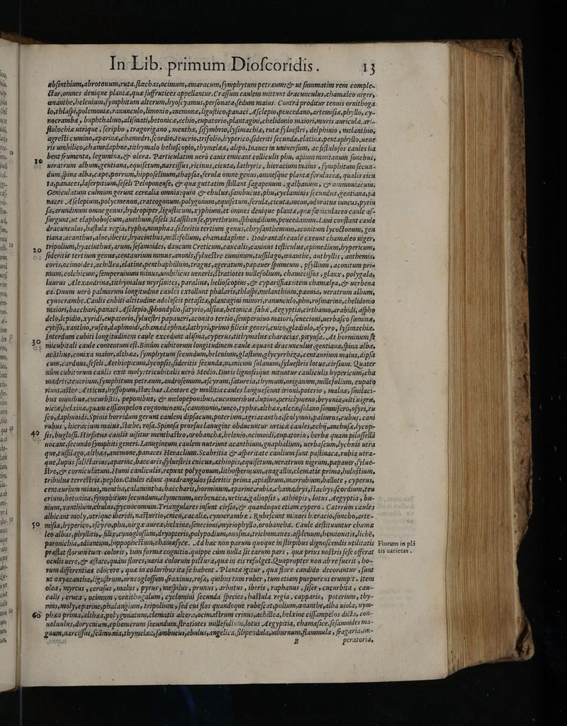 nrin m ilf thu LA Det. MA ála 177 In ? foy Tn lit, tonis fto- Y? pinis it po f p ilii , ir q putt idi yh IT ih In Lib. primum Diofcoridis. 13 ab[(intbiumyabrotonumsruta.flecbasyocimumyamaracum, fymphytum petr.sumser ut fianmatim ver comple. &amp;Gar,omnes denique plante,qua (uffrutices appellantur.Craffum caulem mittunt dracunculus,cbamaleo nicer, emantbe,beleniwm,fympbitum alterumsbyo[cyamus,per[onatayfedum maius. Contrà proditur tenuis ornitboga lostblafpispolemonia;ranunculo,limonio anemona, ligu[licoypanaci JAfclepio,peucedanoyartemi[ieypbyllo, cy- nocramba , bupbtbalmosalifmati,betonice,ecbio,eupatorio;plantagini,cbelidonio maiorimuris auricula, ari- flolocbis utrique ; feripbo , tragorigano , menthe, f; ymbrio,lyfimacbia, rute fylueflri , delpbinio , melantbio, agresti cumino,aparineycbamedrt [cordiosteucriostrifolio,byperico,fideriti fecundaselatine;pentapbyllo,uene ris umbilicocbamedapbuestitbymalo beliofcopio,tbymeles, alipo.Inanes in uninerfum, ac fiflulojos caules ba bent frumenta, legumixaer olera. Particulatim ueró cauis emicant colliculis phu, apium motitanum fonchus, ueratrum album,gentiana,equifetumynarcif[us ricinus cicuta, lathyris , bieraciumaius , fympbitum fecun- dum, [pina alba,cepe,porrum,bippofelinumstbapfiayferule omne genus,onme[que planta ferulacea, qualis cicu taypanacessla[erpitium»fefeli Peloponenfe, etr qua guttatim ftillant fagapenum , galbanum y c ammoniacum. Geniculatum culmum gerunt cerealia omuiazquin ez ebulussfambucusypbuscyclaminis fecundus gentianaypa nates A fclepium;polycmenon,crateogonum polygonum,equifetum fernult,cicutasmeon,od oratus iuncus,pytir Jayarundinum omne genus hydropiper ligufticumxyphium,et omnes denique planta,qua fæniculaceo caule af- Jurgunt,ut elapbobofcumyanetbum.;fefeli Maffilven fe pyrethrum fbbondilium,peucedanum. Lui conftant caule dracunculus,baftula regiaytypbayniünpbaa,fideritis tertium. genus,cbry[antbemumyaconitum Lycotlonum; gen tiana,acantbus,aloeyiberis ,yacintbusymillefolium, chamadapbne . Dodrantalt caule exeunt chamaeleo niger, fidevitis tertium genns centaurium mmus ,anonisyfyluestre cuminumytu[filagosenantbe, antbyllis , antbemis, coris,ocimoides acbileaselatinespentbapbillum,tragus ageratum;papauer [umeum , p[yllium , aconitum pris qum; colcbicums femperuiuum winusyumbilicus ueneris;Stratiotes millefolium, cbameci][os ,elaux , polygalas laurus JAlexandrinaytitbymalus myrfinites, paralius, beliofcopius e? cyparifias:item chamalgayei uerbena ca.Duum uerò palmorum longitudine caules extollunt phalavis,tblafpiymelantbium,paonia, ueratrum album, cynocrambe.Caulis chbiti altitudine adole[cit petafita,plantagini minovi;ranunculoypbusrofinarino,cbelidonio maiori baccbari,panaci .Afclepio,fbbandylio,[atyrio,al[ine;betonica fabe Aeg yptia,cirtbamoyarabidi, afpho delo,lepidio, xyridi,eupatorio,fylueflri papaueriaconito tertio; femperuiuo maiori, enecioni,uerba[co famine, cytifo,xautbio,rufzodapbnoidi,cebamedapbneslatbyrisprimo filicis generi,cnico,gladioloafcyro, lyfimachis. Interdum cubiti longitudinem caule excedunt alifmaycyperusstitbymalus characias pityu[a. At borminum fe acatbussconixa maloryaltbaa, [ympbytum fecundum;beleniumyglaflum,olycyrrbiza, centauvium maius, dip[a cum carduus fefeli Aetbiopicumylycopfis,fideritis [ecundaymanicum [olanumy fylueflris lotusscirfium. Quater nim cubitorum caülis exit molyztricubitalis ueró Medio. Duris lignofisque nituntur cauliculis bypeyicum,cha ni&amp;drisyteucriumyfympbitum petrewn,androfemumya[cyrmm; fatureiaytbymumyariganum,millefolinm, eupato vyiunsatier Jd tticusshyffopumsslecbas Lentore er mollitiacaules languefcunt irionijpoterio , malua; fimilaci- bus osinibusscucurbitis, peponibws, et ielopepouibuscucumeribus,lupinospericlymeno;bryoniayuiti nigra, uiciejbelxiue quam ciffampelon cogitominant;fcamraonios iuncostypbasaltbes,alcee»folano foumifcrosofyri, Yu feosdaphnoidi.Spinis horridum gerunt caulem dipfacum;poterium;agriacanthay[colymos;paliurussrubus, cani rubus y bieracium maius Siebe, rofa.Spinofa prov[us lanugine obducuntur urtica caulessecbijancbufe,Lycop- uocanr;fecundo fympbiti generi. Lanugineum caulem nutriunt acantbium,guaphaliums uerba[cumn;lycbnis utra quet uffilago,altbaaanemone,panaces Heracliuu.Scabritia crafer itate canlium funt paflinaca,rubia utra- que,lupus fali&amp;ariussaparine ,baccarissfylueftris enicussatbiopissequifetumyuevatrum ugrüm,papauer.ylue- Sirer corniculatum.Humi canliculisrepunt polygonum,litbofbermumsanagallisyclematis primayolosliums tribulus terrestris peplos.Caules edunt quadrangidos fideritis prima apiaflrumymarrubinm;ballote j cyperuss centaurium minus,mentba,calamintbas baccbaris,borminum;aparinesrubiacbamadrys,flacbys.fcordiumyteu crinm,betonica;fympbitym fecundum;clymenumsuerbenaca,urticasgaliopfis., etbiopiss lotus Aegyptia, bu- niumyxantbiumyebulusyfycuocomum.Triangnlares infant civ[oyct quandoque etiam cypero . Ceterum caules albicant moly,utrique iberidi, na$iurtioyenicocacalie, cynocra mbe, Rihia minori b:eracio,foncbosarte - leo'albus;pbyllitis, filieycynogloffum,dryopteris;polypodium;onofmastricbomanessafplenum,bemionitis,liche, paronicbiasadiantum,bippopbesiun,cbamefyce. Ad bec non parum quoque in flirpibus dignofcendis utilitatis praftat florumtuer: coloris tum form cognitio.quippe cùm nulla fit earum pars , qug prius nostris fefe offerat oculis uere, ci &amp;flateyquam floresymaria colorum pitiurayqug in eis vefulget.Quapropter non ab ve fuerit x bo— rum differentias edocere y que in coloribus ita fe babent «Plante igitur ; que flore candido decorantur ; funt nt oxyacantbayUguflrumsorneogloffimn fraxinusrofe, quibus tum ruber , tum etiam purpureus erumpit, Item olea; myrtus y cerajus ymalus y pyrussme[pilus s prunus y arbutus y iberis , raphanus: fier » cucurbita , cau- éalis eruca y ocimum yorhitbegalum , cyclamini fecunda. fpecies, ba$tula. regia , capparis, poterium , thy- titisytmolysaparineyphbalangium tripolium: fed cui flos quandoque rube[catspolium;anantbeyalba niola; nym- nap ARRA Ui fecundum, flratiotes millefolium, lotus Aegypitia, chamafice, Jéfamoides ma- goumynarciffus,fcimoniaytbymelez,Jambucus,ebulusyangelica, filipendula,uiburnum flammula , fragartastm- EN B peratorigs Florum in plá tis uarietas .