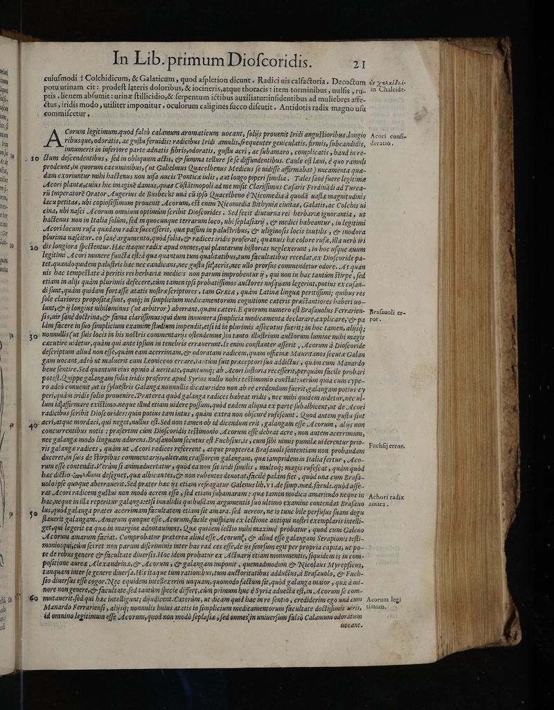 © => LJ Aed E 10 20 aE 30 k In Lib. primum Diofcoridis. 21 cuiufmodi t Colchidicum, & Galaticum , quod afpletion dicunt . Radici ais calfa&oria. Deco&um £v xzaxtdrii- potuurinam cit : prodeft lateris doloribus, & locineris,atque thoracis: item torminibus , uulfis ry- in Chalcide- ptis .lienem abfumit : urinz ftillicidio,& ferpentum ictibus auxiliatur:infidentibus ad muliebres affe- €&us , iridis modo , utiliter imponitur , oculorum caligines fucco difcutit » Antidotis radix magno ufü «ommifícetur , ; Corum legitimum;quod falsó calamum aromaticum uocant, folijs prouenit Iridi angu$lioribus,longio Acori confi- ribusque,odoratis, ac guftu feruidis: radicibus Iridi emulis, frequenter geniculatis, firmis, fabcandidis, deratio. innumeris in inferiore parte adnatis fibris,odoratis, guftu acri, ac [ubamaro , complicatis , baud inre- étum dejcendentibus , fed in obliquum atis, e fumma tellure fe fe diffundentibus. Caule eft leni, e quo ramuli prodeunt,in quorum cacuminibus, (ut Gulielmus Quacelbenus Medicus fe uidife affirmabat ) nucamenta gug- dam exoviuntur mibi batfenus non uifa nucis Pontica iulis , aut longo piperi fimilia. Tales fane fuere legitime Acori planta,cuins bic imagine damus, quas Cü[latinopoli ad me mifit Clariffimus Caefaris Ferdinadi ad Turca- ri Imperatore Orator Augerius de Busbeckt und cii ipfo Quacelbeno Nicomedia à quoda uafla magnitudinis lacu petitas, ubi copiofiffumum prouenit Acorum, efl enim Nicomedia Bithynia ciuitas, Galatisyac Colchis ui cina, ubi nafci Acorum. omnium optimùm feribit Diofcorides . Sed fecit diuturna rei berbarie ignorantia , ut battenus non in Italia folùm, fed in quocunque terrarum loco, ubi feplafiarij , et medici habeantur y in legitimi plurima nafcitur. eo [ang avgumento,quàd foliayctv radices iridis proferat; quanuts hg colore rufe, illa ueró iri dis longiora [beffentur. H«c itaque radix apud omnes,qui plantarum hiftorias neglexerunt , in boc ufque auum legitimi Acori munere funtfa efl:à qua quantum tum qualitatibus,tum facultatibus recedat ex Diofcoride pa- tet.quandoquidem paluftris bc nec candicansynec guftu [itjacris,nec ullo prorfus commendetur odore. At quan uis bac tempestate à peritis vei berbaris medicis non parum improbentur ij y qui non in bac tantum ftirpe , fed etiam in alijs quàm plurimis defecere,cim tamen ipfi probatiffimos anctores nufquam legerint, potius ex cufan- di (ant,quàm quidam fortaffe etatis noftra fcriptores’, tam Gr4c& , quàm Latine lingue peritiffimi; quibus ves fole clariores propofite funt, quià; in fimplicium medicamentorum cognitione cateris prastantiores baberi uo— luntyet ü longius nibileminus (ut arbitror.) ab errant,quam ceteri. E quorum numero efl Bra[auolus Ferrarien- Brafauoli ep- fis,uir fang dotirinayci» fama claviffimus:qui dum innumera fimplicia medicamenta declarareyexplicare, erpa ror. làm facere in fuo fimplicium examine [Indium impendit;etfi id in plurimis affecutus fuerit; in boc tamen, alijsá; nonnullis (ut fuis locis in bis nostris commentarijs oflendemus )in tanto: illuflrium autorum lumine mibi magts cacutire uidetur,quàm qui ante ipfum in tenebris errauerunt.is enim conftanter afferit , Acorum à Dio[coride defcriptum aliud non effequam eam acerrimam, er odoratam radicem,quam officine Mauritanos fecut& Galan gam uocant,adeó ut maluerit cum Leoniceno errareytantum fuit praceptori [no addiétus , quàm cum Manardo bene fentire.Sed quantum eius opinio à ueritate, quantumq; ab Acori bifloria recefferit, perquam facile probari potefl.Q uippe galangam folia iridis proferre apud Syrios nullo nobis testimonio conflatzaernm quia cum cype- v0 adeó conuenit jut is fylueftris Galanga nonnullis dicatur:ideo non ab ve credendum fueritgalangam potius cy perbquam iridis folio prouenire. Præterea quód galanga radices babeat iridis , nec mibi quidem nidetur nec ul- lum idiafirmare existimo.neque illud etiam uidere poffum,quòd eadem aliqua ex parte fabalbicent ut de Acori radicibus [cribit Diofcorides: quin potius tam intus , quàm extra non ob[curé rufefeunt . Quod autem gufta fint acriyatque mordaci, qui negetynullus efl.Sed non tamen ob id dicendum erit , galangam effe Acorum s alijs non concurrentibus notis ; prafertim cim Dio[coridis testimonio Acorum effe debeat acre , non autem acerrimum, nec galange modo linguam adurens.Brafauolum fecutus eft Fucbfius,is , cum fibi nimis pumila uiderentur prio- ris galange radices , quam ut JA cori radices referrent , atque propterea Brafauoli fententiam non probandam duceretyin fuis de Stirpibus commentarissalteram cra[JIorem galangam, qua iampridem in Italia fertur , Aco- vum effe contendit. erum fi animaduertatur y quàd ea mon fit ividi fimilis , multog; magis vufe[cat , quàm quód bac ditio go^dinois defignet,qua albicantessciv non vubentes denotat facile palàm fiet , quód una cum Brafa- vat Acori radicem guslui non modo acrem efe , fed etiam fabamaram ; qua tamen modica amaritudo neque in Achori radix bacyneque in illa reperitur galanga:etfi innalidis quibufdam argumentis fuo ultimo examine contendat Brafano amara. lusquód galanga prater acerrimam facultatem etiam fit amara. fed uereor,ne is tunc bile perfufus fuam degu flauerit galangam: Amarum quoque effe Acorum facile quifpiam ex le&fione antiqui noflri exemplaris intelli- getsqui legerit ea quein margine adnotauimus. Qua quidem lectio mibi maxim probatur quod cum Galeno Acorum amarum faciat. Comprobatur praterea aliud effe Acorum; ct» aliud effe galangam Serapionis tefti- gnoniosquisciin feiret non parum diftriminis inter bas rad ces effe de ijs feorfum egit per propria capita, ut po- te de rebus genere ci facultate diuev[is.Hoc idem probatur ex JAGuarij etiam monumentis, fiquidem is in com- pofitione aure Alexandrina, Acorum y er galangam imponit , quemadmodum e Nicolaus Myrepficus, tanquam inter fe genere diuer[a.His itaque tum rationibusstum auforitatibus addutius,d Brafauolo, e F uch- fto dinerfus effe cogor. Nec equidem intellexerim unquam,quomodo factum fit,quòd galanga maior , que à mi- nore non generee facultate, fed tantum [pecie differt,cum primum buc è Syria adue&ia efl,in 4 corum fe com- | mutauerit.fed qui hec intelligunt; dijudicent.Caterim, ut dicam quid bac in ve fentio , crediderim ego unacum Acorum legi Manardo Ferravienfi , alijsg; nonnulis buius etatis in fimplicium medicamentorum facultate dottijjimis Mri, Fimu, id omnino legitimum effe Aco rum quod.-non modo feplafia y fed omnes;in uninerfum falsó Calamum —ÓÀ Fuchfij error.