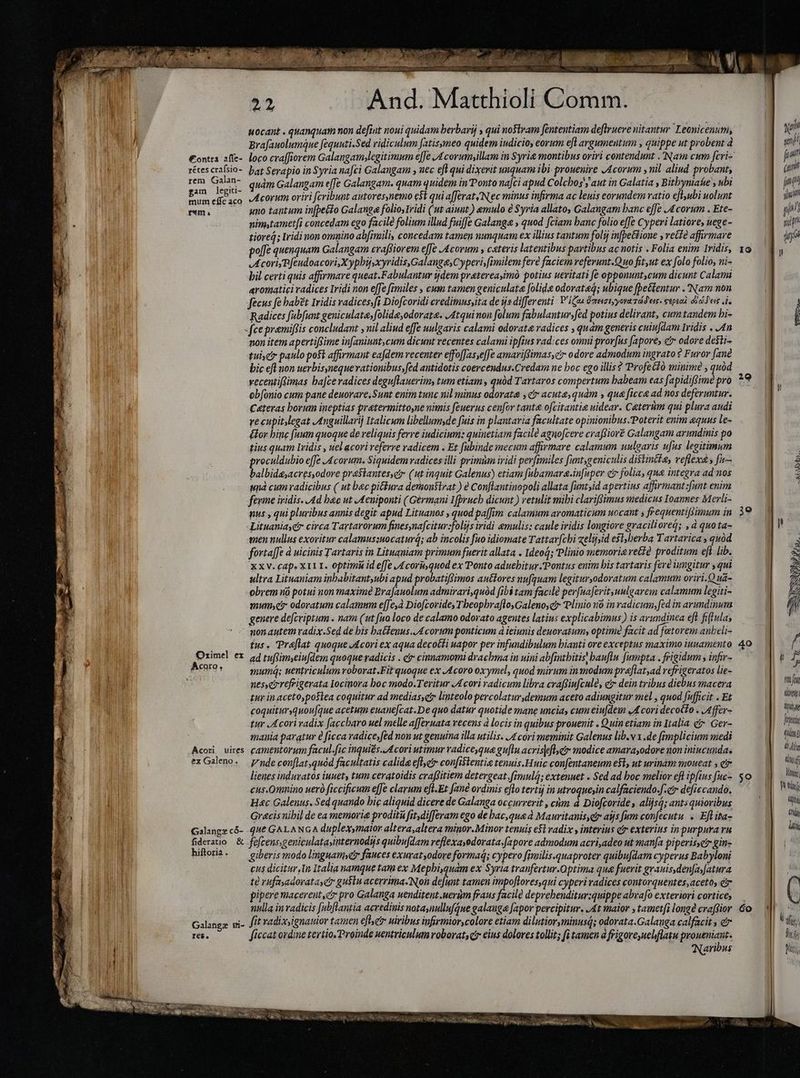 f €ontra afie- zëtes crafsio- rem Galan- gam legiti- mum effe aco ram a Ozimel ex Acoro, Acorn uires ex Galeno. Galange có- fideratio &amp; hiftoria . Galangz mi- res. T Amh OM achte bh in uocant . quanquam non defit noui quidam berbarij , qui nostram fententiam deftruere nitantur Leonicenum, Bra[auolumne fequnti.Sed ridiculum fatisymeo quidem iudicio, eorum eft argumentum , quippe ut probent à bat Serapio in Syria nafci Galangam y nec eft qui dixerit unquam ibi prouenire Acorum , nil aliud probant, quàm Galangam effe Galangam. quam quidem in Ponto nafci apud Colcbos'j aut in Galatia , Bitbyniaue , ubi Acorum oriri fcribunt autores,nemo e$t qui afferat; Nec minus infirma ac leuis eorundem ratio eflubi uolunt uno tantum infpeéto Galange folio, Iridi (ut aiunt.) emulo è Syria allato, Galangam banc effe J4 corum . Ete- nimtametfi concedam ego facile folium illud fuiffe Galange » quod [ciam banc folio effe Cyperi latiore, nege- tioreq; [ridi non omnino abfimili, concedam tamen nunquam ex illius tantum folij in[pe&amp;lione ; vette affirmare poffe quenquam Galangam evaffiorem effe Acorum y ceteris latentibus partibus ac notis . Folia enim 1ridis, A coriyP[eudoacori,Xypbij,xyridis.GalangesCyperisfimilem fere faciem referunt Quo fit,ut ex folo folio, ni- bil certi quis affirmare queat.Fabulantur ijdem pratereayimó potius ueritati fe opponuntycum dieunt Calami aromatici radices Iridi non effe fimiles , cum tamen geniculata folide odorata; ubique fpe&amp;lentur . Nam non fecus fe habét Iridis vadices,ft Diofcoridi eredimusyita de ijs differenti. Pigu Vaeuziy yore deis. sepen doses de Radices fubfunt geniculata folidæ,odorate. Atquinon folum fabulantur fed potius delirant, cum tandem hi- non item apertiffime infaniunt,cum dicunt vecentes calami ipfius radices omni prorfus fapore, c odore desti- tuisci paulo poft affirmant eafdem recenter effof[as,e[fe amariffimas,cir odore admodum ingrato ? Furor [ane bic efl non uerbisynequevationibus,fed antidotis coercendus.Credam ne boc ego illis? Profecó minime , quód yecentiRimas ba[ce radices deguflauerimy tum etiam, quüd Tartaros compertum habeam eas [apidiftimé pro obfonio cum pane deuorare;Sunt enim tunc nil minus odorata , ctr acuta, quam , qua ficca ad nos deferuntur. Cateras borum ineptias pratermittoyne nimis feuerus cenfor tante ofcitantia uidear. Ceterum qui plura audi re cupit,legat Anguillarij Italicum libellumyde fuis in plantaria facultate opinionibus. Poterit enim equus le~ ftor bine fuum quoque de reliquis ferre iudicium: quinetiam facile agnofcere craffioré Galangam arundinis po tius quam lvidis , uel acori referre radicem . Et fubinde mecum affirmare calamum unlgaris ufus legitimum proculdubio effe Acorum. Siquidem radices illi primim iridi perfimiles fumtygeniculis distintie, reflexy fu~ balbida,acres,odore praStantesset (ut inquit Galenus) etiam fabamara.in[uper ci folia, qua integra ad nos unà cum radicibus ( ut bac pi&amp;&amp;ura demonstrat ) è Conflantinopoli allata funt,id apertins affirmant funt enim ferme iridis. Ad hao ut Aeniponti ( Gérmani Ifprucb dicunt.) retulit mibi clariffimus medicus Ioannes Merli- nus , qui pluribus annis degit apud Lituanos , quod paffim calamum aromaticum uocant s frequentifjmum in Lituania, circa Tartarorum finesynafcitur:folijs iridi emulis: caule iridis longiore graciliored; , à quota- men nullus exoritur calamussuocaturQ; ab incolis fuo idiomate Tattar[cbi zelijsid esl;berba Tartarica quód fortaffe à uicinis Tartaris in Lituaniam primum fuerit allata . IdeoQ; Plinio memori vete proditum eft lib. XXV. caps X11 1. optimi id effe [4 coruquod ex Ponto aduebitur. Pontus enim bis tartaris fere iungitur y qui ultra Lituaniam inbabitant,ubi apud probatiffimos autores nufquam legituryodoratum calamum oriri.Q ua- obrem nū potui non maxime Brafauolum admirari,quód (ibi tam facile perfuaferit,uulgarem calamum legiti- mum, odoratum calamum effe,à Diofcorides Tbeopbraflo,Galenosctr Plinio no in radicum, fed in arundinum genere defcviptum . nam (ut fua loco de calamo odorato agentes latius explicabimus ) is arundinea eft fiflulas mon autem radix.Sed de bis baífeuus..4corum ponticum à ieiunis deueratums optimè facit ad fatorem anbeli- ad tuffim,eiufdem quoque radicis . e cimamomi drachma in uini abfintbitis) bauflu fumpta . frigidum , infir- mum; uentriculum voborat.Fit quoque ex Acoro oxymel, quod mirum in modum praflatyad refrigeratos lie~ nesseirefrigerata Iocinora boc modo.Teritur JA cori radicum libra craffiufculé, etr dein tribus diebus macera tur in. acetoypostea coquitur ad mediase linteolo percolatur demum aceto adiungitur mel , quod fufficit . Et coquitur yquou[que acetum euanecat.De quo datur quotide mane uncia, cum eiufdem A cori decotto . Affer- tur JA cori radix faccbaro uel melle afferuata recens à locis in quibus prouenit . Quin etiam in Italia c Ger- mania paratur e ficca radice, fed nou ut genuina illa utilis. Acori meminit Galenus lib.v1 ade fimplicium medi camentorum facul.fic inquiés..Acori utimur radice que guftu acris]eflyc modice amarayodore non iniucunda. Vnde conflat,quód facultatis calida efle con[istentie tenuis Huic confentaneum e$t, ut urinam moueat ; c lienes induvatós iunet, tum ceratoidis craffitiem detergeat fimulý; extenuet . Sed ad boc melior eft ipfius fuc- eus.Onmino ueró ficcificum effe clarum eft.Et fané ordinis efto tertij in utroqueyn calfaciendo.f.c defiecando. Hac Galenus. Sed quando bic aliquid dicere de Galanga occurrerit , cùm a Diofcoride , alijs; antsquioribus Gracis nibil de ea memorie proditü fit,differam ego de bac,que à Mauritanis, dir ais fum confecutu +» Efl ita- que GALANGA duplexsmator altera,altera minor.Minor tenuis e$l radix , interius etr exterius in purpura vu fefcens;geniculatayinternodis quibufdam reflexayodorata.[apore admodum acri,adeo ut manfa piperisser gin- giberis modo lingnamydr fauces exuratyodore forma; cypero [imilis.quaproter quibufdam cyperus Babyloni cus dicitur ,In Italia namque tam ex Mepbi,quàm ex Syria tranfertur.Optima qua fuerit granis den[ayfatura te rufasadoratasc guštu acerrima. Non defunt tamen impo[lores,qui cyperi radices comtorquentes,acetoy etr pipere macereut,e pro Galanga uenditent.uerüm fraus facile deprebenditur:quippe abvafo exteriori cortices nulla in radicis fubftantia acredinis notaynullufGue galanga fapor percipitur. At maior ; tametfi longè craffior fit vadixsignatior tamen efer uiribus infirmior,colore etiam dilutioryminusi; odorata.Galauga calfacit s er ficcat ordine tertio. Proinde uentriculum roborat, qi eius dolores tollit; fi tamen à frigore ueliflatu proueniant. Naribus TM SS. p z ` <e - EXER: X n. ERI PR, Fl AR, NQE MI. UN iac NONI o modi d pe yah snf Í [d (um n (n j iuit ji / yi ma n 1 219 nifl tre LT fri fim] dl dwg jo lin; ft trj hi Ch Mii