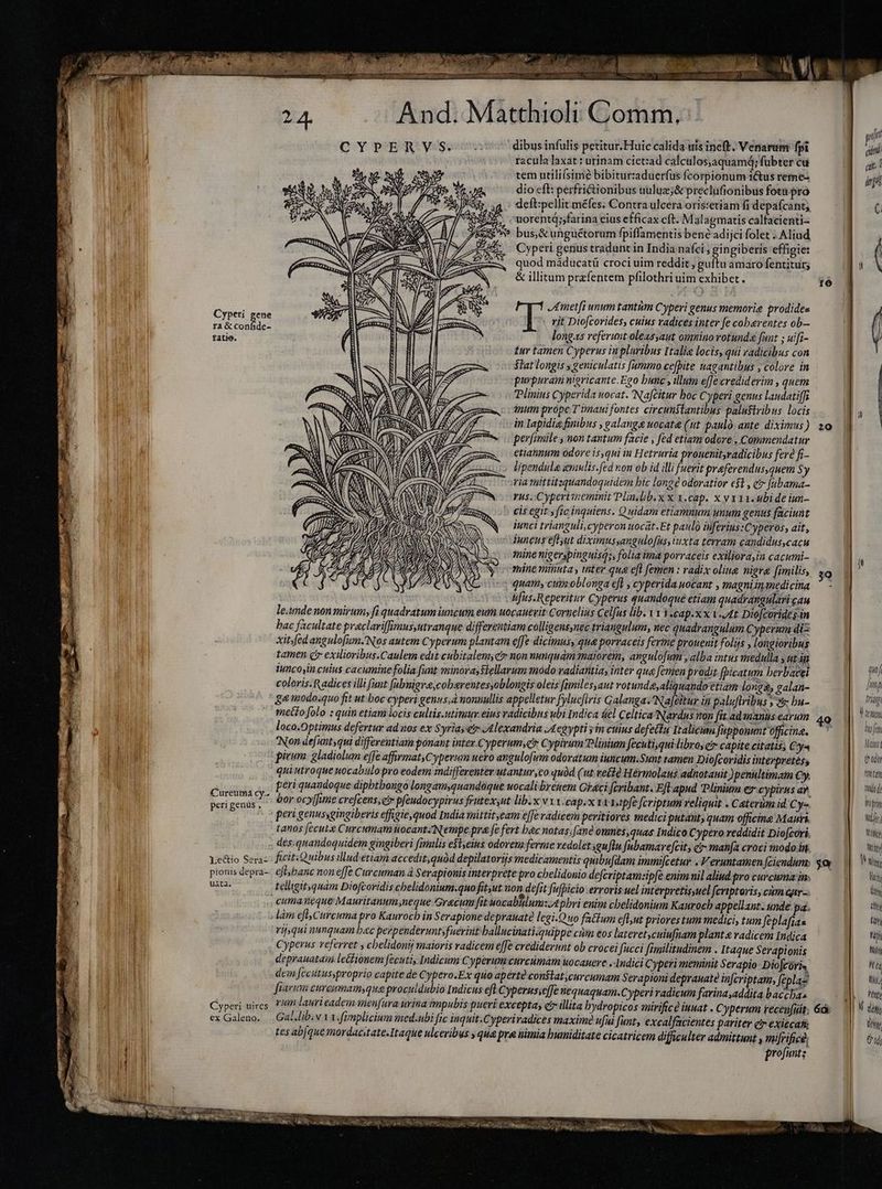 Cypeti gene ra & confide- fatio. Cureumá cy. peri genus , Lectio Sera- pionis depra- utá; Cyperi uires ex Galeno. eue; z DA T ET. 3 T d E je á e Dr y And. Matthioli Comm. CYPERVS. ^: dibusinfuli petitur, Huic calida uis ineft. Venarum fpi > racula laxat : urinam ciet:ad calculosjaquamá;fubter cu tem utilifsimè bibitur:aduerfus fcorpionum i&us reme dio cft: perfrictionibus nuluz;& preclufionibus fotu pro CART deft:;pellit méfes. Contra ulcera oris:etiam fi depaícant, TEN uorentq;;farina eius efficax cft. Malagmatis calfacienti- (2753 v bus.&unguétorum fpiffamentisbené adijci folet . Aliud Cyperi genus tradunt in India nafci Pe effigie: I s quod máducatü croci uim reddit guítu amaro fentiturg SA AQ — &illitumprzfentem pfilothri uim exhibet. H S Ametfi unum tantim Cyperi genus memorig prodide= HA N - rit Diofcorides, cuius radicesinter fe coherentes ob— longas referunt:oleas;ant omnino rotunde funt ; uifi- tur tamen Cyperus in pluribus Italie locis, qui radicibus con Stat longis » geniculatis fammo cefbite uagantibus , colore in purpuram nigricante.Ego hunc, illum effe crediderim , quem Plinius Cyperida uocat. Nafèitur boc Cyper genus laudatiffz inum prope T 'imaui fontes circunitantibus palustribus locis in Iapidia finibus , galanga uocat (ut paulo: ante diximus) perfimile ; non tantum facie , fed etiam odore, Commendatur etiannum odore is,qui in Hetruria prouenitsradicibus fere fi- lipendule emulis.fed non ob id illi fuerit praferendus,quem Sy ria tuittitsquandoquidem hic longe odoratior e$t , c [übama- rus. Cypertineminit Pln.lib.x x 1.cap. x vis. ubi de iun- » cis egit s fic inquiens. Quidam etiamnum unum genus faciunt iunci trianguli,cyperon uocat.Et paulo üferius:Cyperos, ait, juncus eflyut diximus;angulofus, iuxta terram candidus,cacu mine nigerspinguisq;, folia ima porraceis exiliora,in cacumi- mine minuta, inter que eft femen : radix oling nier [imilis, quam, ciiisoblonga efl , cyperida uocant , magniin medicina | ufus.Reperitur Cyperus quandoque etiam quadrangulari cau le.ymde non mirum, fi quadratum iuncum eum uocauerit Cornelius Celfus lib. 1 v 3ecap.x x V. At Dio[corides-in bac facultate praclariffirus,utranque differentiam colligensnec triangulum, nec quadrangulum Cyperum di xitfedangulofum/Nos autem Cyperum plantam effe dicimus, qua porraceis ferme prouenit folijs , longioribus tamen čr exilioribus.Caulem edit cubitalemycy non nunquam maiorem, angulofitm , alba intus medulla y ut dn iuncojin cuius cacumine folia funt minora, Siellarum modo vadiantia, inter qua femen prodit [bicatum herbacei coloris.Radices illi funt [ubnigra,coberentesyoblongis oleis fimiles,aut rotunda,aliquando étiam longa, galan- Ze modo.quo fit ut boc cyperi genus;à nonnullis appelletur fylucfiris Galanga. Nafeitur in paluftribus s &: hu- metio folo : quin etiam locis cultis.utimum eins radicibus ubi Indica tel Celtica Nardus won [it ad 1nanus earum loco.Optimus defertur ad nos ex Syriayet Alexandria JALegypti yin cuius defetfu Italicum füpponunt officina. Non defuntsqui differentiam ponant inter Cyperum,e* Cypirum Plinium fecuti,qui libros er capite citatis; Cya e EN S ^ SG iris MZ, $ NES redes qui utroque uocabulo pro eodem indifferenter utantur,eo quàd (ut vetlà Hérmolaus adnotanit )penultimain Cy. peri quaudoque dipbtbongo longamsquandàque uocali breuem Graci fcribant. Eftapnd Plinium e cypirus ar. bor ocy[fime crefcens, cr pfeudocypirus frutex,ut lib. x v x x.cap.x vx ipfe fcriptum reliquit . Caterüm id Cy- tanos fecuL.e Curcumam uocantzN(empe.pra fe fert bac notas. [ane omnes quas Indico Cypero reddidit Diofcori. des.quandoquidem gingiberi fimilis e$tyeius odovea ferme vedolet guflu fabamarefcit y gr manfa croci modo in. ficit.Quibus illadetiam accedit,quàd depilatorijs medicamentis quibufdam immifcetur. Veruntamen ciendum, eftsbanc non effe Curcuman à Serapionis interprete pro chelidonio defcriptamzipfe enim uil aliud pro curcuma im. teligit.quam Diofcoridis chelidonium.quofit,ut non defit fufpicio erroris uel interpretisuel fcriptoris, cám qur-. cuma neque Mauritanum,neque Gracum fit uocabitlum:;A pbri enim cbelidonium Kanrocb appellant. unde pa- rifyqui nunquam hec perpenderunt, fuerint ballucinati-quippe cùm eos lateret,cuiufnam plant & radicem Indica Cyperus referret , chelidonij maioris radicem effe crediderunt ob crocei fucci fimilitudinem . Itaque Serapionis deprauataim lectionem fecuti, Indicum Cyperum curcumam uocauere indiċi Cyperi meminit Serapio- Diofcóri« dem [eeitussproprio capite de Cypero.Ex quo apérté constat;curcumam Serapioni deprauate infcriptam, feplaz fiarum cureumam,quae proculdubio Indicus eft Cyperus;effe nequaquam.Cyperi radicum farina addita bacchas rum laurieadem menfura urina impubis pueri excepta, ci illita bydropicos mirifice iuuat . Cyperum receufüit: Gal.lib.v 1 x.fimplicium med.ubi fic inquit.Cyperivadices maxime ufui funt, excalfacientes pariter er exiccafi tes abfque mordacitate.Itaque ulceribus ; qua pre nimia humiditate cicatricem difficulter admittunt , mifrificé, profunt: 20 4o jo m J Jp trapi V temen hn Mansi (ador tntan niit de horn Wir. M Cité Wl Tali, hy ty (hy fn LU mi otd | Wu & rene Y diy tbi Cod