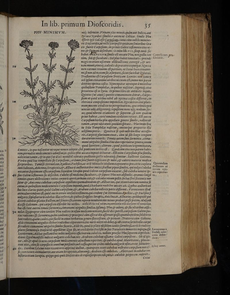F No S mem- 10 Vti T nhi mi- fofr- TU m in qu um ira had cunt Urt ipak cates pra vén- phl 7 jmi- 30 iti) On- T: T j Mi 10 50 6o In lib. primum Diofcoridis. 3y 1ad; infirmior. V rinam plus mou etiquam aut Indica, aut Syriaca Nardus : fimiliter autem ut. Celtica . Simile Phu afferit ipfe Gal.effe Carpefium, cuius cùm nullibi memine- rit Diojcorides,ut re&amp;?2 [ciripoffit quidnam [enioribus Gre cis fuerit Carpefium , in primis Galeni teflimonio eius ni- res c Pp defcribam : is enim lib. v v1. fimp .med. fic babet. ^g? Es 1vm fimile e$t uocato Phu, non gustu tan tim, fed e facultate . Sed plus babet tenuitatis : proinde magis eo etiam ui[cerum ob$tructiones extergit , ci úri- nam mouet,renesQ; calculis degrauatos expurgat/Non ta men eatenus tenutum ell partium; ut liceat loco cinnamo- mifi non ad manum fit,u[urpare; ficuti faciebat Quintus. Præftantius efl Carpefium Ponticum Laertio : not tamen uel ipfum cinnamomi uiribus uicinum e$t,immo non paruo deterius optima cafsia. Nuncupatur utrunque à montibus quibufdam Pampbilia , in quibus nafcitur . Ingensá; eius prouentus efl in Syria. Et primo libro de antidotis ingint. Quintus (ut aiunt) quoties cinnamomum deerat , Carpe- fium ut quod uiribus nibil ab optima capia differret „in tberiaca compofitione imponebat. Ego idcirco cius pluri- mum mecum attuli ex ea peregrinatione, qua orientis pro uincias adij, diligenter; vepofitum nunc u[3; multum fer- uo; quod odorem etiamnum etr faporem , [1 non qualem prius babeat , certe nondum exoletum retinet . E$1 autem Carpefium berba phu appellato genere: fimilis , ualentior tamen , atque odoratum quiddam [pirans . Plurimum boc in Sida Pampbilie nafcitur , emiturque propterea illic uiliffimo pretio. Quocirca fi quis neftr&amp;ámillue acceffe- rit , Carpestj plurimum emat, ciim. id fibilongo tempore duraturum nouerit. Tenuia autem funt farmenta , cima- momi uirgultis (imilia.Elus duo reperiuntur genera; unum uod laertium ; alterum ; quod pouticum cognominatur, à monte y in quo nafcuntur utraque nomen adepta s fed ponticum meliuseft. Q uod citm eius non parum babe- vemypermulris medicamentis admifcui,in quibus phu uocata imponi debuerat. . ESt enim Cavpefium phu fimiles ualentius tamen y čr in quo (ut dixi) nonnihil odorata qualitatis gustu odoratud; fentitur . batfenus Galenus. Veri quid bac tempestate fit Cavpe[ium , arduum fané fuerit explicare e mibi , cj cateris materia medice fériptoribus. Tametfi Hermolaus, Ruellius,Fucbfiusac etia Monachi Mefuem exponentes pro certo explora zum babeant, Auicenna, Serapionis Attuarij antboritatibus innixi fructus piperi fimiles, qui uulgo Cubebee uocantur legitimum efe carpefium.Siquidem Serapio quod Galeno carpefium uocatur , fub cubeba nomine ip- tenuior.quare obsirutiones totius corporis aperityurinam cietyez calculos venum pellit.In bac fere fententia uer fatur ci Auicenna cubebas carpefium appellaussquemadmodum e JA narius, qui Mauritanorum nomina fe cutus in quibufdam medicamentis Carpefium imponityquod à barbaris wsu&amp;éGas uocari ait. Quibus anċtoritati bus luce clarius patet,quód Galeni carpefiumset Arabum cubebanulla ex parte differunt . Veruntamen illud animaduertendum efl ,quàd eos in errore uer[ariexiftimem,qui credunt (ut Hermolaus, Ruellius » c Fucbfius ) uulgares feplafiariorii cubebas illas veferre,de quibus fcripfere Serapio, Auicenayet JA CPuarius. quadoquidé qui dixerit cubebas planta fru&amp;tum,uel femen effeseorum reperio neminem:snec minus probari pole putem, id ufqua dixiffe Galenum . qui cavpe[ium difcribit bis uerbis, | Ael dé ieu c ndippuysapaer uaa TOIS dup noci 78 XIV AGAR boc eft.Sunt autem tenuia [armenta,cinnamomi uirgultis fimilia. Ipfumd; Phu e odore, eb facultatibus adfi- milat.Quapropter cùm tantüm Phu radices in ufum medicum ueniant, facile dici potest, carpef;um Galeno po- tius radicum e [fe farmentayquàm caulium:ct pracipu e cùm afferat din a[Jeruari pojfesquandoquidem folidiores funt vadicesquám caules,qui facile in omui herbarum genere flacce[cunt, c pereunt .Praterea cum Galenus aliàs cinnamomi uirgulta ellebori radicibus càparauerit;hic mirt nideri nö debet; o» idé contra [armeto[as carpe fü radices cinnamomi uirgultis fimiles fecerit. Adde Et, quod in platis uo folüm caules Jarmetofjyuerü čt radices plures farmentofe Diofcoridi appellatur.Q uo fit; ut crediderim Fucbfin in fuis Paradoxis immerito impuguaffe Leonicenum.J4d bec guflantibus nobis uulgares officinarum cubebas, nullum prorfus Phu faporem depreben- dimus.Quod manifefle indicat uulgares cubebaa,nec Arabum cubebas effesnec Galeni carpefium .. Ob id igi- tur , ubi ex apud Grecos carpe[ium medicamentis admiftum reperitur, e cubeba apud Mauritanos , phu eo- rum uice , cùm fit carpefio in omnibus per[imile;uel ca[fWaypotius quam cubeba uulgaris ufusserint fabücien- da. Iacobus $yluius inter recentiores apprime dotfus , quanquam nont cubebas noflrates carpefium non ef- fé s non taimen animaduertit,nec etiam Serapionis,aliorumq; Arabum e[Je cubebas. A berrauit in cubebarsm hiftoria etiam Serapio. quippe quicquid Diofcorides de rufeo fcriptum reliquitis cubebis perperam reddidit . WUS Carpefij con jv fiderátio. Quorundam doctorum ui rorum opi- nio reproba- ta; Leonicenus à Fuchfij cali- mnia defen- ditur. Syluij error.
