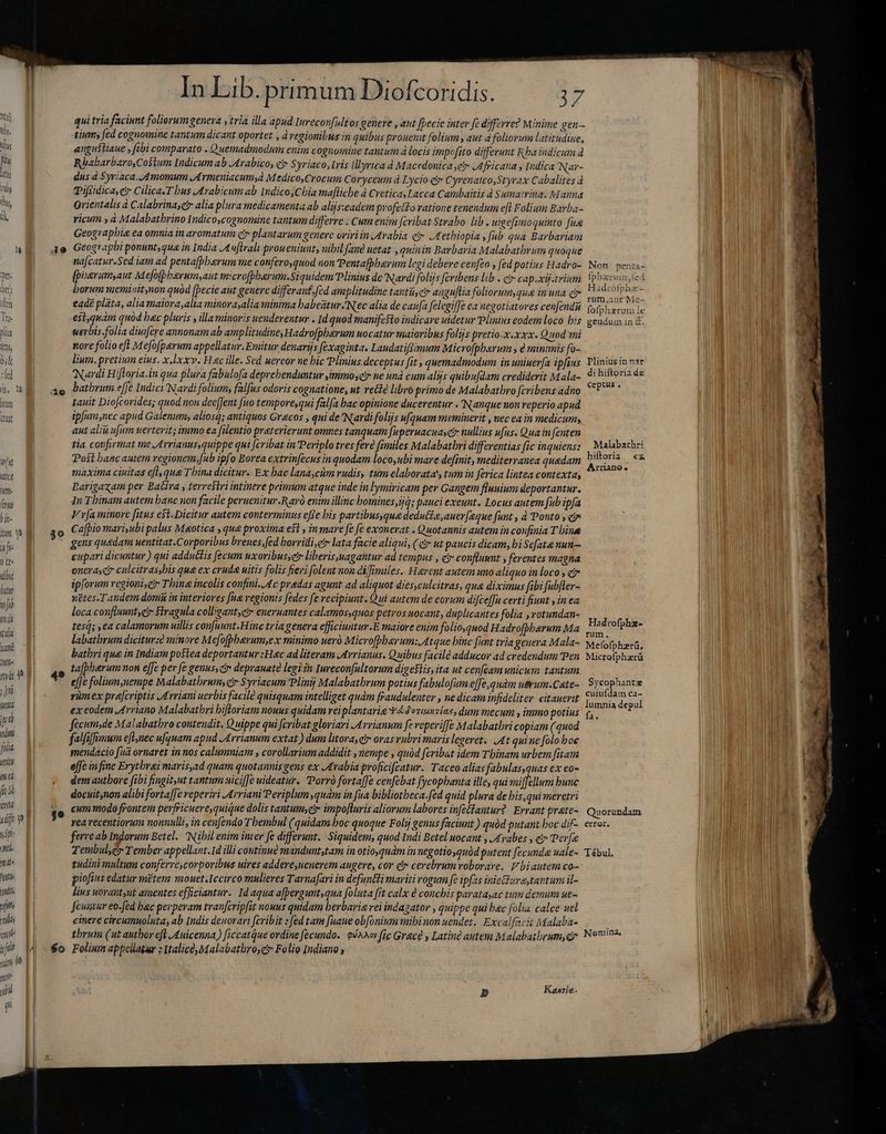 qui tria faciunt foliorum genera , tria illa apud Iureconfultos genere , aut fpecie inter fe differre? Minime gen— tinums fed cognomine tantum dicant oportet , à regionibus in quibus prouenit folium aut à foliorum latitudine, | angu$tiaue , fibi comparato . Quemadmodum enim cognomine tantum à locis impofito differunt Rba indicum 4 m Rbabarbaro,Costum Indicum ab Arabico, c S yriaco, Iris lllyrica d Macedonica ei» Africana, Indica Nar- ii dus à Syriaca. 4momum Armeniacumà MedicoyCrocum Coryceum à Lycio e Cyrenaico,Styrax Cabalites à robo Pifßidica,gr Cilica.T bus Arabicumab Indico,Chia mafliche à CreticayLacca Cambaitis à Sumatrina: Manna u, Orientalis à Calabrinaér alia plura medicamenta ab alijs:eadem profeto ratione tenendum efl Folium Barba- ik, ricum ,a Malabatbrino Indico,cognomine tantum differre : Cum enim [cvibat Strabo lib. uigefimoquinto fuse Geographie ea omnia in aromatum ct plantarum genere oviriin Arabia c A ethiopia , fub qua Barbariam le 4e Geograpbi ponumt,qua in India Auftralı proueniunt, nibil fau uetat ,quinin Barbaria Malabatbrum quoque | najcatur.Sed iam ad penta[pbarum me conferoquod non Pentafbbarum legi debere cenfeo , fed potius Hadro- Non penta- pe fpoarumyaut Mejofpbserum,aut microfpbarum.Siquidem Plinius de Nardi folijs feribens lib . ez cap.xij.trium. foberun, fed ber borum memiaitnon quód [pecie aut genere differant, fed amplitudine tantii,eir anguftia foliorum,qua in una e E ate bina ilr eadé plata, alia maiora,alia minora,alia minima babeatur.N'ec alia de caufa felegiffe ea negotiatores cenfendu. fo fph 6 ei om Trh- est,guàm quod bec pluris y illa minoris uenderentur . Id quod manifesto indicare uidetur Plinius eodem loco his gendum in £. plis uerbis folia diuifere annonam ab amplitudine, Hadrofpberum uocatur maioribus folijs pretio.x.xxx. Quod mi itt nore folio eft Mefofperum appellatur. Emitur denarijs fexaginta. Laudatiftimum M icrofpbarum , e minimis fo- ùk lium, pretium eius. x.lxxv. Hc ille. Sed uereor ne bic Plinius deceptus fit , quemadmodum in uniuería ipfius Vlinius in nar ‘fed Nardi Hifloria.in qua plura fabulofa deprehenduntur yimmose ne und cum alijs quibufdam crediderit Mala- di hiftoria de (s, 20 ae batbrum efje Indici Nardi folium, falfus odoris cognatione, ut recte libro primo de Malabatbro fcribens adno PX cow itum tauit Diofcorides; quod non deefjent fuo temporesqui falfa bac opinione ducerentur . Nanque non reperio apud ttu ipfum,nec apud Galenum, aliosá; antiquos Grecos , qui de Nardi folijs ufquam meminerit , nec ea in medicum, aut alit ufum uerterit; immo ea filentio preterierunt omnes tanquam [uperuacuasct nullius ufus. Qua in fenten tia confirmat me Arrianus,quippe qui [cribat in Periplo tres feré fimiles Malabatbri differentias fic inquiens: | Malabathrt min Post banc autem regionem, fub ipfo Borea extrinfecus in quodam loco,ubi mare definit, mediterranea quedam cde. nm ie maxima ciuitas efl qua Thina dicitur. Ex bae lanaycim rudis, tum elaborata tum in ferica lintea contexta, ; Wm. Earigaxam per Batira terrestri intinere primum atque inde in lymiricam per Gangem fluuium deportantur. In Tbinam autem banc non facile peruenitur.Raró enim illinc bomines,jq; pauci exeunt. Locus autem fub ipfa pi V v[a minore fitus e$t.Dicitur autem conterminus effe bis partibus,qua deduci, auer [eque funt , à Ponto , cr TES 30 Cafþio mari,ubi palus M«otica , qua proxima est » inmare fe fe exonerat . Quotannis autem in confinia T bine a E gens quadam uentitat.Corporibus breues, fed borridi,etr lata facie aliqui, (čr ut paucis dicam, bi Sefate nun cupari dicuntur) qui addutfis fecum uxoribus ér liberis,uagaitur ad tempus , c confluunt ; ferentes magna i entras c ulcitra shis que ex crude nitis folis fieri folent nou difmil es. Herent autem uno aliquo in loco » Te ipforum vegioni c Thina incolis confini Ac predas agunt ad aliquot dies,culcitras, qua diximus fibi fubfler- ufi xétes.Taudem domi in interiores fna vegionis fedes fe recipiunt. Qui autem de eorum difceffu certi fiunt , in ea zd loca confluuntyetr Siragula colligant, enernantes calamos,quos petros uocant, duplicantes folia ,rotundan- Hadcofoh jr tesq; ,ea calamorum uillis confuunt Hince tria genera efficiuntur.E maiore enim folio,quod Hadrofbbarum Ma... m s vt ida labatbrum dicitur:è minore Mefofpberum,ex minimo ueró Microfbbay um: Atque binc funt tria genera Mala- Mefofphzrá, i m bathri que in Indiam postea deportantur :Hac ad literam Arrianus. Quibus facilé adducor ad credendum Pen Microf, phará sheh” tafpberum non effe per fe genus, cir depranate legi in Iureconfultorum digestis, ita ut cenfeam unicum tantum 0 Gt ni P 49 efje folium, nempe Malabatbrum, cr Syriacum Plinij Malabatbrum potius fabulofum e[fe,quàm uerum.Cate- Sycophantæ ;)Jn rümex prajcriptis Arriani uerbis facile quisquam intelliget qudm fraudulenter , ne dicam infideliter citauerit Peas s deed 4i ex codem Arriano Malabatbri bifloriam nouus quidam reiplantaria v4doziewsíae, dum mecum , immo potins fa, P po fücum,de Malabathro contendit, Quippe qui fcribat gloriari Arrianum fe reperiffe Malabatbri copiam (quod oim falfifimum eftnec ufquam apud Arrianum extat ) dum litora, er orasrubrimaris legeret. At qui ne folo boe ni mendacio fuā ornaret in nos calumniam , corollarium addidit , nempe , quód fcribat idem Tbinam urbem fitam vis effe in fine Erytbrai marisyad quam quotannis gens ex Arabia proficifcatur. Taceo alias fabulas,quas ex eo- m dem autbore fibi fingit,ut tantum uicifJe uideatur. Porrà fortaffe cenfebat fycopbanta ille, qui mifellum bunc ii docuit,non alibi fortaffe reperiri Arriani Periplum quàm in fua bibliotheca. fed quid plura de bis,qui meretri tit ge mmodo frontem perfricuere, quique dolis tantum;ey impo[luris aliorum labores infeétantur? Errant prate~ Quorundam iiij 9 ; rea recentiorum nonnulli, in cenfendo Tbembul ( quidam.boc quoque Foly genus faciunt.) quód putant boc dif- error. Jh ferre ab Indorum Betel. Nibil enim inter fe differunt. Siquidem, quod Indi Betel uocant , Arabes , ei» Perfe mi Tembulyc Tember appellant. Id illi continuè mandunt,tam in otio, quàm innegotiosquòd putent fecunda uale- Tébul, Ld tudini multum conferre,corporibus uires addere,uenerem augere, cor c cerebrum roborare. V biautem co- erie piofius edatur mëtem mouet.Iccirco mulieres Tarnafari in defun&amp;ti mariti rogum fe ipfas inieture,tantum il- ndis lius uorant,ut amentes efficiantur. Id aqua afpþergunt,qua foluta fit calx è conchis paratasac tum demum ue- nfi feuatur eo.fed bac perperam tranfcripfit nouus quidam berbarie vei indagator , quippe qui bac folia calce uel ilis cinere circumuoluta, ab Indis deuovari fcribit : fed tam fuaue ob[onium mibi non uendet, Excalfacit Malaba- qut thrum (ut autbor efl J£uicenna) ficcatque ordine fecundo. evano fic Grece , Latine autem Malabatbrum,qy Nomina ki 14 -6o Folium appellatur : ItalicéMalabatbroye Folio indiano» yid o qu „hil | D Kaexía. ji