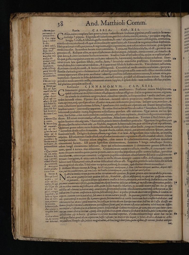 a Meum dpo- Kassig C. A. S-S ILA CAP, XII. Pici ed ; Afsiascuius complura funt genera iuxta- odoriferam Arabiam gigniturcrafsi cotticis farmen» b Cat. Gae dee to;folijs P piperis. Eligenda eft fuluefcens,pulchri coloris, corallij emula, € perquàm angufta, Tptcos. i. inftar longa; d craffa;&amp; fiftulofa;guftu mordens,&amp; cum € aliquanto feruore adítringens, aromatica; lrdi. ninofoodore:cuiuímodi eft,quæ ab incolisachy appellatur, ab Alexandriz negotiatoribus daphnitis. COMER ceo, Huicprafertur craffa;purpurea,&amp; nigricanszigir cognomine, quz rofam odore imitatur , przcipui in enl Men medicina ufus. Secundum locum tenet antedita. 'ertia;cui Mofylitico blafto, id eft , germini co» dOmniaexé. gnomen eft. Reliqua uiles, ut quz alyphemum dicitur,nigra ; iufuauis , cortice tenui , ac rimofo : &amp; mayñay Tois qua darca;&amp; citto uocitatur barbaro nomine. Similior huic eft pfeudocafsia; quàm ut explicari pof» FROTE fitequæ guftu coarguitur,cum nec acris,nec odorata fit, hzrentemq; medullz corticem habeat. Inue- te Gfni nitur etiam lata quzdam fiftula , mollis, leuis, f furculofa: antedicte praefertur... Damnatur candis lisplenam. — cansjfcabra;hircinum uirus redolens; &amp; $ qua tenui fiftula &amp; cabra cutefit. Vim obtinet calfacien- &amp;Me.&amp;Drag. di,urinam ciendi;ficcandi , &amp; leniter adftringendi. Conuenit ad medicamenta oculorum , quz pre- perd morais ftandæ claritatis gratia cócinnantur,&amp; ad malagmata:lentigines tollit cum melle illita: menfes trahit: 5 £0$.1 E  t . . I . C et eke fr- COntrauiperarum i&amp;us pota auxiliatur : aduerfus inteftina inflammationes omnes, renum uitia; po- uore. ta proficit : feminis in folio defidentibus , aut fuffimentis ; prodeft ad dilatationem uuluz. Et duplo f Meum £vép- pondere medicamentis mifta,cinnamomi nicem fuppler, fi ipfum defit: nam eofdem cffectus przbet. eie i.ramofa. Aq plurima perquàm utilis eft, i ^ LE Se Kmdpop C IN NAM OMVM. CAP. XIIL eard'e rim au Innamomi genera plura , patrium fibi. nomen uendicantia . Prafertur tamen Mofyliticum, pnyy&amp; ma-- quód cafsiz;cui mofyliti nomen eft;aliquam referat effigiem : fed in co genere recens, nigrum, xeiap Jupí- ex uinofo in cinereum uergens,lzue , tenuibus ramulis, ac frequentibus à nodis cinctum , per- RENY quàm iucundè olens. Optimi fere indicium „iucundi odoris proprietate conftat: inuenitur enim non habet f- cumoptimo;eoq; quod peculiare eft;odor rutz;aut cardamomo proximus. Infuper acremordens , &amp; füllam craf- cum calfa&amp;tione quadantenus falfum, b quod non citó confticant afperum; aut frianti lanuginofum, fam; fed fc^ |zuibus tamen € internodijsappareat. Sicertior fieri uoles.uellito ab radice d furculum. facilis eft hu EXON. iufcemodi probatio : nanq; fragmenta mifcellanea quedam | effe uidentur. Qua autem melius fpi- E rant, fuo halitu, cùm nares primüm con fuluntur , olfactum explentia , deterioris dignotionemimpe- a Meum2/u, diunt. Eftetiam montanum;craffum, pumilum , fuluefcens admodum. Tertium à Mofylitico , per- i. ramis. uim fuauiter olet,nigrum, € fruticofum,paucis intercedentibus geniculis. Quartum fungofum;can b Meumeyre dicans,afpectu tuberofum uile , ac friabile, magnam habens radicem;quz cafsiam plané repræfentat: f d» Hege Quintum genus odore nares feriens, fubrufum;&amp; cortice fuluz cafsix fimile „tangenti firmum,minus xus Jacwd £ neruofum denfa radice firmatum.. Tjs,que thuris; cafsiz , myrti, autamomt odorem fpirant , minus aevo xai £v faauitatisineft. Deligito fcabrum;album,rugofum: 8 atlzue , &amp; lignofum circa radicem, ut inutile; 76 Opave- reijcito. Eftetiamnum fimile aliud,cui pfeudocinnamomò cognomen eft,uile,inualidi odoris, foluta prn p rumqueuirium. Vocatur etiam zíngiber, cüm tamen fit xylocinnamomum ; praebens quandam tofriatur,Rt cinnamomi faciem. Eft autem lignofum cinnamomum, farmenta h longa robuftaque ferens, puluerulétum odore longé cinnamomo inferiore. Sunt qui xylocinnamomum à cinnamomo genere differre di- is Sm cant; quod à natura eius abhorreat. . Cinnamomum omne excalfacit, emollit, &amp; concoquit: uri- ii me.exép, NIM Clet;utam menfes,quàm partus potum, aut ex myrrha impofitum pellit : contra beftias, quz uirus d Meum Jóa eiaculantar, uenenaque conuenit : caliginem pupillis oculorum obuerfantem difcutit: crafsitiem ex- Awy. i germé. tenuat: lentigines, &amp; uitia cutis in facie ex melleillitum detergit : contra tuffes , defluxiones ; aquam e Méü dievo- (ubtercuté fufam,renü uitia, &amp; urina difficultaté efficax eft. Vnguétis pretiofis inferi folet.Etin fum E Rd as ma,magni ad oia ufus. Tritü uino excipituryumbraq; ficcatum , quò diutius eduret reconditur . codexoiiod« P Addunt Meum exemp.&amp; Drag. ici dE neyóuevoy niyvdpopoy 50 rios A dod'ouvvpsouoy nerio , épris aqé Luinofüm. ^ dpe,xgi vx vpa id o repo y xgà TOAU MÉy TOI £a] o deu peo poy y ATÈ OTUD gd HATÉ yÓ aut $ g Meum &amp; Atura omnia rerum parens inboc terrarum orbe quadam flirpium genera adeo inexorabilia procrta- xum i fem N uit , ut ne quamplurimis quidem deliciis , blanditiis , officiisobfequiisq; ea apud nos quifbiam retine- Tr PR re potuerit . Siquidem flirpes ipfa uiuere coatía in bortissuiridartjsymitioribusa; Italie locis,ceu Tem sades Jai peommi amanitate refertis,quemadmodum alpini bomines delicias urbium,gr maieflatem a(bernantes,politi—- type n ur velita cali clementiaybortorumq ; amoenitate, [preto tem fontium oblecfamento,omniumq; urbanarum ac fa- peo. 1 rugofum at j d , í læue et ligno cepere. tantum patrie natalis; foli amor in rerumnatura poteft. In quarum genere Caffia connumeranda ue fum ad radi- git; quse tametfi in maiore illa Romane gentis fortuna multis ac variis hortorum locis confita babebatur : nul p SUR libi tamen bac etate( quod nouerim )in Italiane in tota dicam Europa inuenitur Sed bac de Caffia. dixiffe uo- e rel1Ccito. . ` Y . . ` B ; d 7 1 h Meum ife lumus Jamplicium med icamentorum peritifimos fecutisqui( ut eorum teflantur notumina nibil inuicem difer- Sus pínpse.1, Ye cenJent s Caffiam qua in arborum genere Diofceridi cr Galeno recen[etur, etr eamque antiquis inter coro- ` . ] f. * . i . z * uirgulta bre- gavias nmmerabatur berbas » queq; olim paffim circa aput aluearia ferebatur in Italiayquód ea maxime apes Ca fsiæ odora deleftentur er inbortis. gr uividariis coronis maxime expetita .: V erm enimuero longé aliter bac res in- E 12 € le f 2 Na . B ^ .  DB * * LI . * 5 * f NAP telligi postulatyquod aliam repererim fuiffe Caftiam (ut Diofcorides inquit )e felici Arabia allatam ex arbo- riz difcrime. re(audore Tbeopbvaflo )uiticis magnitudine, ab bac longe diuer [am,quam apibus,er coronis ferebat antiqui- tas; pangudi furii yii m n ji JE imp ja int! | | í l ya Mar mfi lif i jap qma 29 s tibus nti pot qun e bn pam * dijo sois qui manh np 39 yd «t TA 49 LESAV 12 a 59 ne « x
