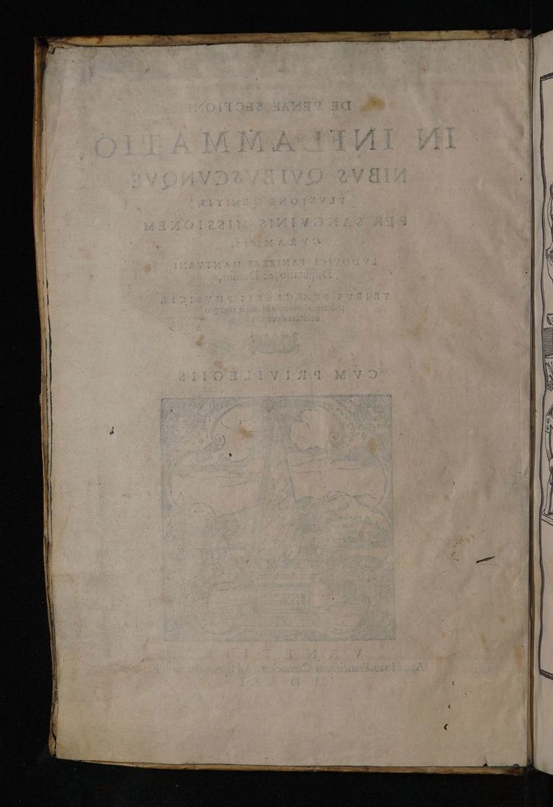 ume Lacs ecu amp! £g MCN